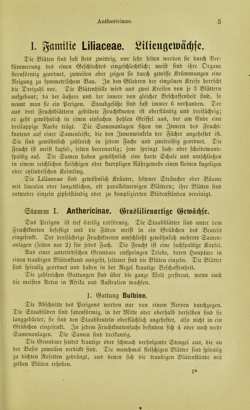 I. gamilie Liliaceae. Siliengetottdjfe. Oie glitten finb faft ftctä jtoittrig, nur fehr [eiten Werben fie burd) 33er; fiimmerung be$ einen ©efd)led)teö ciitgefd)led)tlid); meift finb ihre Organe fternförmig georbnet, zuweilen aber feigen fie burd) geWiffe Krümmungen eine Neigung ju fpmmetrifdjem Sau. 3>n ben ©liebem ber einzelnen Kreife herrfdjt bie ©reijafyl oor. Oie Slütenhütte Wirb auä jinei Kreifen oon je 3 Slättern aufgebaut; ba ber äußere unb ber innere Don gleid)er Sefdjaffenheit finb, fo nennt man fie ein gerigolt. Staubgefäße finb faft immer 6 oorf)anben. Oer au$ brei Fruchtblättern gebilbete Frud)tfnoten ift oberftänbig unb breifädjrig; er geht gewölmlid) in einen einfachen h°^en ©riffel au$, ber am ©nbe eine breilappige Sarbe trägt. Oie Samenanlagen fitzen im Innern be3 Frud)t; fnotenö auf einer Samenleifte, bie ben ^nnenwinfelit ber Füdjer angeheftet ift. Sie finb gewöhnlich jahlreid) in jebent Fac^e nnb zweireihig georbnet. Oie Frucht ift meift fapfefc, feiten beerenartig; jene fpringt fad)= ober fd)eibeWaitb; fpaltig auf. Oie Samen hüben geWöhnlid) eine hurte Sd)ale unb umfließen in einem reichlichen fleifdjigen ober fnorpligen SäfjrgeWebe einen f leinen fugeligen ober cplinbrifd)en Keimling. Oie Liliaceae finb geWöhnlid) Kräuter, feltener Sträucher ober Säume mit linealen ober lan^ettlic^en, oft paraßelneroigen Slättern; ihre Sliiten finb entWeber einzeln gipfelftänbig ober zu tomplizierten Sliitenftänben oereinigt. ©tamm I. Anthericinae. ©raätilicnartige ©etoädjfe* Oaö ^erigon ift tief 6teilig rabförmig. Oie Staubblätter finb unter bem Frudjtfnoten befeftigt unb bie Füben meift in ein ©rübdjen beö Seutetö eingefenft. Oer breifädjrige Frucbtfnoteu umfdjließt geWöhnlid) mehrere Samen; anlagen (feiten nur 2) für jebeö Fach- Oie Frud)t ift eine fadjfpaltige Kapfel. 2lub einer unterirbifchen ©runbare cutfpringen Oriebe, bereu §auptare in einen traubigen Sliitenftanb auögeht, feltener finb bie Sliiten einzeln. Oie Slätter finb fpiralig georbnet unb haben in ber Segel frautige Sefd)affenl)eit. Oie zahlreichen ©attungen finb über bie ganze 2Belt zrrftreut, Wenn auch bie meiften Wirten in Slfrifa unb Suftralien Waffen. 1. ©attung Bulbine. Oie 2lbfd)nitte beö ^3erigon3 Werben nur ooit einem Serben burd)zogeu. Oie Staubfäben finb fabenförmig, in beredte ober oberhalb berfelben finb fie langgebärtet; fie finb ben Staubbeuteln oberfläd)lid) angeheftet, alfo nicht in ein ©rübd)en eingefenft. 3>n jebent Frud)tfnotenfad)e befinben fich 4 ober nod) mehr Samenanlagen. Oie Samen finb breifantig. Oie ©runbare fenbet frautige ober fd)Wad) berholzenbe Stengel auö, bie an ber Säße zuweilen oerbidt finb. Oie manchmal fleifchigen Slätter finb fpiralig Zu bid)ten Sofetten gebrängt, aus benen fid) bie traubigen Sliitenftänbe mit gelben Slüten erheben. « 1*