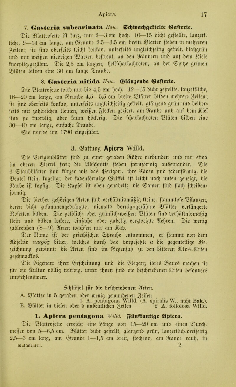7. Gasteria snbcarinata Haw. 3d)lunrii^cfic11c ©aftcric. Die SBlattvofcttc ift furg, nur 2—3 cm Ijodjj. 10—15 bid)t geftedte, langetts lidje, 9—14 cm lange, am ©runbe 2,5—3,5 cm breite üBlätier fielen tu mehreren geilen; fic finb oberfeitS leicht foitfab, unterfeitö ungleichseitig gefielt, blajjgrüit unb mit meißelt niebrigen ^Bargen beftreut, an ben fftänbern unb auf beut $iele fncrplig^gegäfmt. 'Die 2,5 cm langen, f)edfdjarladjn>ten, an ber ©pi^e grünen ^Blüten hüben eine 30 cm lange Draube. 8. Gasteria nitida Haw. ©lättgcttbe ©ttftccic* Die SBlattrofette toirb nur bi^ 4,5 cm f)od). 12—15 bid)t geftedte, langettlidje, 18—20 cm lange, am ©runbe 4,5—5,5 cm breite ^Blätter bilben mehrere geilen; fie finb oberfeitS fottfao, unterfeitä itngleid)feitig gefielt, glängenb grün unb beiber; feitö mit jaf)lrei(f)en fleiucn, meinen gledfen gegiert, am fftanbe unb auf beut £iel finb fie f'ncrplig, aber f'auttt Iföd'erig. Die fdjarladfrotett iBlüten bilben eine 30—40 cm lange, cinfadfe Draube. ©ie mürbe um 1790 eingefüljrt. 3. ©attung Apicra Willd. Die ^erigonblätter finb gu einer geraben 9töl)re nerbunben unb nur etma im oberen Viertel frei; bie Slbfdptitte fielen fternförmig au^einanber. Die 6 ©taubblätter finb fürder mie baö ^erigott, ifyrc gäben finb fabenförmig, bie ^Beutel flein, fugelig; ber fabenförmige ©riffei ift leidet nad) unten geneigt, bie Üftarbe ift fopfig. Die Zapfet ift oben genabelt; bie ©amen finb flad) fd)eiben= förmig. Die f)ierf)er gehörigen Wirten finb 0erl)ättni3mäßig Heine, ftammlofe ^flangen, bereit bid)t gufammengebrängte, niemals bornig = gegähnte ^Blätter Oerlängerte fftofetten bilben. Die gelblich ober grünlid^meißen ^Blüten finb oerfyältniömäßig flein unb bilben lodere, einfache ober gabelig oergmeigte Sle^ren. Die menig ga^lreidjen (8—9) Wirten madffen nur am ^ap. Der -Warne ift ber gricd)ifd)en ©brache entnommen, er flammt oon bem 3lbjeftio tiiy.qÖc bitter, melcfyeö burd) ba$ oorgefepte « bie gegenteilige S3e= geidptitng getoinnt: bie 3lrten finb im ©egenfa^ gu ben bitteren 5lloe = 5lrten gefdjmadloö. Die ©igenart ifmer ©rfdjeimtng unb bie ©legang if)reö SBaueö machen fie für bie Kultur oöttig mitrbig, unter il)nen finb bie befd)riebenen 2lrtett befonberö entpfef)lenemert. Scfylüffel für bie befdjrtebenen Wirten. A. Sölätter in 5 gerabett ober menig gemurtbenen geilen 1. A. pentagona Willd. (A. spiralis W., nid)t Bak.). B. S3lätter in bielen ober 5 unbeutlicfien geilen 2. A. foliolosa Willd. 1. Apicra pentagona Willd. günffantige Slpicvn. Die SBlrtttrofette erreidjt eine Sänge oott 15—20 cm unb einen Durd;- meffer oon 5—P>,5 cm. ^Blätter bid)t geftedt, glängenb grün, langettlidjpbrcifeitig 2,5—3 cm lang, am ©runbe 1—1,5 cm breit, ftecf)enb, am fRanbe raub, in ©utfulenten. 2