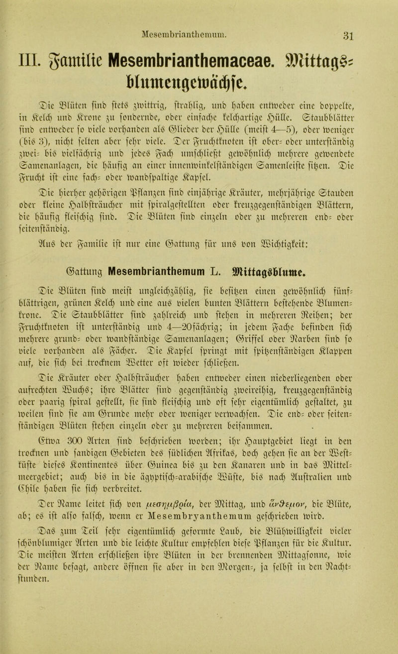 III. Familie Mesembrianthemaceae. dRittagS; Munteugctoadjfc. Sie (Blüten finb ftetb knittrig, [tranig, itnb Traben enttoeber eine hoppelte, iit föetch unb $rone 31t fonbernbe, ober einfache felcpartige §üUe. Staubblätter finb enttoeber fo toictc vorpanben alb ©lieber ber §ülfe (meift 4—-5), ober Weniger (bib 3), nicht feiten aber fepr riete. (Ser $rud)ttnoten ift ober; ober unterftänbig jh>eis bis oiclfäcf)rig unb jebeb ?yad) umfebfiefft getoöpnlid) mehrere getoenbctc (Samenanlagen, bie häufig an einer innenftnnfelftänbigen Samcnleifte fifjen. Sic ^ruept ift eine fad); ober toanbfpaltige Zapfet. (Sie hierher gehörigen (ßflan^en finb einjährige Kräuter, mehrjährige Stauben ober Heine fbalbfträucper mit fpiralgeftellten ober freujgegenftäubigen (Blättern, bie häufig fleifchig finb. Sie (Blüten finb einzeln ober gu mehreren enb; ober feitenftänbig. (Rub ber fyamilic ift nur eine ©attung für unb Von döieptigfeit; ©attung Mesembrianthemum L. SJiittagSMume* Sie (Blüten finb meift ungleid^äplig, fie hefigen einen getoöfjnlich fünf; blättrigen, grünen Md) unb eine aub oielen bunten (Blättern beftehenbe (Blumen; frone. Sie Staubblätter finb zahlreich unb ftehen in mehreren (Reihen; ber ^ntd)ffnoten ift unterftänbig unb 4—20fäcprig; in jebent $ad)e befinben fiep mehrere grunb; ober toanbftänbige Samenanlagen; ©riffel ober Farben finb fo viele oorhanben alb $äcper. Sie Zapfet fpringt mit fpipenftänbigen klappen auf, bie fich bei trodnem 3®etter oft toieber fdjliefjen. Sie Kräuter ober §albfträucper paben enttveber einen nieberliegenben ober aufrechten döudjb; ihre (Blätter finb gegenftänbig gtveireipig, freu^gegenftänbig ober paarig fpiral geftelft, fie finb fleifchig unb oft fepr eigentümlich geftaltet, $u weilen finb fie am ©runbe mehr ober Ineniger verWacpfen. Sie enb; ober feiten; ftänbigen (Blüten ftehen einzeln ober ju mehreren beifammen. ©tWa 300 Wirten finb befc£>rieben Worben; ihr §auptgebiet liegt in ben trodnen unb fanbigen ©ebieten beb fitblidjen dlfrif ab, boep gepeit fie an ber dßeft; füfte biefeb föontinenteb über ©uinea bib 31t ben Kanaren unb in bab drittel; meergebiet; and) bib in bie ägpptifdyarabifdje döüfte, bib nach (Ruftr allen unb ©pile paben verbreitet. Ser (Rame leitet fiep oon f.ieorjf.ißgia, ber dRittag, unb urfte/nov, bie (Blüte, ab; eb ift alf0 falfcp, Wenn er Mesembryanthemum gefeprieben Wirb. Sab 3um (teil fepr eigentümlich geformte Saub, bie (Blüpioifligfeit vieler fcpönblumiger 2lrten unb bie leiepte Kultur empfeplen biefe (ßflan^en für bie Kultur. Sie meiften Wirten erfdpliefjen ipre (Blüten in ber brennenben dRittagfonne, Wie ber (Raine befagt, anbere öffnen fie aber in ben dRorgen;, ja felbft in beit (Rad)t; ftunben.