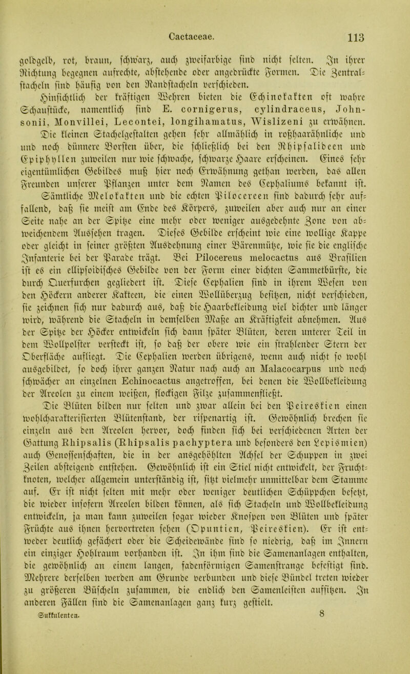 gclbgelb, rot, braun, fdftöara, and) jtoeifar&ige finb nid)t fetten. $n t^rer ütidjtung begegnen aufrechte, abftcl)cnbc ober angcbrüdte formen. Oie 3entral= ftadjeln finb häufig oon beit Sanbftadfcln oerfdjieben. §infidjtlid) ber träftigen 2Öel)rcn bieten bic ©cf)inolalten oft toaljre ©djauftiide, namentlich finb E. cornigerus, cylindraceus, John- sonii. Monvillei, Lecontei, longihamatus, Wislizeni 31t crtoäljncn. Oie deinen ©tadjelgeftalten geljen fel;r attmäl)tid) in rojfI)aaräljnli(f)e unb uttb nod) bünnere Sorften über, bic fdfliejjlid) bei beit fftfyipfalibeen unb (5*p ihf) h 11 eit julocilcn nur ioie fdjtoadje, fdpoarje §aare crfd)einen. ©ine$ fef)r eigentümlichen ©ebitbcö muff hier nod) ©rtoäfjnung gett)an toerbett, bao allen ^reunben uttfcrcr $flan$en unter beut Santen beö ©epljalittmö befamtt ift. ©ämtlidje Slelolalten unb bie cd)teit ^ilocereen finb baburd) fef)r attf= faltenb, baff fie meift aut ©nbe bc3 Körpers, ^utoeilen aber aucE) nur an einer ©eite itahe an ber ©pipe eine meljr ober toeuiger auögebelpitc oon ab= loeidjenbent 9liiöfel)ctt tragen, Oiefeö ©ebilbc erfd)eint Voie eine Ooollige Jl'appe ober gteid)t iit feiner größten 9fu3beljnung einer Särenmübe, ioie fie bie englifdte Infanterie bei ber Sßarabe trägt. Sei Pilocereus melocactus au3 Sraftlien ift e3 ein ettipfoibifdjeS ©ebilbe oon ber fyornt einer bid)tett ©ammetbi'trfte, bie btirch Ouerfurcben geglicbert ift. Oiefe ©epl)alien finb in iljrem Sßefen 0011 bcn §ödent attberer Ä'aftecit, bie einen ^Bettüberzug beftlyen, nicht Oerfd)ieben, fie jeidjncn fich nur babttrd) au3, baff bic ^aarbclteibung oiel bid)ter unb länger hürb, toä^renb bie ©tadeln in bemfelbeit Stafje an ^räftigleit abttel)men. 2luo ber ©pipc ber §öder entftudeln fid) bann fpätcr Slitten, bereit unterer Seil in betn SBottpolfter oerftedt ift, fo baff ber obere ioie ein ftrat)lenber ©tern ber Cberfläd)e aufliegt. Oie ©eplfalien beerben übrigen^, toenn and) nicht fo foold auogebilbet, fo bod) it)rer ganzen Satur itad) audj an Malacocarpus unb nod) fd)toäd)er ait eittgeliteit Ecliinocactus angetroffen, bei bcnen bie SBollbelleibuttg ber Slreolett ju einem ioeijfen, flodigen 3*tlje jufammenflie§t. Oie Slüten bilben nur feiten unb jmar allein bei beit ^3eire6fien einen tooljtdfaratterifierten Slütenftanb, ber rifpenartig ift. ©etoölmlid) brechen fie einzeln aus ben Slreoten t)eroor, bod) finben fid) bei Oerfd)iebcneit Srten ber ©attung Rhipsalis (Rhipsalis pacliyptera unb befonberö ben Sepientien) aud) ©enoffenfdjaften, bie in ber anöge^ö^lten 2ld)fel ber ©djuppen iit jtoei feilen abfteigenb entfielen. ©eloölptlid) ift ein ©tiel nicht enttoidelt, ber grudjtt fnoten, boeldfer allgemein unterftänbig ift, fipt oietme^r unmittelbar bent ©tamme auf. ©r ift nicht feiten mit met)r ober Zeitiger beutlicbeit ©d)itppd)en befept, bie roieber infofern Sreolen bilbeit fönncit, al3 fid) ©tadjeln unb SBollbelleibuttg enttoideln, ja man fann zutoeilen fogar Uueber Ättofpen oon Sliiteit unb fpäter ^ritdjte auö ihnen f)erOortreten fet)en (Opuntien, ^3eir*eölien). ©r ift entt toeber beutlid) gefäd)ert ober bie ©djeibetoänbe finb fo niebrig, baff im Ämtern ein einziger §ol)lraum oorl)anben ift. 5n il)m finb bie ©amenanlagen enthalten, bie getüöl)nlid) att einem langen, fabcnformigen ©amenftrange befeftigt finb. Sichrere betreiben inerben am ©runbe oerbunbett uttb bicfe Sünbel treten mieber 511 größeren Süffeln zufammett, bie enblid) ben ©amenleiften auffipett. $11 anberen fällen finb bie ©atnenattlagen ganz furz geftielt. ©uffutenten. 8