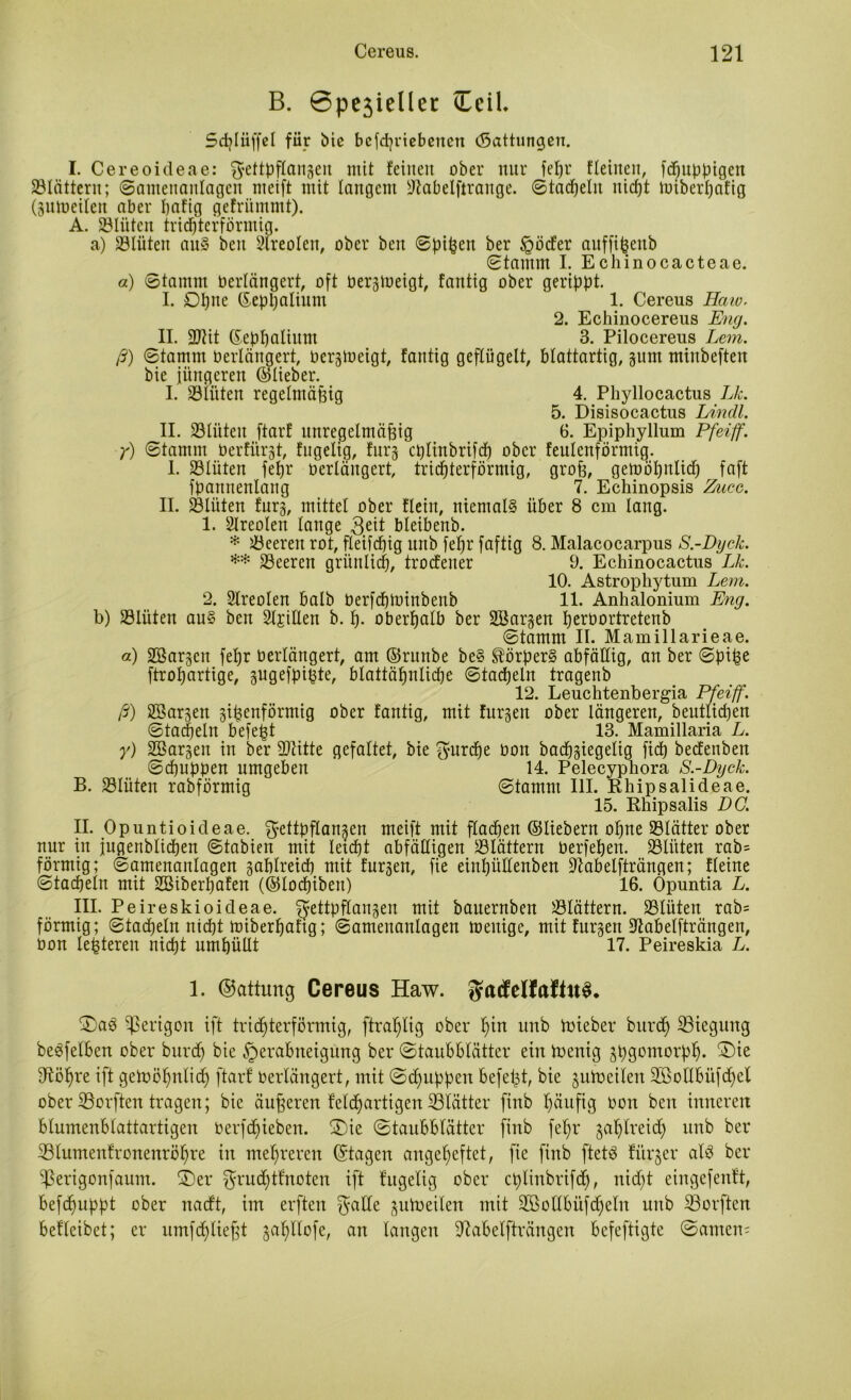 B. 6pe3ieUec CciL Sdjliiffel für £>te befcpriebencn (Sattungen. I. Cereoideae: ^ettpflangeu mit feilten ober nur fepr flehten, fdjuppigen SÖIättern; ©amenanlagen nteift mit langem Stabelftrange. ©tackeln nicpt toiberpafig (gutoeilen aber pafig gefrümmt). A. SÖIittcn trichterförmig. a) Blüten au§ beit Areolen, ober beit ©pißen ber ö cf er auffißenb ©tamm I. Echinocacteae. a) ©tamm berlängert, oft bergtoeigt, fantig ober gerippt. I. Dpne ©eppalium 1. Cereus Haio. 2. Echinocereus Eng. II. 9Jht ©ephalium 3. Pilocereus Lern, ß) ©tamm berlängert, bergtoeigt, fantig geflügelt, blattartig, gum miitbeften bie jüngeren ©lieber. I. 23iüten regelmäßig 4. Phyllocactus Lk. 5. Disisocactus Lindl. II. 33 litten ftarf unregelmäßig 6. Epiphyllum Pfeift, y) ©tamm berfürgt, fugeltg, fnrg cplinbrifd) ober feulenförmig. I. Sölüten febr berlängert, trichterförmig, groß, getoöhnlich faft fpannenlang 7. Echinopsis Zucc. II. Glitten furg, mittel ober fleht, niemals über 8 cm lang. 1. Areolen lange 3ett bleibenb. * Leeren rot, fleifdhig nnb feßr faftig 8. Malacocarpus S.-Dych. ** 23eercn grünlich, trocfener 9. Echinocactus Lk. 10. Astrophytum Lern. 2. Sire ölen halb berfdjtoinbenb 11. Anhalonium Eng. b) 23lüten au§ ben Sli'iEen b. p. oberhalb ber SBargen h^bortretenb ©tamm II. Mamillarieae. ä) SSargcn fepr berlängert, am ©ntttbe be§ Körpers abfällig, an ber ©piße ftropartige, gugefpißte, blattähnliche ©tacheln tragenb 12. Leuchtenbergia Pfeift- ß) Söargen gißenförmig ober fantig, mit furgett ober längeren, beutlicpen ©tacßeln befeßt 13. Mamillaria L. y) Sßargeit in ber SJtitte gefaltet, bie furche bon bachgiegelig fiep becfenben ©cpuppen umgeben 14. Pelecyphora S.-Dyck. B. Jölüten rabförmig ©tamm III. Rhipsalideae. 15. Rhipsalis DC. II. Opuntioideae. $ettpflangen meift mit flachen ©liebem ohne SSIätter ober nur itt jugenblichen ©tabien mit letcht abfäEigen S3Iättern berfehen. Glitten rab= förmig; ©amenanlagen gabireich mit furgen, fie einhütlenben ÜEabelfträngen; fleine ©tacheln mit 2öiberpafen (©locpibeit) 16. Opuntia L. III. Peireskioideae. ^ettpflangen mit bauernben blättern. S3lüten rab= förmig; ©tacheln nicht toiberpaftg; ©amenanlagen mettige, mit furgen Siabelfträngen, bon leßteren nicht umhüllt 17. Peireskia L. 1. ©attung Cereus Haw. $atfelfa!iuS. 3)aö ^erigon ift trichterförmig, ftraplig ober pin unb toieber burcp ^Biegung beleihen ober burcp bie §erabneigung ber ©taubblätter ein toentg gßgomorpp. ®te Sftöpre ift getoöpnlicp ftarf berlängert, mit ©chuppen befeßt, bie gutoeilen SBoEbüfdpel ober SSorften tragen; bie äußeren feldpartigen SÖIätter finb häufig bon ben inneren blumenblattartigen berfcpieben. ®ie ©taubblätter finb fepr gaplreicp unb ber SSlumenfronenröpre in mehreren ©tagen angepeftet, fie finb ftetö fitrger als ber ^erigonfaum. £)er $rucptfnoten ift fitgelig ober cplinbrifd), nicpt eiitgefenft, befcpuppt ober nacft, im erfteit $aEe gutoeilen mit SEßollbüfcpeln unb iBorften befleibet; er umfcpließt gapllofe, an langen 97abelfträngen befeftigte ©amen=