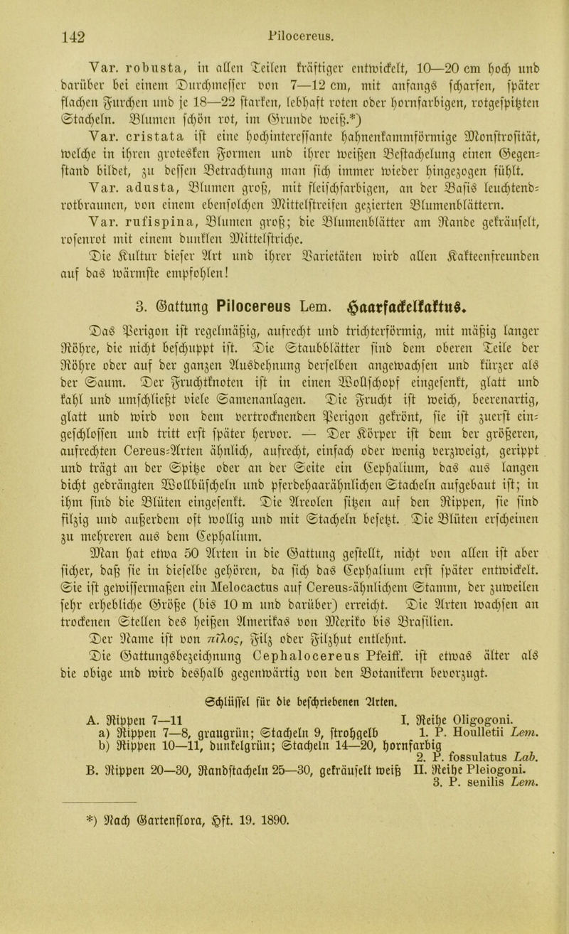 Var. robusta, in allen teilen kräftiger cuttoidfelt, 10—20 cm hoch unb barüber Bei einem ©urdjmeffer oon 7—12 cm, mit anfaitgb fdjarfen, fpäter flauen gurren uttb je 18—22 ftarfen, lebhaft roten ober bornfarbigen, rotgef^i^ten ©tadjelrt. Vlumen fdjön rot, im ©runbe toeiß.*) Var. er ist ata ift eine bodjintcreffante babnenfammförmige Sftonftrofität, toeldje in ifjren groteSfen formen unb ihrer toeißen Veftadjelnng einen ©egen; ftanb Bitbet, 31t beffeit Vetraddung man fid) immer toieber ^ingejogen fühlt. Var. adusta, Vlumen groß, mit fleifd) farbigen, an ber iBafiö leudjtenb; rotbraunen, oon einem ebenfold;en dftittelftreifen gegierten Blumenblättern. Var. rufispina, Blumen groß; bie Blumenblätter am Otanbe geträufelt, rofenrot mit einem buittlen Biittelftridje. ©ie Kultur biefer 2lrt unb ihrer Varietäten toirb allen ^af'teenfreunben auf baö toärmfte empfohlen! 3. ©attung Pilocereus Lern. ©aö gerigolt ift regelmäßig, aufrecht unb trichterförmig, mit mäßig langer 9töbre, bie nicht befdptppt ift. ©ie ©taubblätter finb bem oberen Beile ber Völ)re ober auf ber ganzen SluSbebnung berfelben angetoadjfen unb Bürger als ber ©aum. ©er $rud)t'fnoteu ift in einen Sföollfcbopf eingefentt, glatt unb fabl unb umfcb'ließt oiele ©amenanlagen. ©ie $rud)t ift toeid), Beerenartig, glatt unb toirb oon bem oertrodnenben ^perigon gefrönt, fie ift juerft ein; gefdjloffen unb tritt erft fpäter beroor. — ©er Körper ift bem ber größeren, anfred)ten Cereus;5lrteit äl)nlid), aufrecht, einfach ober toenig oerjtoeigt, gerippt unb trägt an ber ©piße ober an ber ©eite ein ©epbatinm, ba3 aito langen hießt gebrängten 2Bollbüfd)eln unb pferbebaaräbnlitpen ©tacbeln aufgebaut ift; in ißm finb bie Blüten eingefentt. ©ie 5lreolen fißen auf ben Rippen, fie finb filzig unb aitßerbem oft toollig unb mit ©tadjetn befeßt. ©ie Blüten erfeßeinen §u meßreren aub bem ©epbalium. 9Jtan f^t ettoa 50 2lrten in bie ©attung gefteltt, nießt oon allen ift aber fitßer, baß fie in biefelbe gehören, ba fid; baö (Sepßalium erft fpäter enttoidelt. ©ie ift getoiffermaßen ein Melocactus auf Cereussäßnlicbem ©tamrn, ber jutoeilen febr erhebliche ©röße (bis 10 m unb barüber) erreicht, ©ie Wirten toachfen an trodenen ©teilen beb beißen 2lmerifad oon BZerito biö Brafilien. ©er 9tame ift oon nilog, gilj ober fyil§l;ut entlehnt. ©ie ©attungSbejeicßnung Cephalocereus Pfeiff. ift ettoaö älter alö bie obige unb toirb beößalb gegentoärtig oon ben Botanikern BeOorjugt. ©ßliiffel für bie befebriebenen Wirten. A. Rippen 7—11 I. 9teiße Oligogoni. a) Rippen 7—8, graugrün; ©tad)eln 9, ftroßgelb 1. P. Houlletii Lern. b) Dtippen 10—11, bunfelgrün; ©tacbeln 14—20, ßornfarbig 2. r. fossulatus Lab. B. Rippen 20—30, 9tanbftad)elu 25—30, geträufelt toeiß II. 9teipe Pleiogoni. 3. P. senilis Lern. *) 9iad; ©artenflora, £ft. 19. 1890.