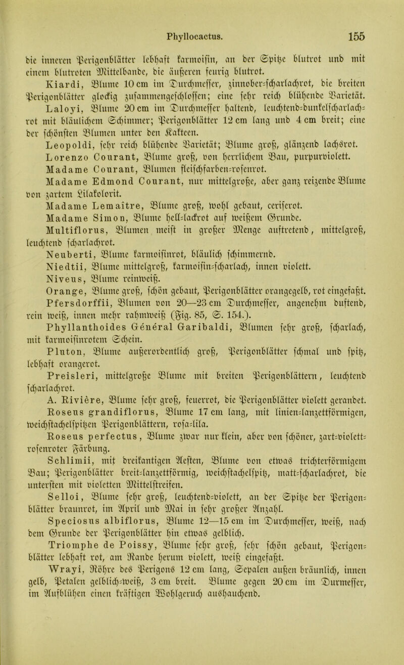 bic inneren ^erigonblätter lebhaft farmoiftit, an bei* @piße blutrot unb mit einem blutroten ©iittelbanbe, bic äußeren feurig blutrot. Kiardi, ©luntc 10 cm im jDitrdjmeffer, $imtober;fd)arladjrot, bie breiten ^erigonblätter glorfig jufatnmengefc^loffen; eine fel)r reid) btiiljenbc Varietät. Laloyi, ©luntc 20cm im $)urdjmeffer fyaltenb, lcud)tenb;buntelfd)arlad)= rot mit bläulid)em ©djintmer; ^erigonblätter 12 cm lang unb 4 cm breit; eine ber fdbönften ©turnen unter ben föaftcen. Leopoldi, fefyr reid) bliifyenbe Varietät; ©lume groß, glänjenb ladjbrot. Lorenzo Courant, ©turne groß, Ooit l)crrlid)em ©au, purpuroiolett. Madame Courant, ©turnen fleifdjfarbemrofenrot. Madame Edmond Courant, nur mittelgroße, aber ganj reßenbe©turne oon jartern Silatolorit. Madame Lemaitre, ©turne groß, loot)l gebaut, ceriferot. Madame Simon, ©turne Ijeddadrot auf toeißem ©runbe. Multiflorus, ©turnen meift in großer ©tenge auftretenb, mittelgroß, leud)tenb fd)arlad)rot. Neuberti, ©turne farmoijtnrot, bläulich fcfyimmernb. Niedtii, ©lume mittelgroß, farmoifimfdjartadj, innen oiolett. Niveus, ©lume reintoeiß. Orange, ©lume groß, fdjön gebaut, Sßerigonblätter orangegelb, rot eingefaßt. Pfersdorffii, ©turnen oon 20—23 cm ©urdjmeffer, angenehm buftenb, rein toeiß, innen metjr rafpnloeiß (gig. 85, ©. 154.). Pliyllanthoides General Garibaldi, ©turnen fef)r groß, fdjarladj, mit larmoifinrotem ©cfjein. Pluton, ©turne anßerorbentlicf) groß, ^Serigonblätter fdjntal unb fpifc, lebhaft orangerot. Preisleri, mittelgroße ©lume mit breiten ^erigonblättern, leud)tenb fc^arlac^rot. A. Riviere, ©lume feljr groß, feuerrot, bie ©erigonblätter oiolett geranbet. Roseus grandiflorus, ©turne 17 cm lang, mit tiniendanjettförmigen, toeidjftadjelßnben Sßerigonblättern, rofadila. Roseus perfectus, ©lume jtoar nur Hein, aber Oon fd)öner, jarPoioletP rofenroter gärbung. Schlimii, mit breitantigen rieften, ©lume Oon ettoab trichterförmigem ©au; ©erigonblätter breiPlanjettförmig, toeid)ftad)etfpih, matt;fd)arlad)rot, bie unterften mit oioletten 3CTM11elftreifen. Selloi, ©turne fefyr groß, leudjtenb^oiolett, an ber ©pil^e ber ^erigon= blätter braunrot, im 3lpril unb ©tai in fefyr großer 9lnjat)t. Speciosus albiflorus, ©turne 12—15cm im £)urdjmeffer, toeiß, nad) bem ©runbe ber ©erigonblätter ßin ettoab gelblid). Triomphe de Poissy, ©turne fe^r groß, fet)r fd)ön gebaut, Sßerigons blätter lebhaft rot, am ©anbe l)erum oiolett, toeiß eingefaßt. Wrayi, dtöfjre beb ©erigonb 12 cm lang, ©epalett außen brännlid), innen gelb, fetalen gelblidj-toeiß, 3 cm breit, ©turne gegen 20 cm im 2) ur me ff er, im 2lnfbliü)en einen fräftigen ÜSßoljlgerudj anbl>aud)enb.