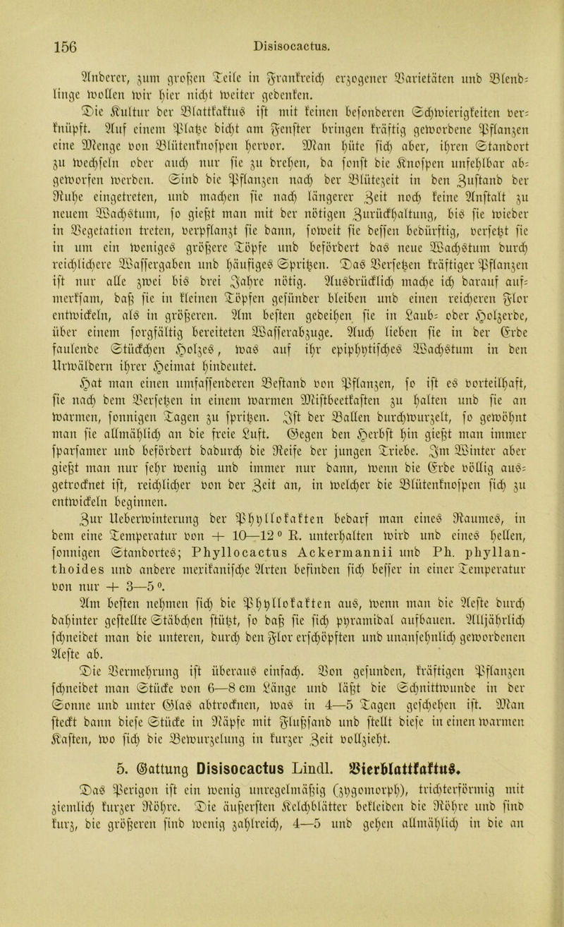 Slnberer, ^um großen Teile in granfreidj erlogener Varietäten nnb Vlenb; liitge moden mir f)ier nidjt meiter gebeuten. ©ie Kultur ber VlatffaftuS ift mit feinen befonberen ©chmierigfeiten rer; fnüpft. dluf einem ki<ht am genfter bringen fräftig gemorbene Vf^njen eine dJtenge oon Vlütenfnofpen Reimer. 9[ftan fmtc fid) aber, ihren ©tanbort jn med)feln ober and) nur (ie ju bre^en, ba fonft bie Knofpen unfehlbar ab; geworfen merben. ©inb bie Sßflanjen nad) ber Vliite^eit in ben 3uf*:an^> ber dtut)e eingetreten, nnb machen [ie nad) längerer 3ed noch feine 9lnftalt 511 neuem V>ad)Stitm, [0 gießt man mit ber nötigen 3nrüdhaltung, bis [ie mieber in Vegetation treten, verpflanzt [ie bann, fomeit [ie bef[en bebürftig, verfemt [ie in um ein menigeS größere Töpfe nnb beförbert bas neue Tßad)Stum burd) rcid)(id)cre TBaffergaben nnb häufiges ©prüfen. ©aS Verfemen kräftiger Vftanjen ift nur ade jmei bis brei 3>al)re nötig. VuSbriidlid) madje id) barauf auf; merffam, baß [ie in flehten Töpfen gefünber bleiben nnb einen reicheren g-lor eutmideln, als in größeren. 51m beften gebeten [ie in Saub; ober §ot$erbe, über einem forgfältig bereiteten Sößafferabguge. Sind) lieben [ie in ber ©rbe faulenbe ©tüdd)en ^oljeS, maS auf ihr epiphptifdjeö V>ad)Stum in ben Urmälbern ihrer §eimat hinbeutet. §at man einen umfaffenberen Veftanb Oon Pflanzen, fo ift eS vorteilhaft, [ie nad) beut Verfemen in einem marmen dftiftbeetfaften 511 galten nnb [ie an tioarmen, fonnigen Tagen 311 [prüfen. 3ft ber Vaden burchmurjelt, [0 gewöhnt man [ie admählidj an bie freie Suft. ©egen ben § erb ft hin gießt man immer fparfamer nnb beförbert baburdj bie dteife ber jungen Triebe. 3>m Vßinter aber gießt man nur fehr menig nnb immer nur bann, menn bie ©rbe oödig auS= getrodnet ift, reichlicher von ber 3eit an, in metdjer bie Vlütenfnofpen [id) 511 entmideln beginnen. 3ur Ueberminterung ber Vhht'btmtden bebarf man eines Raumes, in bem eine Temperatur oon + 10—12 0 R. unterhalten mirb nnb eines heden, fonnigen ©tanborteS; Phyllocactus Ackermannii nnb Pli. phyllan- thoides nnb anbere merifanifdje 5lrten befinben [ich Keffer in einer Temperatur Oon nur -b 3—5 °. 3lm beften nehmen [id) bie Vhh^°^a^ten auS, menn man bie dtefte burd) bahinter geftedte ©täbdjen [Hißt, [0 baß [ie [id) ppramibal aufbauen. Vltjäbrlid) [d)neibet man bie unteren, burd) ben glor erfd)öpften unb unanfehnlid) gemorbenen dlefte ab. ©ie Vermehrung ift überaus einfad). Von gefunben, fräftigen Vflangcn [d)neibet man ©tüde Oon 6—8 cm Sänge unb läßt bie ©djnittmunbe in ber ©onne unb unter ©laS abtrodnen, maS in 4—5 Tagen gefächen ift. Sttan ftedt bann biefe ©tüde in dtäpfe mit glußfanb unb [teilt biefe in einen mannen haften, mo [id) bie VeWurzelung in furjer 3eit ood^iel)!. 5. ©attung Disisocactus Lindl. VierblattfaftuS* T)aS «Perigon ift ein menig unregelmäßig (zpgomorpl)), trichterförmig mit Ziemlid) furjer 9töl)rc. ©ie äußerften Kelchblätter befleiben bie dtößre unb finb furz, bie größeren [iub menig zahlreich, 4—5 unb gehen admäl)Iid) in bie an