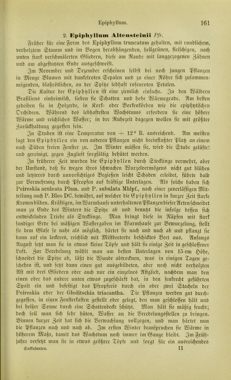 2. Epipliylluin Alten stein ii Pfr. grüljer für eine govnt beb Epiphyllum truncatum gehalten, mit runblid)em, verholztem ©tamnt unb im Vogen herabljängenbcn, hellgrünen, fleifdßgen, nad) unten ftarf verfd)mälerten ©liebem, biefe am Sftanbe mit langgezogenen 3äl)mn unb am abgenutzten (Snbc aubgefchtveift. 3m November unb Dezember cr[d)cinen felbft bei uod) jungen 5ßflan$en in SJieuge Vlumeit mit bunlelroteit ©epaleit unb 51t einer 9ftöl)re [id) jufammens neigenbeu, blaßrötlidjen, an bei* ©pitze lebhaft vofeuroten fetalen. ®ie Kultur bev (Spiphßllen ift eine jiemltd) ciitfadye. 3u beu Töälbern Vrafilieitb einbeimifd), lieben fie ©chatten unb l)ol)e Tßärmegrabe. 2lm beften gebeiben fie in §oljevbe, in S^oxb ober Vortenförben mie bie eptp^tjtifd^en Drdjibeen. Vßäljrenb beb lebhafteren Tßad)btiunb erforbent fie eine fjöfyere 3Bärme unb reid)tid)cb Tßaffer; in bev diubejeit bagegen mellen fie mit größter 3urüdl)altung gegoffen fein. 3:n ©tuben ift eine Temperatur Von 4- 12 0 K. aubreidjenb. 9lnt meiften fagt ben (Spiphplleit ein von anberen Pflanzen nid)t beeinflußter :$lai3 an einem nad) ©üben freien genfter ju. 3m 2öinter muffen fie, mirb bie ©tube gelüftet unb gereinigt, gegen 3ugluft forgfältig behütet merben. 3n früherer 3°it mürben bie (Spiphpllen burd) ©tedlinge Vermehrt, aber ber Umftanb, baß fie megen ihreb fd)mad)en Tßurzelvermögenb nid)t gut blühen unb letztercb burd) unvorftd)tigeb Vegießen leid)t ©(haben erleibet, führte halb Zur Vermehrung burd) pfropfen auf fräftige Unterlagen. 9llb folcCye haben fid) Peireskia aculeata Plum. unb P. subnlata Mhlpf., nad) einer zuüerläffigen 9JtiP teilung and) P. Bleo DC. bemährt, auf meid)er bie (SpiphpIIen in furjer 3eit ftarfe Irenen hüben, kräftigen, imSBarmhaufe unterhaltenen$flanzenbiefer2lrtenfdjneibet man §u ($nbe beb Vßinterb bie ©pifze ab unb benutzt bie infolge beffeit fid) entmidelnben Triebe alb ©tedlinge. 3Jtan bringt biefe in Ütäpfen mit ftarf fanbiger (Srbe bei mäßigen Tßaffergaben im Tßarmljaufe gur Vemurzelung, ftellt fie bem Olafe fo nahe alb möglich, härtet f*e na(h unb nad) ab unb pflanzt fie bann auf ein lodereb, reichlich mit SDTiftbeeterbe befd)idteb Vect aitb. Slnfangb Sluguft fetzt man fie in etmab fleine Töpfe unb hält fie einige 3e*t in gefdfloffener Suft. 3ur Verebelung mäf)lt man am beften Unterlagen von 15 cm §öt)e, fepneibet bie ©pitze ab, läßt bie Tßunbe abtrodnen, mab in einigen Tagen ge= fd)ehcn ift, unb fetzt bann einen gut aubgebilbeten, aber nod) nid)t Verholzten 9lft mit brei ©liebem ober and) nur ein einjelneb 9lftglicb, uad)bcm man beit einen ober bab anbere unten etmab zugefdjärft bat, in ben fenfredjt geführten ©palt ein unb befeftigt bab ^fropfreib burd) ein ober jmei ©tacfjeln ber Peireskia ober ber Gleditschia triacantha. Die ^sflanjen merben gut burcf)= gegoffen, in einen ^enfterfaften gefteüt ober gelegt, ben man gefd)loffeit l)ält unb bei heißer ®onne burcf) eine ©d)attenbede fdjitizt. 9Jtan l)ält fie mäßig feud)t; bod) folX man fid) feßr hüten, Tßaffer an bie Verebelungbftetlen ju bringen. Vinnen fuqer 3eit hat Ü<h bie Vermad)fung vollzogen, unb man härtet nun bie Pflanzen nad) unb nach nb- 3m erften TBiitter beanfprud)en fie Tßärme in höherem 30Taße, bamit bab 2Bad)btunt nod) immer im ©aitge bleibt. 3m grüf)= fahre verfemt man fie in etmab größere Töpfe unb forgt für ein aubreidjenbeb ©utfulenten. 11