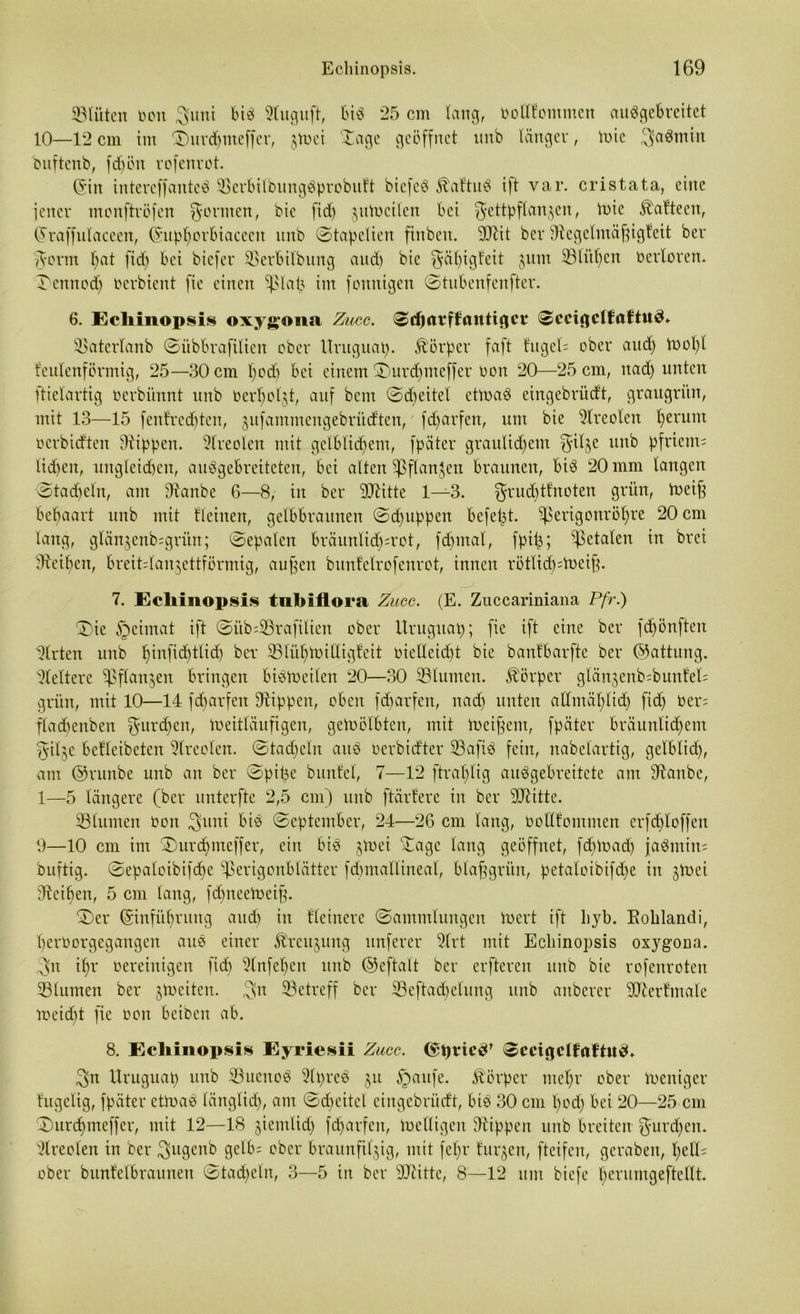 SBluten oon 3nni bi« 3(uguft, Bi« 25 cm lang, ootlfommen au«gebreitet 10—12cm im £)ur<pmeffer, $Wci £age geöffnet nnb länger, inte 3a«min bnftenb, fd)ön rofenvot. ©in intereffante« 33erbilbung«probutt biefe« Äaftu« ift var. cristata, eine jener mcnftröfen formen, bic ft dB &uWcilen bei gettpflan^en, Vote ^afteen, ©raffnlacecn, ©upporbiaceeu nnb ©tadelten finben. 'DDcit ber fftegelmägigtcit ber Jform pat ficf> bei biefer SSerbilbung aud) bie fyäpigteit $um 33litt)en verloren, ©ennodp toerbient fie einen Sßlafc im fottnigen ©tubenfenfter. 6. Ecliinopsis oxygona Zucc. ©djarffnitticjcv* ©ecicjclfaftu^ 33aterlanb ©i'tbbrafilien ober ltruguap. Körper faft fitgel= ober and) Wopl feulenförmig, 25—30 cm pod) bei einem ©mrdpncffer oon 20—25 cm, nad) unten ftietartig Derbünnt nnb ocrpoljt, auf bent ©dpeitel etwa« eingebrüdt, graugrün, mit 13—15 fenftredpten, jnfammengebritdten, fd)arfen, um bie Xreolen perum ocrbidten Rippen. Areolen mit gelblichem, fpäter graulidpem f^ilje unb pfriem; lidfen, ungleidben, au«gebreüeten, bei alten Sßflan^en braunen, bi« 20 mm langen ©tadeln, am Utanbe 6—8, in ber Glitte 1—3. grudpttnoten grün, Weig begaart unb mit fleinen, gelbbraunen ©dguppen befept. üßerigonröpre 20 cm lang, glänjenb^grün; ©epalen bräunlicp^rot, fdpmal, fptp; fetalen in brei dteipen, breitdanjettförmig, äugen bunfelrofenrot, innen rötlid);Weig. 7. Ecliinopsis tnbiflora Zucc. (E. Zuccariniana Pfr.) ©)ie Syeimat ift ©iib;33rafilien ober Urugitap; fie ift eine ber fdpönften Wirten unb pinficptlid) ber 35 li'tp hüll igle it oiedeidpt bie bantbarfte ber (Gattung. Xelterc $ßflan$en bringen bi«Wetlen 20—30 33lumen. Körper glänjenbWunfeE grün, mit 10—14 fcparfen Rippen, oben fcparfen, nad) unten adntäplidp fid) oer= fladpenben $urcpen, Weitläufigen, gewölbten, mit Weigern, fpäter bräunlicpem §ilje befleibeten Xreclen. ©tadpeln au« Oerbidter 33afi« fein, nabctartig, gelblid), am ©tunbe unb an ber ©pipe buntel, 7—12 ftraplig au«gebreitcte am dtanbe, 1—5 längere (ber unterfte 2,5 cm) unb ftärtere in ber 3D7itte. 33lumen non 3uni bi« ©eptember, 24—26 cm lang, Oodfommen erfdploffen 9—10 cm im ©urcpnteffer, ein bi« jWei ©age lang geöffnet, fdpWadp ja«miit= buftig. ©epaloibifcpe ^erigonblätter fcpmallineal, blaggrün, petaloibifdje in jWei Zeigen, 5 cm lang, fcpneeWeig. ©)er ©infügrung aud) in Heinere ©ammlungen Wert ift liyb. Kolilandi, perüorgegangen aus einer föreujung itnferer Xrt mit Ecliinopsis oxygona. 3n ipr vereinigen fidp Xnfepen nnb ©eftalt ber erfteren unb bie rofenroten 33lumen ber ^Weiten. 3n ^Betreff ber 33eftadpelung nnb anberer SXerfmale weid)t fie oon beibcn ab. 8. Ecliinopsis Eyriesii Zucc. ©t)tic3r ©ecigelfnftueü 3n Uruguap unb 33ueno« Xpre« $u §aufe. Körper mepr ober Weniger fugelig, fpäter etwa« länglich, ant ©cpeitel eingebrüdt, bt« 30 cm pocp bei 20—25 cm ©urcpmeffer, mit 12—18 jientlid) fcparfen, Welligen Rippen nnb breiten $ur<pen. Xreolen in ber 3>ugenb gelb; ober braunftljig, mit fepr turnen, fteifen, geraben, pell; ober bunfelbraunen ©tacpeln, 3—5 in ber sIRitte, 8—12 um biefe perumgeftedt.