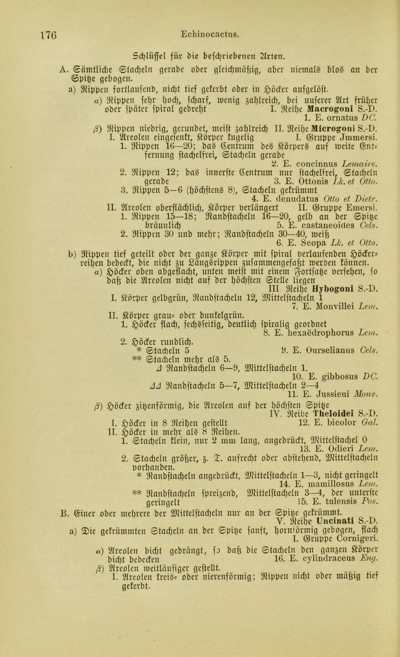 Sd}liijfel für bie befcßriebencn 2lrten. A. ©ämtlicße ©tadeln gerabc ober gleichmäßig, aber niemals blo§ art bcr ©piße gebogen. a) Wippen fortlaufenb, nicht tief geferbt ober in Dörfer aufgelöft. a) Rippen feßr hoch, fcßarf, loenig zahlreich, bei nuferer 2Irt früher ober fpätcr fpiral gepreßt I. Weiße Macrogoni S.-D. 1. E. ornatus DC. ß) Rippen niebrig, gerunbet, meift zahlreich II. Weiße Microgoni S.-D. I. 2lreoIen eingefenft, Körper fugelig I. ©ruppe Jmmersi. 1. Rippen 16—20; ba§ ©entrum be§ Störper§ auf meite ©nt= fernung ftacßelfrei, ©tadeln gerabe 2. E. concinnus Lemaire. 2. Wippen 12; ba§ innerfte ©entrum nur ftacßelfrei, ©tachein gerabe 3. E. Ottonis Lk. et Otto. 3. Wippen 5—6 (ßöcßften§ 8), ©tachein gefrümmt 4. E. denuclatus Otto et Dietr. II. Wreolen oberflächlich, Körper Oerlängert II. ©ruppe Emersi. 1. Wippen 15—18; Wanbftacßeln 16—20, gelb an ber ©piße bräunlich 5. E. castaneoicles Gels. 2. Wippen 30 unb mehr; Wanbftacheln 30—40, meiß 6. E. Scopa Lk. et Otto. b) Wippen tief geteilt ober ber gange Körper mit fpiral Oerlaufenben §öcfer= reißen bebeeft, bie nicht gu ßäugsrippen gufammengefaßt merben tonnen. a) £öcfer oben abgeflacßt, unten meift mit einem ijortfaße oerfeßen, fo baß bie Wreolen nicht auf ber haften ©teile liegen III Weiße Hybogoni S.-D. I. Körper gelbgrün, Wanbftacheln 12, Wtittelftacßeln 1 7. E. Monvillei Lern. II. Körper gram ober bunteigrün. 1. §öcfer flacß, feeßsfeitig, beutlicß fpiralig georbnet 8. E. hexaedrophorus Lern. 2. §ö<fer runblicß. * ©tacbeln 5 0. E. Ourselianus Cels. ** ©tachein meßr als 5. A Wanbftacßeln 6—9, ÜWittelftacßeln 1. 10. E. gibbosus DC. AA Wanbftacßeln 5—7, Wtittelftacßeln 2—4 11. E. Jussieui Monv. ß) <oöcfer gißenförmig, bie Wreolen auf ber ßöcßften ©piße IV. Weibe Theloidei S.-D. I. 5pödfer in 8 Weißen gefteltt 12. E. bicolor Gal. II. §öcfer in meßr als 8 Weißen. 1. ©tacßeln flein, nur 2 mm lang, angebriieft, Wiittelftacßel 0 13. E. Odieri Lern. 2. ©tachein größer, 3. X. aufrecht ober abfteßenb, Wtittelftacßelu üorßanben. * Wanbftacßeln angebriieft, Wtittelftacßeln 1—3, nicht geringelt 14. E. mamillosus Lern. ** Wanbftacßeln fpreigenb, Wtittelftacßeln 3—4, ber nnterfte geringelt 15. E. tulensis Pos. B. ©iner ober mehrere ber Wtittelftacßeln nur au ber ©piße gefrümmt. Y. Weiße Uncinati S.-D. a) 3)te gefrümmteu ©tacßeln an ber ©piße fanft, hornförmig gebogen, flach I. ©nippe Cornigeri. «) Wreolen bießt gebrängt, fo baß bie ©tacßeln ben gangen Körper bießt bebccfen 16. E. cylindraceus Eng. ß) Sireoien Weitläufiger geftellt. I. Sireoien frei§= ober nierenförmig; Wippen nicht ober mäßig tief geferbt.