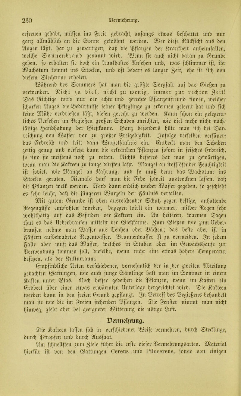 erfreuen gehabt, inüffen inS grete gebraut, anfangs etinaö Bcfd;attet unb nur ganj atlmüf)lid) an bie ©omtc gcinöfynt inerben. 2Ber btcfe 9iiidfid)t ait3 ben Singen läfjt, t)at 51t geinärtigen, baf bie Pflogen ber $rantf)eit anfjeimfatlen, ineldje ©onnenbranb genannt inirb. SBenn fie and) nicfjt baran 31t ©runbe getreu, fo erhalten fie bod) ein tranffyafteS Slnfeljen unb, inaö fdflintmer ift, ifjr Sßadjotum tcmmt inö ©toden, unb oft Bebarf e3 langer 3eit, el)e fie fiel) ton biefent ©ied)htme erholen. Sßäfjrenb bc3 ©ommerS t)at man bie größte ©orgfalt auf ba3 ©iefen 51t Oerinenben. Sftidfjt 51t oiel, nidjt 31t inenig, immer 3111* rcdjten 3eü! T)aö 9tid)tige inirb nur ber cdjte unb gerechte ^flanjenfreunb finben, ineldjer fdjarfen Singet bie ißebürfniffe feiner Pfleglinge 31t ertennen gelernt pat unb fid) feine SJiitbe verbrieften läfjt, biefen gered)t 3U inerben. Äann fd)on ein gelegen^ lid)e3 33erfef)en im ©egiefen grofen ©djabett anrid)tert, inie oiel mefjr nid)t nadj; läffige §anb^aBung ber ©ieffattne. ©ait3 BefonberS Ijitte man fid) Bei ©)ar= reid)tmg Von Töaffer oor 311 großer $reige6igteit. infolge berfelBen oerfäuert baö (grbreidj unb tritt bann 2ßur3elfäulniö ein. (Sntbedt man ben ©djaben 3eitig genug unb oerfefet bann bie ertrantten Pfla^en fofort in frifdjeä Grbreid), fo finb fie meiftenS nodj 31t retten. 9iid)t3 Beffereö t)at man 31t geinärtigen, inenn man bie ^atteen 31t lange bürften läßt. Mangel an ftofflöfenber ^eudjtigteit ift fooiel, inie Mangel an -Raffung, unb fo mufj beim baö SBadjStum inS ©toden geraten. Niemals barf man bie (Srbe foineit anotrodnert taffen, bafj bie Pfla^en inelt Inerben. SBirb bann enblid) inieber SBaffer gegeben, fo gefc^iefd e3 feljr leid)t, bafj bie jüngeren SBm^eln ber Fäulnis oerfallen. 9ftit gutem ©ntnbe ift oben au6reid)enber ©djut) gegen f)eftige, anBaltenbe dtegengi'iffe empfohlen inorben, bagegen inirtt ein inarmer, ntilber Regelt fef)r inoljltpätig auf baö Tkfinben ber Äafteen ein. 3ln Weiteren, inarmen Tagen tfyut eö baS UeBerBranfen mittetft ber ©ieftamte. 3um ©ic^en inie 3unt lieber; Brattfen neunte man Tßaffer auö Tcicfjen ober 33ädjen; ba3 Befte aber ift in g-äffent aufbeinaljrteö dtegeninaffer. 33runneninaffer ift 31t oermeiben. 3»n jebent $atle aber mttf ba3 SBaffer, ineld)e$ in ©titben ober im © ein ä dj 3 f) auf e 3m* Sßerinenbung tommen fofl, biefelbe, inenn nid)t eine etinaö f)ot)ere Temperatur Befi^en, alö ber Äulturraum. ©mpfinblidje Slrten Oerfdjiebener, oornet)mlid) ber in ber 3ineiten Slbteiliing gebaepten ©attungen, inie and) junge ©ämlinge Ijält man im ©omnter in einem haften unter ©la$. Siod) Beffer gebeif)eit bie Pfla^en, inenn im haften ein (Srbbeet über einer etinaö ertnärmten Unterlage Ijergeridjtet inirb. T>ie ^afteen inerben bann in beit freien ©ntnb gepflanzt. 3n betreff bed 23egiefjen3 Bcfjanbelt man fie inie bie im freien ftct)cnbcn Pflogen, T)ie fjenfter nimmt man nidjt l)inineg, giebt aber bei geeigneter Witterung bie nötige Suft. Dertmljrung. ©ie Äaftecn laffen fid) in oerfdjiebener Sßeifc Oernte^ren, bitrd) ©tedlinge, burd) Pfropfen unb bitrd) 9tu3faat. 3lm fd)neltften 311m 3ieic füt)rt bie erfte biefer Permcbruug^artcn. Material hierfür ift oon ben ©attungeu Cereus unb Pilocereus, foinie 001t einigen