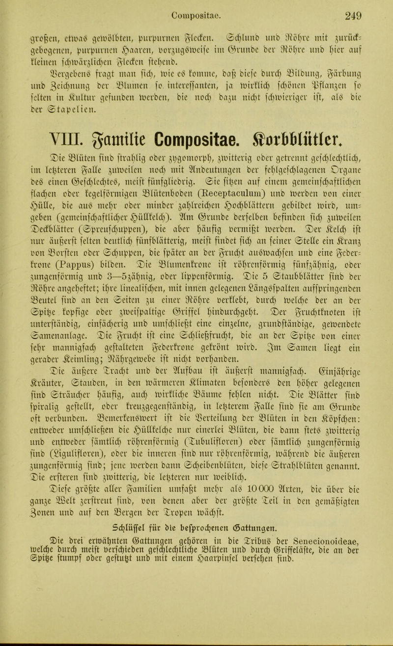 ■großen, ettoab gewölbten, purpurnen glecfen. ©djluitb uitb 9föl)re mit ^urüd' gebogenen, purpurnen §aaren, oorjugStoeife int ©ruitbc ber SRöhre uitb l;tcr auf tictuen fd)loär$lid)en gtedcu ftcl)cnb. Vergebend fragt man fid), tote eö tomme, baß biefe bttrd) SBilbung, Färbung unb 3etdmung ber Vlumert fe inteveffanten, ja toirflidj frönen 5ßflan$en fo fetten in Kultur gefuitben toerbeit, bie ttod) ba$u nidjt fdüoierigcr ift, alb bie ber ©tapelien. VIII. Familie Compositae. SforBBlittler. Oie Vlüten finb ftrahlig ober jpgomorph, jtoittevig ober getrennt gefd)led)t(id), im teueren fyaüe ^utoeilen ttod) mit Stnbeutungen ber fehlgefd)lagencit Organe beb einen ®efd)lcd)teb, meift fünfgliebrig. Oie ftjjen auf einem gemeinfrf>aftlid)en flauen ober fegeiförmig eit üBli'ttenBoben (Eeceptaculum) uitb ioerben oon einer §ülle, bie aub mehr ober miitber 'ga^lreid^eit §oc^Blättern geBilbet toirb, um= geBett (gemeinfdjaftlidjer bbüdfeld)). 51m ©ruttbe berfetBen Befinbeit fid) jutoeilen OetfBlätter (Oprettfd)tippen), bie aber häufig 0ermißt toerbeit. Oer Äeld) ift nur äußerft feiten beutlid) fünfblätterig, meift finbet fid) an feiner ©teile ein ^ranj oon iBorften ober ©d)itßpen, bie fpäter an ber grudjt aubtoad)fcit unb eine gcber= frone (Pappus) bilbett. Oie SBlumenfronc ift röhrenförmig fünf^afjuig, ober ^ungettförmig unb 3—5$ähnig, ober lippenförmig. Oie 5 (Staubblätter fittb ber iRötyre angeheftet; ihre Iineatifd6>en, mit innen gelegenen S-äitgbfpalten auffprittgenben Veutel finb an beit ©eiten $u einer Otöhre oerflebt, bttrd) ioeld)e ber an ber ©pipe fopfige ober jtoeifpaltigc ©riffel h^burd)get)t. Oer grud)tfnoteit ift unterftänbig, einfächerig unb uiitfch ließt eine einzelne, grnnbftänbige, getoeitbetc (Samenanlage. Oie $rud)t ift eine (Scf; 1 ie^fruct>t, bte ait ber (Spitze oon einer fel)r mannigfad) geftalteten geberfrotte gefrönt toirb. 3>m (Samen liegt ein geraber Keimling; Ü?äl)rgetoeBe ift nicht Oorhartben. Oie äußere Orad)t uitb ber Aufbau ift äußerft mannigfach. (Einjährige Kräuter, ©tauben, in beit io ärmeren ^limaten Befonberb beit höher gelegenen finb ©tränier h^ufiSr auch toirflid)e Väume fel)leit itid)t. Oie SBlätter finb fpiralig geftellt, ober freu^gegenftänbig, in letzterem gälte ftitb fie am ©ritnbe oft oerbuttbeit. SBcmerfenbtoert ift bie Verteilung ber SBlüten in beit fööpfd)ett: enttoeber umfdjließen bie §ü(lfeld)e nur einerlei Vlitten, bie bann ftetb jioitterig unb enttoeber fämtlid) röhrenförmig (OuBulifloren) ober fänttlid) juitgenförmig finb (Sigulifloren), ober bie inneren finb nur röhrenförmig, tüäf;renb bie änderen ^ungenförmig finb; jette ioerben bann ©cheiheitBlüteit, biefe ©trahlblüten genannt. Oie erfteren ftitb jtoitterig, bie letzteren nur toeiblid). Oiefe größte aller gamilien umfaßt mehr alb 10000 Slrlen, bie über bie ganje üßelt 5erftreut fittb, oon beiten aber ber größte Oeil iit beit gemäßigten 3onett unb auf beit Vergeu ber Xropen toäd)ft. Sd)lüffel für bte befproepenen (Gattungen. Oie bret ermähnten ©attitngen gehören iit bie Xribttb ber Senecionoideae, toelche bitrd) metft oerfchiebeit gefilechtliche tBlüten unb bttreh ©riffeläfte, bte an ber ©pthe ftumpf ober geftu^t unb mit einem Jgaarpiufel oerfef)eit finb.