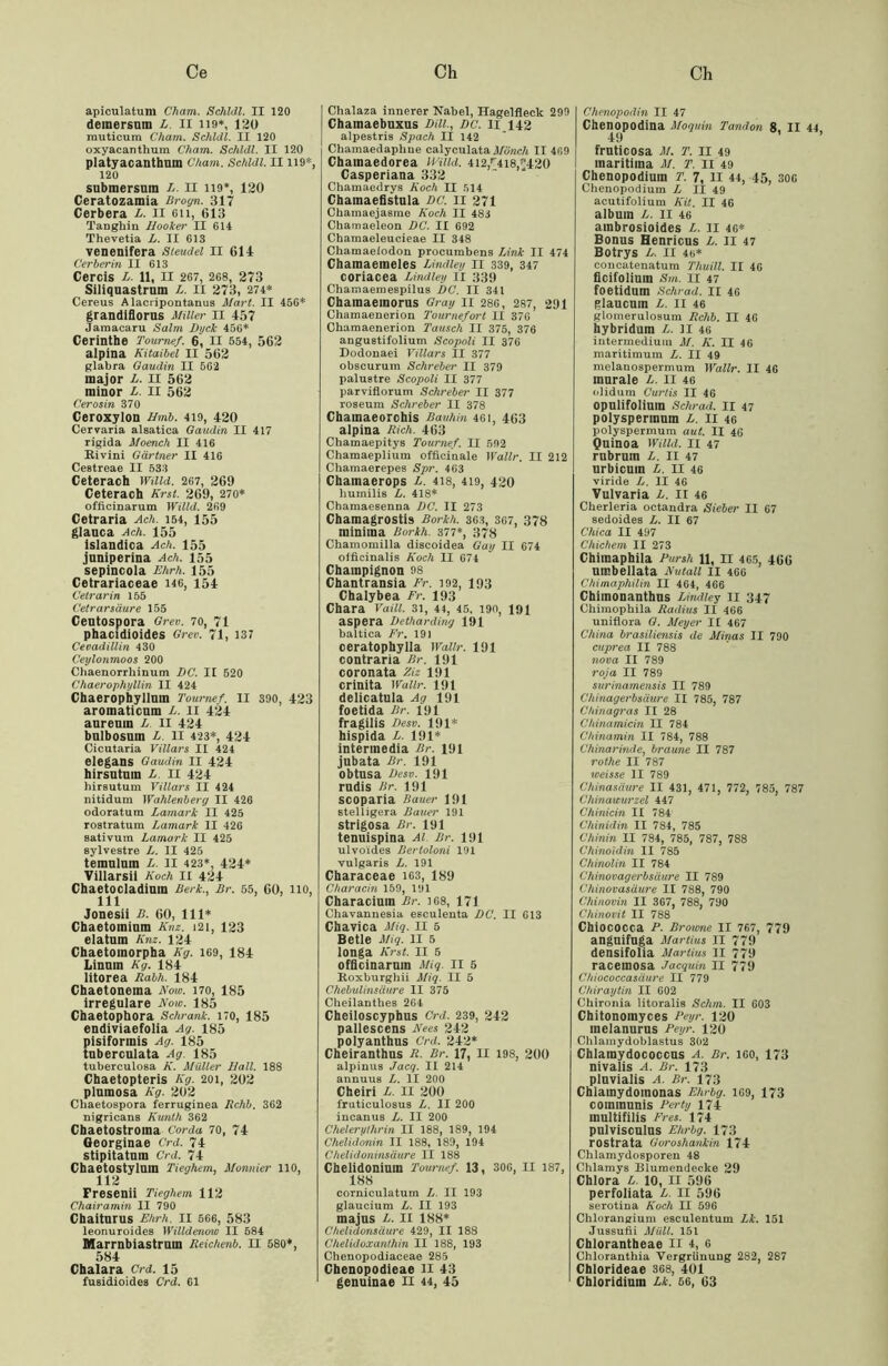 apiculatum Cham. Schldl. II 120 demersnm L. II 119*, 120 muticura Cham. Schldl. II 120 oxyacanthum Cham. Schldl. II 120 platyacanthum Cham. Schldl. II 119*, 120 submersnin II no*, 120 Ceratozamia Brogn. 317 Cerbera L. II 6ii, 613 Tanghin Ilooker II 614 Thevetia L. II 613 venenifera Steudel II 614 Cerberin II 613 Cercis L. 11, II 267, 268, 273 SiliqDastrnm L. II 273, 274* Cereus A lacripontanus Mart. II 456* grandifiorus Miller II 457 Jamacaru Salm Dyck 456* Cerinthe Toumef. 6, II 554, 563 alpina Kitaibel II 562 glabra Oaudin II 562 major L. II 562 minor L. II 562 Cerosin 370 Ceroxylon Hmb. 4io, 420 Cervaria alsatica Oaudin II 417 rigida Moench II 416 Rivini Gärtner II 416 Cestreae II 533 Ceterach mild. 267, 269 Ceterach Kr st. 269, 270* offieinarum Willd. 269 Cetraria Ach. 154, 155 glauca Ach. 155 islandica Ach. 155 jnniperina Ach. 155 sepincola Ehrh. 155 Cetrariaceae 146, 154 Cetrarin 155 Cetrarsäure 155 Centospora Grev. 70, 71 phacidioides Grev. 71, 137 Cevadillin 430 Ceylonmoos 200 Chaenorrhinum DC. II 520 Chaerophyllin II 424 Chaeropiiyllmn Toumef. II 390, 423 aromaticnm L. II 424 aureum L II 424 bnlbosnm L. II 423*, 424 Cicutaria Villars II 424 elegans Oaudin II 424 hirsutum L II 424 hirautum Villars II 424 nitidum Wahlenberg II 426 odoratum Lamark II 425 rostratum Lamark II 426 sativum Lamark II 425 sylvestre L. II 425 temulum L. II 423*, 424* Villarsii Koch II 424 Chaetocladimn Berk., Br. 55, 60, HO, 111 Jonesii B. 60, 111* Chaetomimn Knz. 121, 123 elatnm Knz. 124 Cbaetoinorpha Kg. 169, 184 Linam Kg. 184 litorea Rabh. 184 Cbaetoneina Kow. 170, 185 irreguläre Now. 185 Cbaetopbora Schrank. 170, 185 endiviaefolia Ag. 185 pisiformis Ag. 185 tuberculata Ag. 185 tubereuloaa K. Müller Ilall. 188 Cbaetopteris Kg. 201, 202 plnmosa Kg. 202 Cliaetospora ferruginea Rchb. 362 nigricaus Kunth 362 Cbaetostroina Corda 70, 74 Georginae Crd. 74 stipitatum Crd. 74 Cbaetostyluin Tieghem, Monnier 110, Fresenii Tieghem 112 Chairamin II 790 Cbaiturus Ehrh. II 566, 583 leonuroides Willdenow II 584 Marrnbiastrum Reichenb. II 580*, 584 Cbalara Crd. 15 fuaidioides Crd. 61 I Chalaza innerer Nabel, Hagelfleck 299 Chainaebuxus Dill., DC. II 142 alpestris Spach II 142 Chamaedapline calyculataMönch II 469 Cbainaedorea Willd. 4i2,r4i8,-'420 Casperiana 332 Chamaedrys Koch II 514 Chainaefistula DC. II 271 Chamaejasme Koch II 483 Chamaeleon DC. II 692 Chamaeleucieae II 348 Chamaeiodon procumbens Link II 474 Chamaemeles Bindley II 339, 347 coriacea Lindley II 339 Chamaemespilus DC. II 341 Cbainaeinorus Gray II 286, 287, 291 Chamaenerion Tournefort II 376 Ckamaenerion Tausch II 375, 376 angustifolium Scopoli II 376 Dodonaei Villars II 377 obscurum Schreber II 379 palustre Scopoli II 377 parviflorum Schreber II 377 roseum Schreber II 378 Chamaeorchis Bauhin 461, 463 alpina Rieh. 463 Chamaepitys Toumef. II 592 Chamaeplium officinale Wallr. II 212 Chamaerepes Spr. 463 Chamaerops L. 418, 419, 420 liuinilis L. 418* Chamaesenna DC. II 273 Chamagrostis Borkh. 363, 367, 378 minima Borkh. 377*, 378 Ckamomilla discoidea Gay II 674 officinalis Koch II 674 Champignon 98 Chantransia Fr. 102, 193 Chalybea Fr. 193 Chara Vaili. 31, 44, 45, 190, 191 aspera Detharding 191 baltica Fr. 191 oeratophylla Wallr. 191 contraria Br. 191 coronata Ziz 191 crinita Wallr. 191 delicatula Ag 191 foetida Br. 191 fragilis Desv. 191* bispida L. 191* intermedia Br. 191 jubata Br. 191 obtusa Desv. 191 rndis Br. 191 scoparia Bauer 191 stelligera Bauer 191 strigosa Br. 191 tenuispina Al. Br. 191 ulvoides Berloloni 191 vulgaris L. 191 Characeae 163, 189 Characin 159, 191 Characium Br. 168, 171 Chavannesia esculenta DC. II 613 Cbavica Miq. II 5 Betle Miq. II 5 longa Kr st. 11 5 offieinarum Miq. II 5 Roxburghii Miq. II 5 Chebulinsäure II 375 Clieilanthes 264 Cheiloscyphus Crd. 239, 242 pallescens Kees 242 polyanthns Crd. 242* Cheiranthns R. Br. 17, 11 198, 200 alpinus Jacq. II 214 annuus L. II 200 Cheiri L. II 200 fruticulosus L. II 200 incanus L. II 200 Chelerylhrin II 188, 189, 194 Chelidonin II 188, 189, 194 Chelidoninsäure II 188 Chelidoniuin Toumef. 13, 300, II 187, 188 corniculatum L. II 193 glaucium L. II 193 majus L. II 188* Chelidonsäure 429, II 188 Chelidoxanthin II 188, 193 Chenopodiaceae 285 Cbenopodieae II 43 genuinae n 44, 45 Chenopodin II 47 Chenopodina Moguln Tandon 8 II 44 49 frnticosa M. T. II 49 maritima M. T. 11 49 Chenopodium T. 7, 11 44, 45, 300 Chenopodium L II 49 aeutifolium Kit. II 46 album L. II 46 ainbrosioides L. II 46* Bonus Henricus L. II 47 Botrys L, 11 46* concatenatum Thuill. II 40 ficifolium Sm. 11 47 foetidum Schrad. II 46 glaucmn L. 11 46 glomerulosum Rchb. II 46 hybridum L. II 46 intermedium M. K. II 46 maritimum L. II 49 melanospermum Wallr. II 46 murale L. II 46 olidum Curlis II 46 opnlifoliuin Schrad. II 47 polysperinum L. 11 46 polyspermum aut. II 46 Quinoa Willd. 11 47 rubrum L. 11 47 urbicum £. II 46 viride L. II 46 Vulvaria L. II 46 Cberleria octandra Sieber II 67 sedoides L. II 67 China II 497 Chichem II 273 Chimaphila Pursh 11, 11 465, 466 umbellata Kutall 11 466 Chimaphilin II 464, 466 Chimonanthus Bindley II 347 Chimophila Radius II 466 uniflora G. Meyer II 467 China brasiliensis de Minas II 790 cuprea II 788 nova II 789 roja II 789 surinamensis II 789 Chinagerbsäure II 785, 787 Chinagras II 28 Chinamicin II 784 Chinamin II 784, 788 Chinarinde, braune II 787 rothe II 787 weisse II 789 Chinasäure II 431, 471, 772, 785, 787 Chinawurzel 447 Chinicin II 784 Chinidin II 784, 785 Chinin II 784, 785, 787, 788 Chino'idin II 785 Chinolin II 784 Chinovagerbsäure II 789 Chinovasäure II 788, 790 Chinovin II 367, 788, 790 Chinovit II 788 Chiococca P. Browne II 767, 779 anguifuga Martius II 779 densifolia Martius II 779 racemosa Jacquin II 779 Chiococcasäure II 779 Chiraytin II 602 Chironia litoralis Schm. II 603 Chitonomyces Peyr. 120 melanurus Peyr. 120 Chlamydoblastus 302 Chlamydococcus A. Br. 100, 173 nivalis A. Br. 173 pluvialis A. Br. 173 Chlainydomonas Ehrbg. 109, 173 communis Perty 174 multifilis Fres. 174 pulvisculus Ehrbg. 173 rostrata Goroshankin 174 Chlamydosporen 48 Chlamys Blumendecke 29 Chlora L. 10, II 596 perfoliata L. II 596 serotina Koch II 596 Chloraneium esculentum Lk. 151 Jussufii Müll. 151 Chlorantheae II 4, 6 Chloranthia Vergrünung 282, 287 Cblorideae 368, 401 Cbloridium Lk. 56, 63