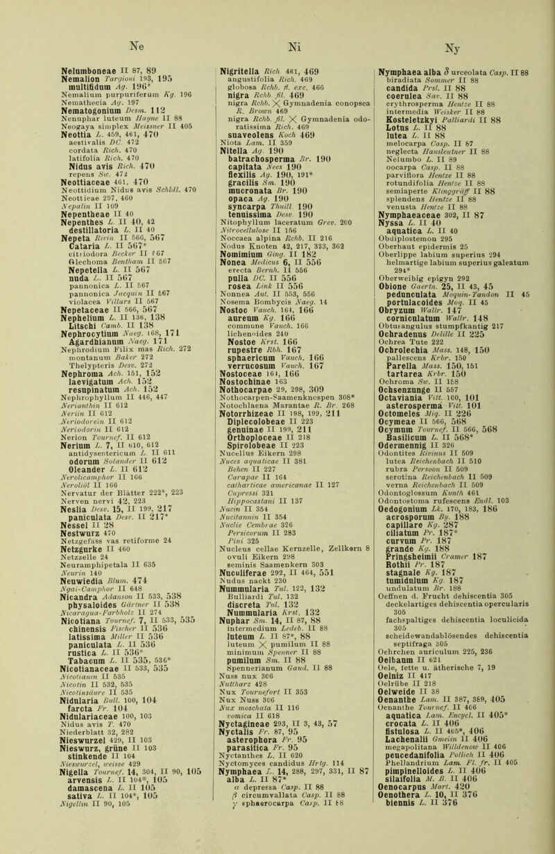 Ne Nelumboneae II 87, 89 Nemalion Targioni 193, 195 inultifidum Ag. 190* Nemalium puTpuriferum Kg. 19G Nemathecia Ag. 197 Nematogoniuin Desm. 112 Nenuphar luteum Ilayne II 89 Neogaya simplex Meissner II 405 Neottia L. 459, 461, 470 aestivalis DC. 472 cordata Rieh. 470 latifolia Rieh. 470 Nidus avis Rieh. 470 repeus Sw. 472 Neottiaceae 46i, 470 Neottidium Nidus avis Sehldl. 470 Neottieae 297, 460 Nepalin II 109 Nepentheae II 40 Nepenthes L. II 40, 42 destillatoria L. II 40 Nepeta Rit'in II 566, 507 Cataria L- II 507* citriodora Recken II f67 ftlechoma Bentham II 567 Nepetella L. II 507 nuda L. II 507 pannonica L. II 567 pannouica Jacquin II 567 violacea Villars II 567 Nepetaceae XI 566, 507 Nepheliuin L. II is«, 138 Litschi Camb. II 138 Nephrocytiuin Naeg. 168, 171 Agardhianuin Naeg. 171 Nephrodium Filix mas Rieh. 272 montanum Baker 272 Thelypteris Desv. 272 Nephroina Ach. 151, 152 laevigatum Ach. 152 resupinatuin Ach. 152 Nephrophyllum II 446, 447 Nerianthin II 612 Neriin II 612 Neriodorein II 612 Neriodoriu II 612 Nerion Tournef. II 612 Nerimn L. 7, II uio, 612 antidysentericum L. II 011 odorum Solander II 012 Oleander L. II 012 Nerolicamphor II 166 Neroliül II 166 Nervatur der Blätter 222*, 223 Nerven nervi 42, 223 Neslia Desv. 15, II 193, 217 paniculata Desv. II 217* Nessel II 28 Nestwurz 470 Netzgefäss vas retiforme 24 Netzgurke II 460 Netzzelle 24 Neuramphipetala II 635 Neurin 140 Neuwiedia Blum. 474 Ngai-Camphor II 648 Nicandra Adanson II 533, 538 physaloides Gärtner II 538 Nicaragua-Farbholz II 274 Nicotiana Tournef. 7, II 533, 535 chinensis Fischer II 530 latissima Miller II 530 paniculata L. II 530 rustica L. II 530* Tabacum L. II 535, 536* Nicotianaceae II 533, 535 Nicotianin II 535 Nicotin II 532, 535 Nicotinsäure II 535 Nidularia Bull, loo, 104 farcta Fr. 104 Nidnlariaceae ioo, 103 Nidus avis T. 470 Niederblatt 32, 282 Nieswurzel 429, II 103 Nieswurz, grüne II 103 stinkende II 104 Nieswurzel, weisse 429 Nigella Tournef. 14, 304, II 90, 105 arvensis II 104*, 105 damascena L. II 105 sativa /,. II 104*, 105 Nigellin II 90, 105 Ni Nigritella Rieh 4ßi, 409 angustifolia Rieh. 469 globosa Rchb. ft. exc. 466 nigra Rchb fil. 409 nigra Rchb. X Gymnadenia conopsea R. Brown 469 nigra Rchb. fil. X Gymnadenia odo- ratissima Rieh. 469 suaveolens Koch 409 Niota Larn. II 359 Nitelia Ag. 190 batrachosperraa Br. 190 capitata Nees 190 flexilis Ag. 190, 191* gracilis Sm. 190 inucronata Br. 190 opaca Ag. 190 syncarpa Thuill 190 tenuissiina Desv. 190 Nitopbyllum laceratum Grev. 200 Nitrocellulose II 156 Noccaea alpina Rchb. II 216 Nodus Knoten 42, 217, 333, 362 Nomimium Ging. II 182 Nonea Medicus 6, II 550 erecta Beruh. II 556 pulla DC. II 550 rosea Link II 550 Nonnea Aut. II 553, 556 Nosema Bombycis Naeg. 14 NostOC Vauch. 164, 100 aureuin Kg. 100 commune Vauch. 166 lichenoides 240 Nostoe Kr st. 100 rupestre Rbh. 107 sphaericuin Vauch. 10G verrucosum Vauch. 107 Nostoceae 164, 100 Nostochinae 163 Nothocarpae 29, 298, 309 Nothocarpen-Saamenknospen 308* Notochlaena Marantae R. Br. 268 Notorrhizeae II 198, 199, 211 Diplecolobeae II 223 genuinae II 199, 211 Orthoploceae II 218 Spirolobeae II 223 Nucellus Eikern 298 Nuces aquaticae II 381 Behen II 227 Carapae II 164 catharticae americanae II 127 Cupressi 321 Hippocastani II 137 Nucin II 354 Nucitannin II 354 Nuclie Cembrae 326 Persicorum II 283 Pini 325 Nucleus cellae Kernzelle, Zellkern 8 ovuli Eikern 298 ßeminis Saamenkern 303 Nuculiferae 292, II 464, 551 Nudus nackt 230 Nummnlaria Tul. 122, 132 Bulliardi Tul. 132 discreta Tul. 132 Nummularia Kr st. 132 Nuphar Sm. 14, II 87, 88 intermedium Ledeb. II 88 luteum L. II 87*, 88 luteum X pumilum II 88 minim um Spenner II 88 pumilum Sm. II 88 8pennerianum Gaud. II 88 Nuss nux 306 Nuttharz 428 Nux Tournefort II 353 Nux Nuss 306 Nux moschata II 116 vomica II 618 Nyctagineae 293, II 3, 43, 57 Nyctalis Fr. 87, 95 asterophora Fr. 95 parasitica Fr. 95 Nyctanthes L. II 620 Nyctomyces candidus IJrtg. 114 Nymphaea L. 14, 288, 297, 33i, II 87 alba L. II 87* a depreesa Casp. II 88 (? circumvallata Casp. II 88 y sphaerocarpa Casp. II 18 Ny Nymphaea alba S urceolata Casp. II88 biradiata Sommer II 88 candida Prsl. n 88 coerulea Sav. II 88 erythrosperma Hentze II 88 intermedia Weisker II 88 Kosteletzkyi Pailiardi II 88 Lotus L. II 88 lutea L. II 88 melocarpa Casp. II 67 neglecta Hausleutner II 88 Nelumbo L. II 89 oocarpa Casp. II 88 parviflora Hentze II 88 rotundifolia Hentze II 88 semiaperte Klinggräff II 88 splendens Hentze II 88 venusta Hentze II 88 Nyraphaeaceae 302, II 87 Nyssa L. II 40 aquatica L. II 40 Obdiplostemon 295 Oberhaut epidermis 25 Oberlippe labium superius 294 helmartige labium superius galeatum 294* Oberweibig epigyn 292 Obione Gaertn. 25, II 43, 45 pednnculata Moquin-Tandon II 45 portulacoides Moq. II 45 Obryzum )Vaiir. 147 corniculatuin Waiir. 148 Obtutangulus stumpfkantig 217 Ochradenus Delille II 225 Ochrea Tute 222 Ochrolechia d/asz. 148, 150 pallescens Krbr. 150 Parella Mass. 150,151 tartarea Krbr. 150 Ochroma Sw. II 158 Ochsenzunge II 557 Octaviania Vitt. 100, 101 asterosperma vut. 101 Octomeles Miq. 11 226 Ocymeae 11 566, 568 Ocymuin Tournef. II 666, 568 Basilicum L. II 568* Odermennig ll 326 Odontites Rivinus II 509 lutea Reichenbach II 510 rubra Persoon II 509 serotina Reichenbach II 509 verna Reichenbach II 509 Odontoglossum Kunth 461 Odontostoma rufescens Endl. 103 Oedogonium Lk. 170, 183, 186 acrosporuin By. 188 capillare Kg. 287 ciliatum Pr. 187* curvuin Pr. 187 grande Kg. 188 Pringsheimii Cramer 187 Rothii Pr. 187 stagnale Kg. 187 tumidulum Kg. 187 undulatum Br. 188 Oeffnen d. Frucht dehiscentia 305 deckeiartiges dehiscentia opereuiaris 305 fachspaltiges dehiscentia locuiicida 305 scheidewandablösendes dehiscentia septifraga 305 Oehrchen auriculum 225, 236 Oelbauin II 62i Oele, tette u. ätherische 7, 19 Oelniz II 417 Oelrübe II 218 Oelweide II 38 Oenanthe Lam. II 387, 369, 105 Oenamhe Tournef. II 4C6 aquatica Lam. Encycl. II 405* crocata L. II 406 fistulosa L. II 405*, 106 Lachenalii Gmeiin II 406 megapolitana Willdenow II 406 peucedanifolia Poilich II 406 Phellandrium Lam. Fl. fr. II 405 pimpinelloides L. II 406 silaifolia M. ß. II 406 Oenocarpus Mart. 420 Oenothera L. 10, II 376 biennis L. II 376