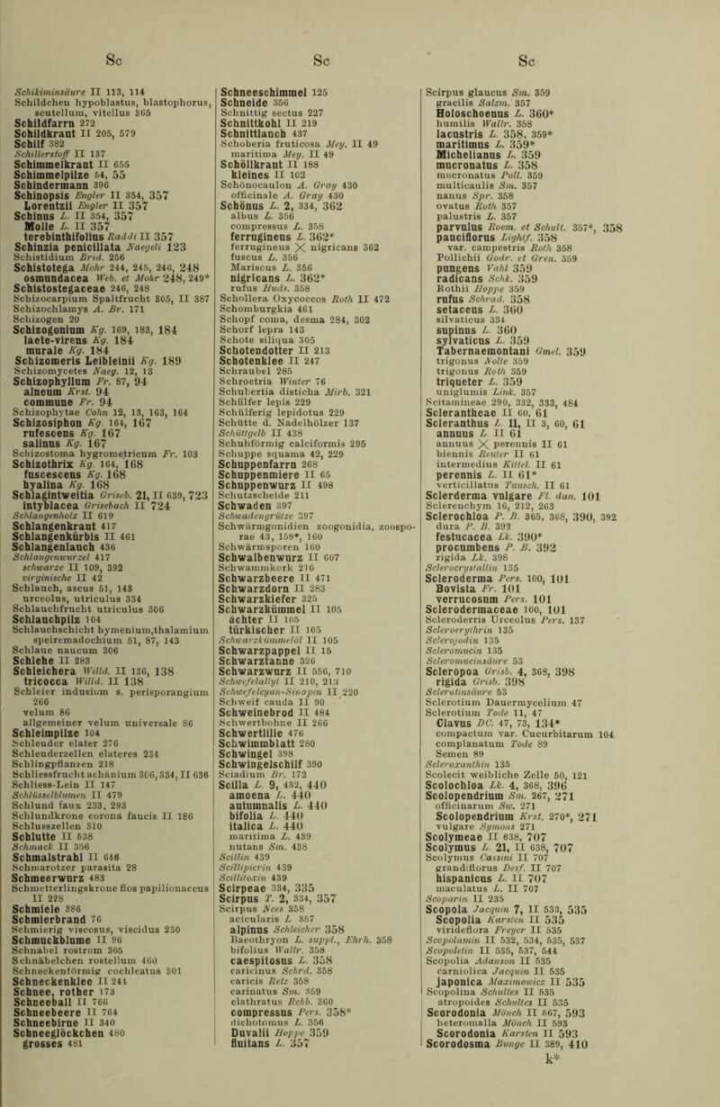 Schikiminsäure II 113, 114 Schildchen hypoblastus, blastophorus, scutellum, vitellus 365 Schildfarrn 272 Schildkraut II 205, 579 Schilf 382 Schillerstoß' II 137 Schimmelkraut II 655 Schimmelpilze 54, 55 Schindermann 396 Schinopsis Engler II 354, 357 Lorentzii Engler II 357 Schinus L. II 354, 357 Molle L. II 357 terebinthifolins Raddill 357 Schinzia penicillata Kaegeli 123 Schistidium Brid. 256 Schistotega Mohr 244, 245, 246, 218 osmnndacea Web. et Mohr 248, 249* Schistostegaceae 246, 248 Schizocarpium Spaltfrucht 305, II 387 Schizochlamys A. Br. 171 Schizogen 20 Schizogoninm Kg. 169, 183, 184 laete-virens Kg. 184 murale Kg. 184 Schizomeris Leibleinii Kg. 189 Schizomycetes Kaeg. 12, 13 Schizophyllum Fr. 87, 94 alneum Erst. 94 commune Fr. 94 Schizophytae Cohn 12, 13, 163, 164 Schizosiphon Kg. 164, 107 rufescens Kg. 167 saiinns Kg. 167 Schizostoma hygrome.tricum Fr. 103 Schizothrix Kg. 164, 168 fuscescens Kg. 168 hyalina Kg. 168 Schlagintweitia Griseb. 21, II 639, 723 intyblacea Grisebach II 724 Schlangenholz II 619 Schlangenkraut 417 Schlangenkürbis II 461 Schlangenlauch 436 Schlangenwurzel 417 schwarze II 109, 392 virginische II 42 Schlauch, ascus 51, 143 urceolus, utriculus 334 Schlauchfrucht utriculus 306 Schlauchpilz 104 Schlauchschicht hymenium,thalamium speiremadochium 61, 87, 143 Schlaue naucum 306 Schlehe II 283 Schleichera Willd. II 136, 138 tricocca Willd. II 138 Schleier indusium s. perisporangium 266 velum 86 allgemeiner Yelum universale 86 Schleimpilze 104 Schleuder elater 276 Schleuderzellen elateres 234 Schlingpflanzen 218 Schliessfruclit acliänium 306,334, II 636 Schliess-Lein II 147 Schlüsselblumen II 479 Schlund faux 233, 293 Schlundkrone corona faucis II 186 Schlueszellen 310 Schlutte 11 638 Schmack II 356 Schmalstrahl II 046 Schmarotzer parasita 28 Schmeerwurz 483 Schmetterlingskrone fios papilionaceus II 228 Schmiele 386 Scbmierbrand 76 Schmierig viscosus, viscidus 230 Schmuckblume II 96 Schnabel rostrum 305 Schnäbelchen rostellum 460 Schneckenförmig cochlcatus 301 Schneckenklee II 241 Schnee, rother 173 Schneeball II 766 Schneebeere II 764 Schneebirne H 340 Schneeglöckchen 4S0 grosses 48i Schneeschiminel 125 Schneide 366 Schnittig sectus 227 Schnittkohl II 219 Schnittlauch 437 Schoberia fruticosa Mey. II 49 maritima Mey. II 49 Schöllkraut II 188 kleines II 102 Schönocaulon A. Gray 430 officinale A. Gray 430 Schönus L. 2, 334, 362 albus L. 356 compressus L. 358 ferrnginens L. 362* ferrugineus X nigricans 362 fuscus L. 356 Mariscus L. 356 nigricans L. 362* rufus Muds. 358 Schollera Oxycoccos Roth II 472 Schomburgkia 461 Schopf corna, desma 284, 302 Schorf lepra 143 Schote siliqua 305 Schotendotter II 213 Schotenklee II 247 Scbraubel 285 Schroetria Winter 76 Schutertia disticha Mirb. 321 Schtilfer lepis 229 Schiilferjg lepidotus 229 Schütte d. Nadelhölzer 137 Schüttgelb II 438 Schuhförmig calciformis 295 Schuppe squaina 42, 229 Schuppenfarrn 268 Schnppenmiere II 65 Schnppenwnrz II 498 Schutzscheide 211 Schwaden 397 Schwadengrütze 397 Schwärmgonidien zoogonidia, zoospo- rae 43, 159*, 160 Schwärm sporen 160 Schwalbenwurz II 607 Schwammkork 216 Schwarzbeere II 471 Schwarzdorn II 283 Schwarzkiefer 325 Schwarzkümmel II 105 achter II 105 türkischer II 105 Schwarzkümmelöl II 105 Schwarzpappel II 15 Schwarztanne 326 Schwarzwurz II 556, 710 Schwefelallyl II 210, 213 Schwefelcyan-Sinapin II 220 Schweif cauda II 90 Schweinebrod II 484 Schwertbohne II 266 Schwertlilie 476 Schwimmblatt 280 Schwingel 398 Schwingelschilf 390 Sciadium Br. 172 Scilla L. 9, 432, 440 amoena L. 440 autumnalis L. 440 bifolia L. 440 italica L. 440 maritima L. 439 nutans Sm. 43S Scillin 439 Scillipicrin 439 Scillitoxin 439 Scirpeae 334, 335 Scirpus T. 2, 334, 357 Scirpus Kees 358 acicularis L 357 alpinus Schleicher 358 Baeothryon L. suppl., Ehrh. 358 bifolius Wallr. 358 caespitosus L. 358 caricinus Schrd. 358 caTicis Retz 358 carinatus Sm. 359 clathratus Rchb. 360 compressus Fers. 358* dicliotomus L. 356 Duvalii Moppe 359 I fluitans L. 357 Scirpus glaucus Sm. 359 gracilis Salzm. 357 Holoschoenus L. 360* liumilis Wallr. 358 lacustris L. 358, 359* maritimns L. 359* Michelianus L. 359 inucronatns L. 358 mucronatus Poll. 359 multicaulis Sm. 357 nanus Spr. 358 ovatus Roth 357 palustris L. 357 parvnlns Roem. et Schult. 357*, 358 pauciflorus Light/. 358 var. campestris Roth 358 Pollichii Godr. et Gren. 359 pnngens Vahl 359 radicans Schk. 359 Kothii Moppe 359 rnfus Schrad. 358 setacens L. 360 silvaticus 334 supinus L 360 sylvaticus L. 359 Tabernaeinontani Gmel. 359 trigonus Kalte 359 trigonus Roth 359 triqueter L. 359 uniglumis Link. 357 Scitamineae 290, 332, 333, 484 Sclerantheae II 60, 61 Scleranthus L. 11, II 3, 60, 61 annnus L. II 61 annuus X perennis II 61 biennis Reuter II 61 intermedius Kittel. II 61 perennis L. II 61* verticillatus Tausch. II 61 Sclerderma vulgare Fl. dan. 101 Sclerencbym 16, 212, 263 Sclerochlöa P. B. 365, 368, 390, 392 dura P. ß. 392 festucacea Lk. 390* procnmbens P. B. 392 rigida Lk. 398 S cler ocryst allin 135 Scleroderma Pers. 100, 101 Bovista Fr. 101 verrucosum Pers. 101 Sclerodermaceae 100, 101 Scleroderris Urceolus Pers. 137 Scleroerythrin 135 Sclerojodin 135 Scleromucin 135 Scleromucinsäure 53 Scleropoa Grisb. 4, 368, 398 rigida Grisb. 398 Sclerotinsäure 53 Sclerotium Dauermycelium 47 Sclerotium Tode 11, 47 Clavus DC. 47, 73, 134* compactum var. Cucurbitarum 104 complanatum Tode 89 Semen 89 Scleroxanthin 135 Scolecit weibliche Zelle 50, 121 Scolochloa Lk. 4, 368, 396 Scolopendriuin Sm. 267, 271 officinarum Sw. 271 Scolopendriuin Krst. 270*, 271 vulgare Syrnons 271 Scolymeae II 638, 707 Scolymus L 21, II 638, 707 Scolymus Cassini II 707 grandifiorus Des/. II 707 hispanicus L. II 707 maculatus L. II 707 Scoparin II 235 Scopoia Jacquin 7, II 533, 535 Scopolia Karsten II 535 virideflora Freyer II 535 Scopolamin II 532, 534, 635, 537 Scopoletin II 535, 537, 544 Scopolia Adanson II 635 carniolica Jacquin II 535 japonica Maximowicz II 535 Scopolina Schuttes II 535 atropoides Schuttes II 535 Scorodonia Mönch II 567, 593 lieteromalla Mönch II 593 Scorodonia Karsten II 593 Scorodosma Bunge II 389, 410 k*
