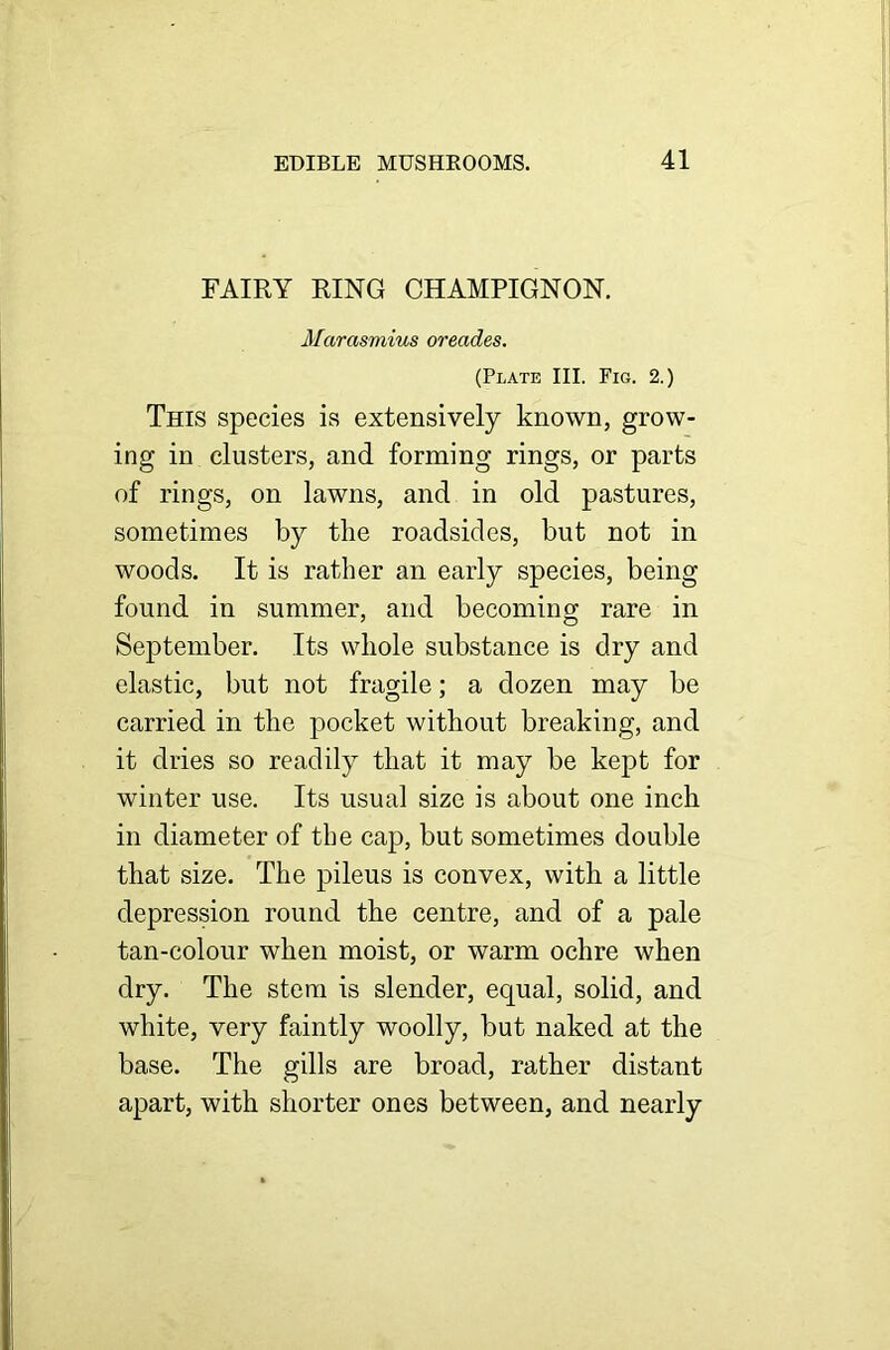 FAIRY RING CHAMPIGNON. Marcismius oreades. (Plate III. Fig. 2.) This species is extensively known, grow- ing in clusters, and forming rings, or parts of rings, on lawns, and in old pastures, sometimes by the roadsides, but not in woods. It is rather an early species, being found in summer, and becoming rare in September. Its whole substance is dry and elastic, but not fragile; a dozen may be carried in the pocket without breaking, and it dries so readily that it may be kept for winter use. Its usual size is about one inch in diameter of the cap, but sometimes double that size. The pileus is convex, with a little depression round the centre, and of a pale tan-colour when moist, or warm ochre when dry. The stem is slender, equal, solid, and white, very faintly woolly, but naked at the base. The gills are broad, rather distant apart, with shorter ones between, and nearly