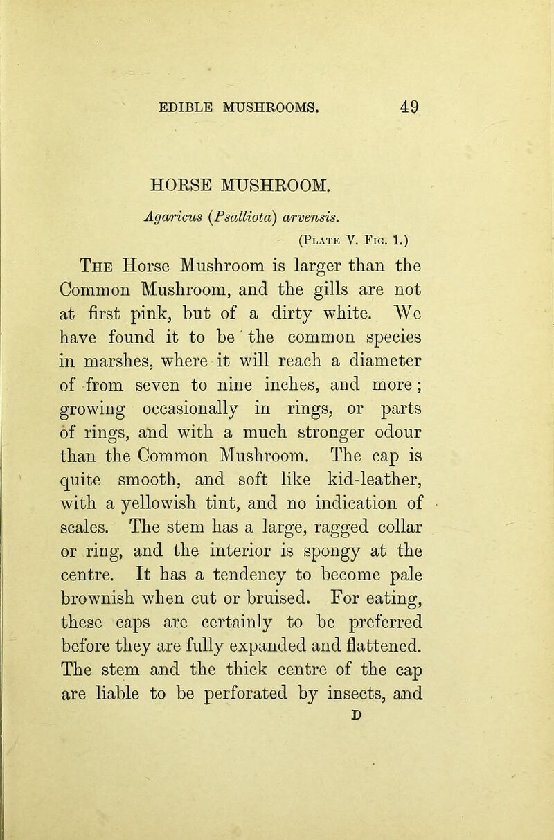 HORSE MUSHROOM. Agaricus (Psalliota) arvensis. (Plate V. Fig. 1.) The Horse Mushroom is larger than the Common Mushroom, and the gills are not at first pink, but of a dirty white. We have found it to be ' the common species in marshes, where it will reach a diameter of from seven to nine inches, and more; growing occasionally in rings, or parts of rings, and with a much stronger odour than the Common Mushroom. The cap is quite smooth, and soft like kid-leather, with a yellowish tint, and no indication of scales. The stem has a large, ragged collar or ring, and the interior is spongy at the centre. It has a tendency to become pale brownish when cut or bruised. For eating, these caps are certainly to be preferred before they are fully expanded and flattened. The stem and the thick centre of the cap are liable to be perforated by insects, and D