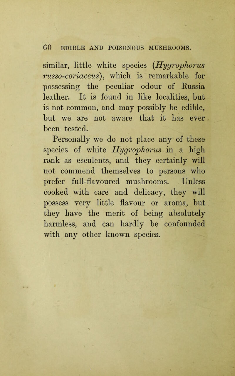 similar, little white species (Hygrophorus russo-coriaceus), which is remarkable for possessing the peculiar odour of Russia leather. It is found in like localities, but is not common, and may possibly be edible, but we are not aware that it has ever been tested. Personally we do not place any of these species of white Hygrophorus in a high rank as esculents, and they certainly will not commend themselves to persons who prefer full-flavoured mushrooms. Unless cooked with care and delicacy, they will possess very little flavour or aroma, but they have the merit of being absolutely harmless, and can hardly be confounded with any other known species.
