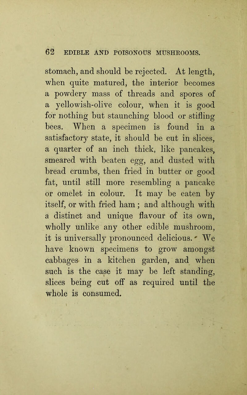 stomach, and should be rejected. At length, when quite matured, the interior becomes a powdery mass of threads and spores of a yellowish-olive colour, when it is good for nothing but staunching blood or stifling bees. When a specimen is found in a satisfactory state, it should be cut in slices, a quarter of an inch thick, like j>ancakes, smeared with beaten egg, and dusted with bread crumbs, then fried in butter or good fat, until still more resembling a pancake or omelet in colour. It may be eaten by itself, or with fried ham ; and although with a distinct and unique flavour of its own, wholly unlike any other edible mushroom, it is universally pronounced delicious.' We have known specimens to grow amongst cabbages in a kitchen garden, and when such is the case it may be left standing, slices being cut off as required until the whole is consumed.