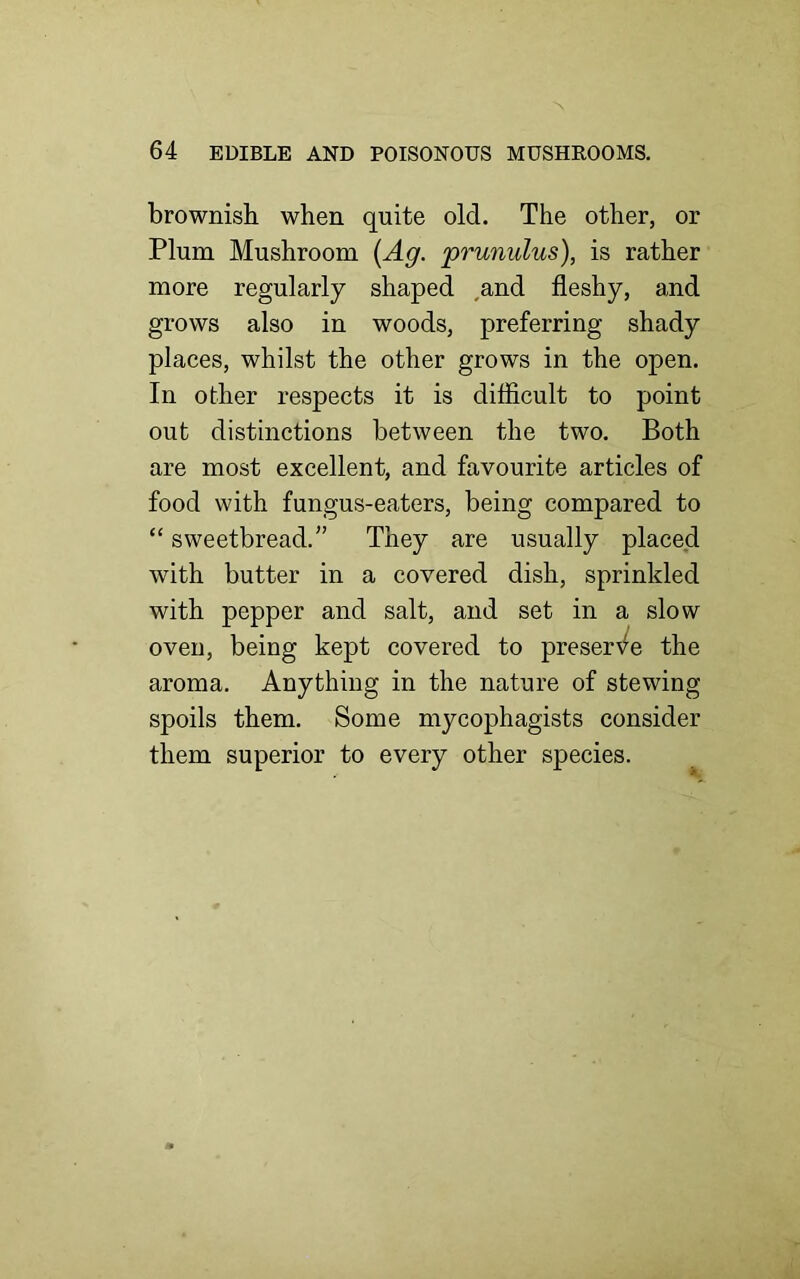 brownish when quite old. The other, or Plum Mushroom (Ag. prunulus), is rather more regularly shaped and fleshy, and grows also in woods, preferring shady places, whilst the other grows in the open. In other respects it is difficult to point out distinctions between the two. Both are most excellent, and favourite articles of food with fungus-eaters, being compared to “ sweetbread.” They are usually placed with butter in a covered dish, sprinkled with pepper and salt, and set in a slow oven, being kept covered to preserve the aroma. Anything in the nature of stewing spoils them. Some mycophagists consider them superior to every other species.