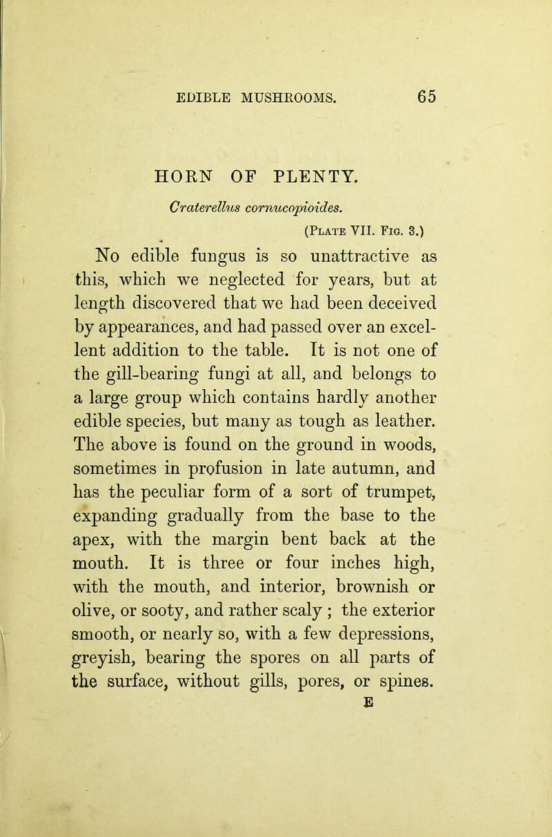 HORN OF PLENTY. Craterellus cornucojrioides. (Plate YII. Fig. 3.) No edible fungus is so unattractive as this, which we neglected for years, but at length discovered that we had been deceived by appearances, and had passed over an excel- lent addition to the table. It is not one of the gill-bearing fungi at all, and belongs to a large group which contains hardly another edible species, but many as tough as leather. The above is found on the ground in woods, sometimes in profusion in late autumn, and has the peculiar form of a sort of trumpet, expanding gradually from the base to the apex, with the margin bent back at the mouth. It is three or four inches high, with the mouth, and interior, brownish or olive, or sooty, and rather scaly ; the exterior smooth, or nearly so, with a few depressions, greyish, bearing the spores on all parts of the surface, without gills, pores, or spines. E