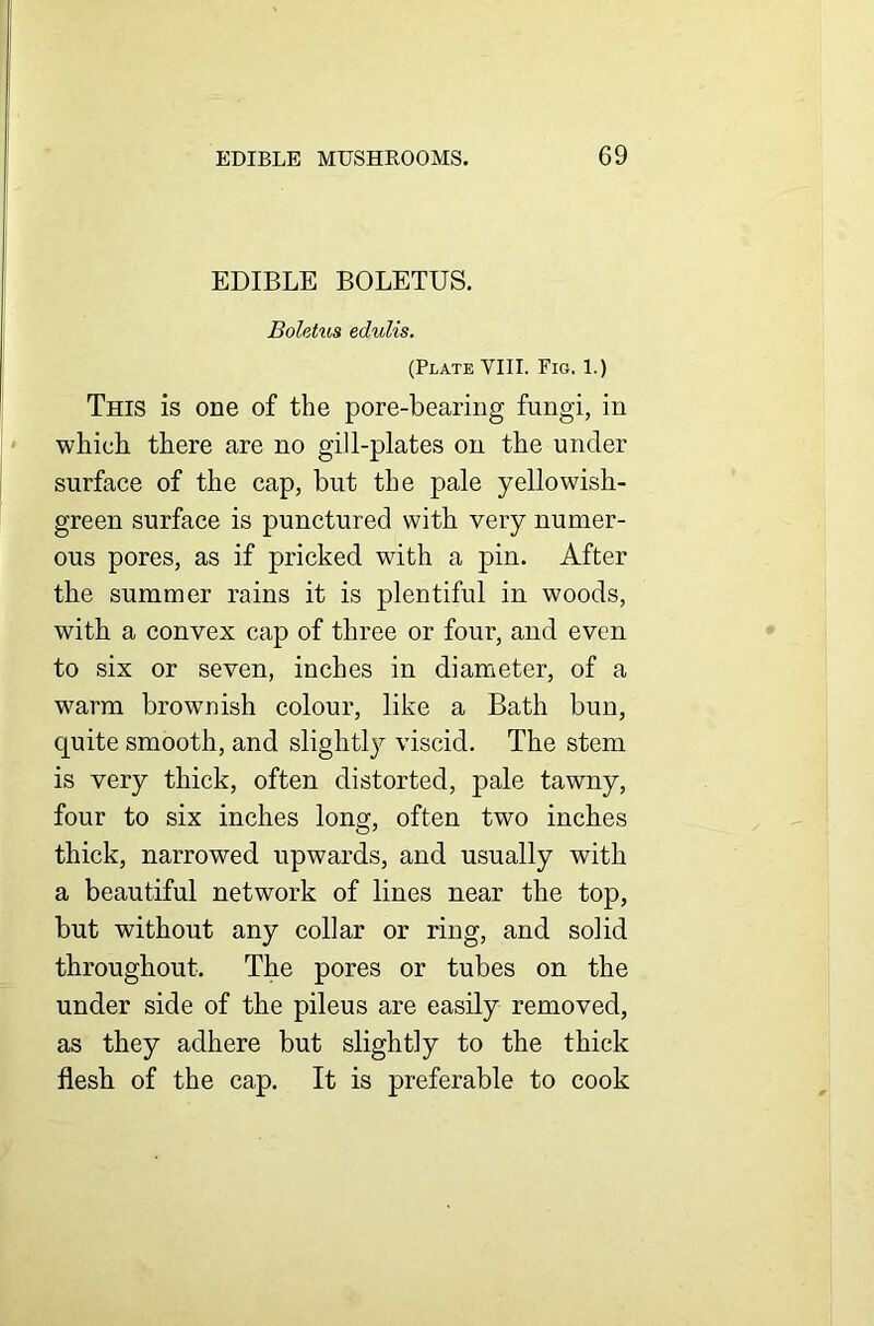 EDIBLE BOLETUS. Boletus edulis. (Plate VIII. Fig, 1.) This is one of the pore-bearing fungi, in which there are no gill-plates on the under surface of the cap, but the pale yellowish- green surface is punctured with very numer- ous pores, as if pricked with a pin. After the summer rains it is plentiful in woods, with a convex cap of three or four, and even to six or seven, inches in diameter, of a warm browmish colour, like a Bath bun, quite smooth, and slightly viscid. The stem is very thick, often distorted, pale tawny, four to six inches long, often two inches thick, narrowed upwards, and usually with a beautiful network of lines near the top, but without any collar or ring, and solid throughout. The pores or tubes on the under side of the pileus are easily removed, as they adhere but slightly to the thick flesh of the cap. It is preferable to cook