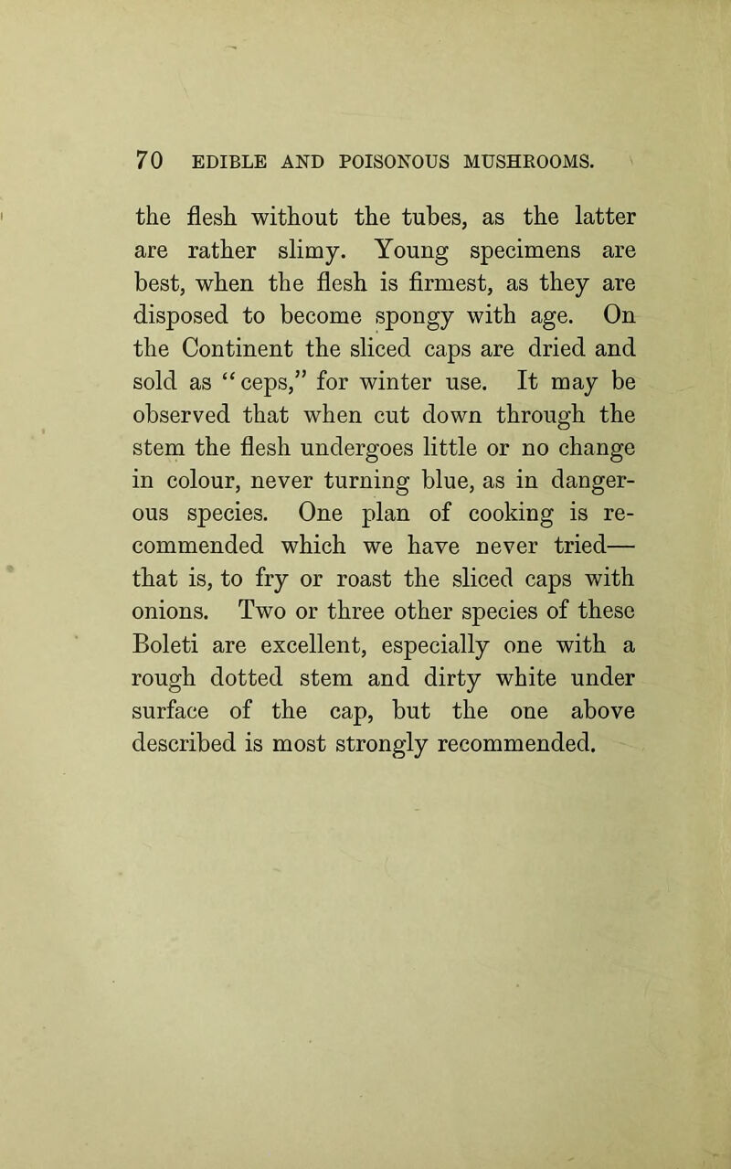 the flesh without the tubes, as the latter are rather slimy. Young specimens are best, when the flesh is firmest, as they are disposed to become spongy with age. On the Continent the sliced caps are dried and sold as “ ceps,” for winter use. It may be observed that when cut down through the stem the flesh undergoes little or no change in colour, never turning blue, as in danger- ous species. One plan of cooking is re- commended which we have never tried— that is, to fry or roast the sliced caps with onions. Two or three other species of these Boleti are excellent, especially one with a rough dotted stem and dirty white under surface of the cap, but the one above described is most strongly recommended.