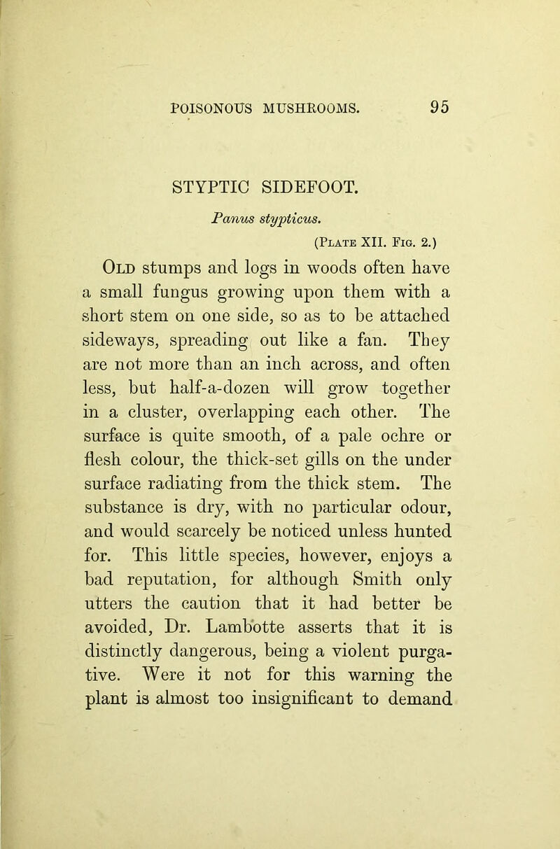 STYPTIC SIDEFOOT. Panus stypticus. (Plate XII. Pig. 2.) Old stumps and logs in woods often have a small fungus growing upon them with a short stem on one side, so as to be attached sideways, spreading out like a fan. They are not more than an inch across, and often less, but half-a-dozen will grow together in a cluster, overlapping each other. The surface is quite smooth, of a pale ochre or flesh colour, the thick-set gills on the under surface radiating from the thick stem. The substance is dry, with no particular odour, and would scarcely be noticed unless hunted for. This little species, however, enjoys a bad reputation, for although Smith only utters the caution that it had better be avoided. Dr. Lambotte asserts that it is distinctly dangerous, being a violent purga- tive. Were it not for this warning the plant is almost too insignificant to demand