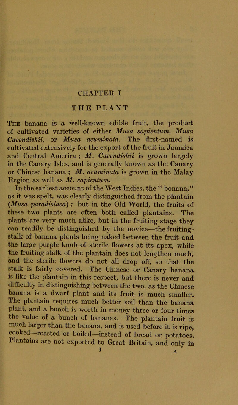 THE PLANT The banana is a well-known edible fruit, the product of cultivated varieties of either Musa sapientum, Musa Cavendishii, or Musa acuminata. The first-named is cultivated extensively for the export of the fruit in Jamaica and Central America ; M. Cavendishii is grown largely in the Canary Isles, and is generally known as the Canary or Chinese banana ; M. acuminata is grown in the Malay Region as well as M. sapientum. In the earliest account of the West Indies, the “ bonana,” as it was spelt, was clearly distinguished from the plantain {Musa paradisiaca); but in the Old World, the fruits of these two plants are often both called plantains. The plants are very much alike, but in the fruiting stage they can readily be distinguished by the novice—^the fruiting- stalk of banana plants being naked between the fruit and the large purple knob of sterile flowers at its apex, while the fruiting-stalk of the plantain does not lengthen much, and the sterile flowers do not all drop off, so that the stalk is fairly covered. The Chinese or Canary banana is like the plantain in this respect, but there is never and difficulty in distinguishing between the two, as the Chinese banana is a dwarf plant and its fruit is much smaller. The plantain requires much better soil than the banana plant, and a bunch is worth in money three or four times the value of a bunch of bananas. The plantain fruit is much larger than the banana, and is used before it is ripe, cooked ^roasted or boiled—instead of bread or potatoes. Plantains are not exported to Great Britain, and only in 1 A
