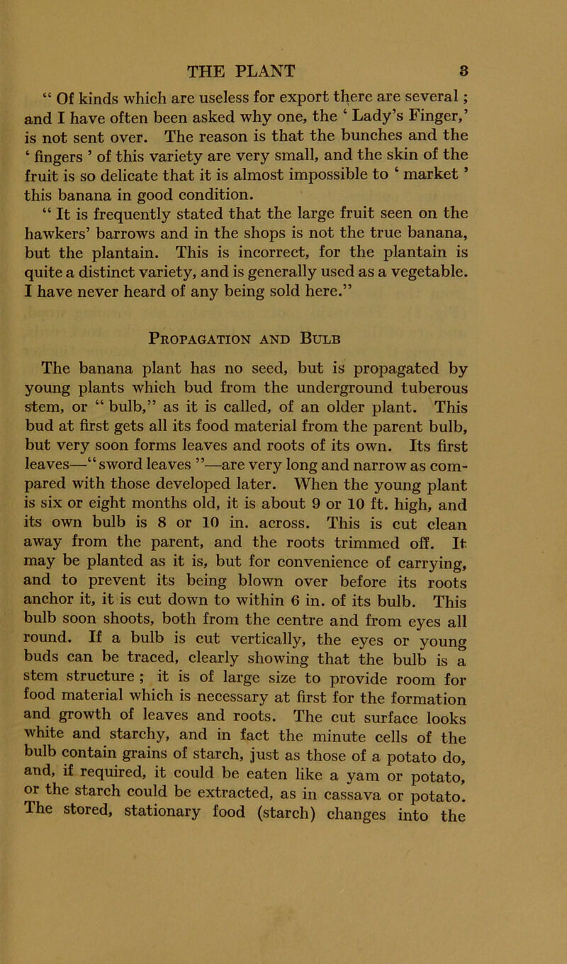 “ Of kinds which are useless for export there are several; and I have often been asked why one, the ‘ Lady’s Finger,’ is not sent over. The reason is that the bunches and the ‘ fingers ’ of this variety are very small, and the skin of the fruit is so delicate that it is almost impossible to ‘ market ’ this banana in good condition. “ It is frequently stated that the large fruit seen on the hawkers’ barrows and in the shops is not the true banana, but the plantain. This is incorreet, for the plantain is quite a distinet variety, and is generally used as a vegetable. I have never heard of any being sold here.” Propagation and Bulb The banana plant has no seed, but is propagated by young plants whieh bud from the underground tuberous stem, or “ bulb,” as it is called, of an older plant. This bud at first gets all its food material from the parent bulb, but very soon forms leaves and roots of its own. Its first leaves—“sword leaves ”—are very long and narrow as com- pared with those developed later. When the young plant is six or eight months old, it is about 9 or 10 ft. high, and its own bulb is 8 or 10 in. across. This is cut clean away from the parent, and the roots trimmed off. It may be planted as it is, but for convenience of carrying, and to prevent its being blown over before its roots anehor it, it is cut down to within 6 in. of its bulb. This bulb soon shoots, both from the centre and from eyes all round. If a bulb is cut vertically, the eyes or young buds can be traeed, clearly showing that the bulb is a stem structure ; it is of large size to provide room for food material which is necessary at first for the formation and growth of leaves and roots. The cut surface looks white and starehy, and in fact the minute cells of the bulb contain grains of starch, just as those of a potato do, and, if required, it could be eaten like a yam or potato, or the starch could be extracted, as in cassava or potato. The stored, stationary food (starch) changes into the