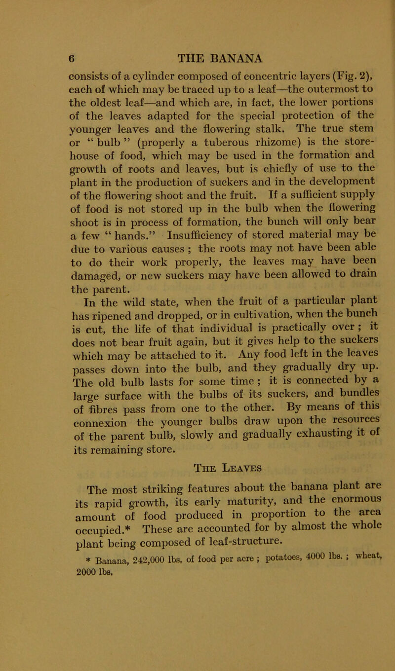 consists of a cylinder composed of coneentric layers (Fig- 2), eaeh of whieh may be traeed up to a leaf—^the outermost to the oldest leaf—and whieh are, in faet, the lower portions of the leaves adapted for the speeial jDrotection of the younger leaves and the flowering stalk. The true stem or “ bulb ” (properly a tuberous rhizome) is the store- house of food, whieh may be used in the formation and growth of roots and leaves, but is chiefly of use to the plant in the production of suckers and in the development of the flowering shoot and the fruit. If a sufficient supply of food is not stored up in the bulb when the flowering shoot is in process of formation, the bunch will only bear a few “ hands.” Insufficiency of stored material may be due to various causes ; the roots may not have been able to do their work properly, the leaves may have been damaged, or new suckers may have been allowed to drain the parent. In the wild state, when the fruit of a particular plant has ripened and dropped, or in cultivation, when the bunch is cut, the life of that individual is practically over ; it does not bear fruit again, but it gives help to the suckers which may be attached to it. Any food left in the leaves passes down into the bulb, and they gi’adually dry up. The old bulb lasts for some time; it is connected by a large surface with the bulbs of its suckers, and bundles of fibres pass from one to the other. By means of this connexion the younger bulbs draw upon the resources of the parent bulb, slowly and gradually exhausting it of its remaining store. The Leaves The most striking features about the banana plant are its rapid growth, its early maturity, and the enormous amount of food produced in proportion to the area occupied.* These are accounted for by almost the whole plant being composed of leaf-structiu'e. * Banana, 242,000 lbs, of food per acre ; potatoes, 4000 lbs. ; wheat, 2000 lbs.