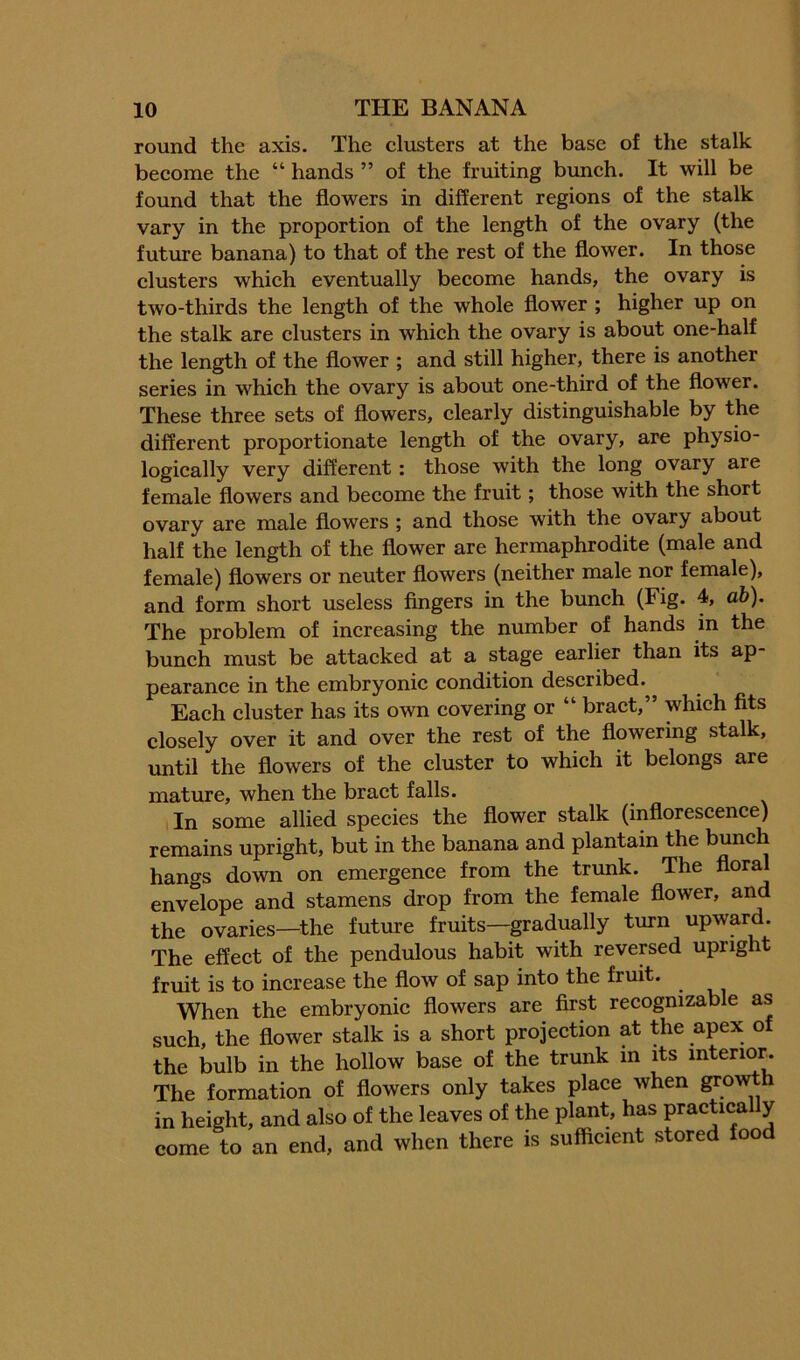 round the axis. The clusters at the base of the stalk become the “ hands ” of the fruiting bunch. It will be found that the flowers in different regions of the stalk vary in the proportion of the length of the ovary (the future banana) to that of the rest of the flower. In those clusters which eventually become hands, the ovary is two-thirds the length of the whole flower ; higher up on the stalk are clusters in which the ovary is about one-half the length of the flower ; and still higher, there is another series in which the ovary is about one-third of the flower. These three sets of flowers, clearly distinguishable by the different proportionate length of the ovary, are physio- logically very different; those with the long ovary are female flowers and become the fruit; those with the short ovary are male flowers ; and those with the ovary about half the length of the flower are hermaphrodite (male and female) flowers or neuter flowers (neither male nor female), and form short useless fingers in the bunch (Fig. 4, ab). The problem of increasing the number of hands in the bunch must be attacked at a stage earlier than its ap- pearance in the embryonic condition described. Each cluster has its own covering or “ bract,” which fits closely over it and over the rest of the flowering stalk, until the flowers of the cluster to which it belongs are mature, when the bract falls. In some allied species the flower stalk (inflorescence) remains upright, but in the banana and plantain the bunch hangs down on emergence from the trunk. The floral envelope and stamens drop from the female flower, and the ovaries—the future fruits—gradually turn upward. The effect of the pendulous habit with reveped upright fruit is to increase the flow of sap into the fruit. When the embryonic flowers are first recognizable as such, the flower stalk is a short projection at the apex of the bulb in the hollow base of the trunk in its interior. The formation of flowers only takes place when growt in height, and also of the leaves of the plant, has practical y come to an end, and when there is sufficient stored foo