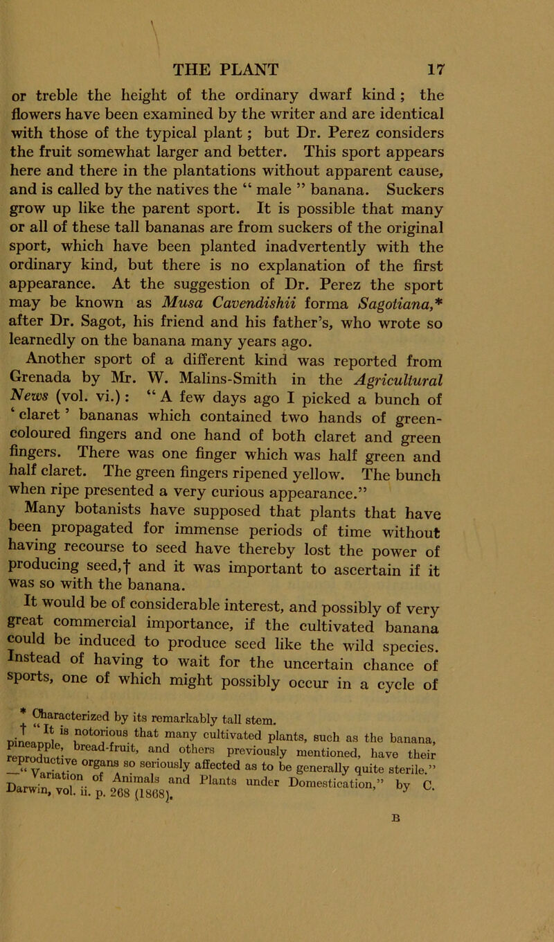 \ \ or treble the height of the ordinary dwarf kind ; the flowers have been examined by the writer and are identical with those of the typical plant; but Dr. Perez considers the fruit somewhat larger and better. This sport appears here and there in the plantations without apparent cause, and is called by the natives the “ male ” banana. Suckers grow up like the parent sport. It is possible that many or all of these tall bananas are from suckers of the original sport, which have been planted inadvertently with the ordinary kind, but there is no explanation of the first appearance. At the suggestion of Dr. Perez the sport may be known as Musa Cavendishii forma Sagotiana,* after Dr. Sagot, his friend and his father’s, who wrote so learnedly on the banana many years ago. Another sport of a different kind was reported from Grenada by Mr. W. Malins-Smith in the Agricultural News (vol. vi.): “ A few days ago I picked a bunch of claret bananas which contained two hands of green- coloured fingers and one hand of both claret and green fingers. There was one finger which was half green and half claret. The green fingers ripened yellow. The bunch when ripe presented a very curious appearance.” Many botanists have supposed that plants that have been propagated for immense periods of time without having recourse to seed have thereby lost the power of producing seed,! and it was important to ascertain if it was so with the banana. It would be of considerable interest, and possibly of very great conimercial importance, if the cultivated banana could be induced to produce seed like the wild species, nstead of having to wait for the uncertain chance of sports, one of which might possibly occur in a cycle of * ^aracterized by its remarkably tall stem. DiiLrnnt*^ notorious that many cultivated plants, such as the banana. ^nd others previously mentioned, have their repr,xiuctive organs so seriously affected as to be generaUy quite sterile.” Darw T, ^ ° Animals and Plants under Domestication,” by C Darwin, vol. n. p. 268 (1868). ^ B