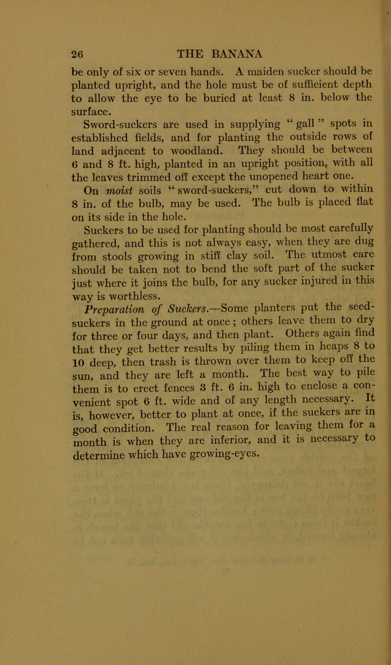 be only of six or seven hands. A maiden sucker should be planted upright, and the hole must be of sufficient depth to allow the eye to be buried at least 8 in. below the surface. Sword-suckers are used in supplying “ gall ” spots in established fields, and for planting the outside rows of land adjacent to woodland. They should be between 6 and 8 ft. high, planted in an upright position, with all the leaves trimmed off except the unopened heart one. On moist soils “ sword-suckers,” cut down to within 8 in. of the bulb, may be used. The bulb is placed flat on its side in the hole. Suckers to be used for planting should be most carefully gathered, and this is not always easy, when they are dug from stools growing in stiff clay soil. The utmost care should be taken not to bend the soft part of the sucker just where it joins the bulb, for any sucker injured in this way is worthless. Preparation of Suckers.—Some planters put the seed- suckers in the ground at once; others leave them to dry for three or four days, and then plant. Others again find that they get better results by piling them in heaps 8 to 10 deep, then trash is thrown over them to keep off the sun, and they are left a month. The best way to pile them is to erect fences 3 ft. 6 in. high to enclose a con- venient spot 6 ft. wide and of any length necessary. It is, however, better to plant at once, if the suckers are in good condition. The real reason for leaving them for a month is when they are inferior, and it is necessary to determine which have growing-eyes.