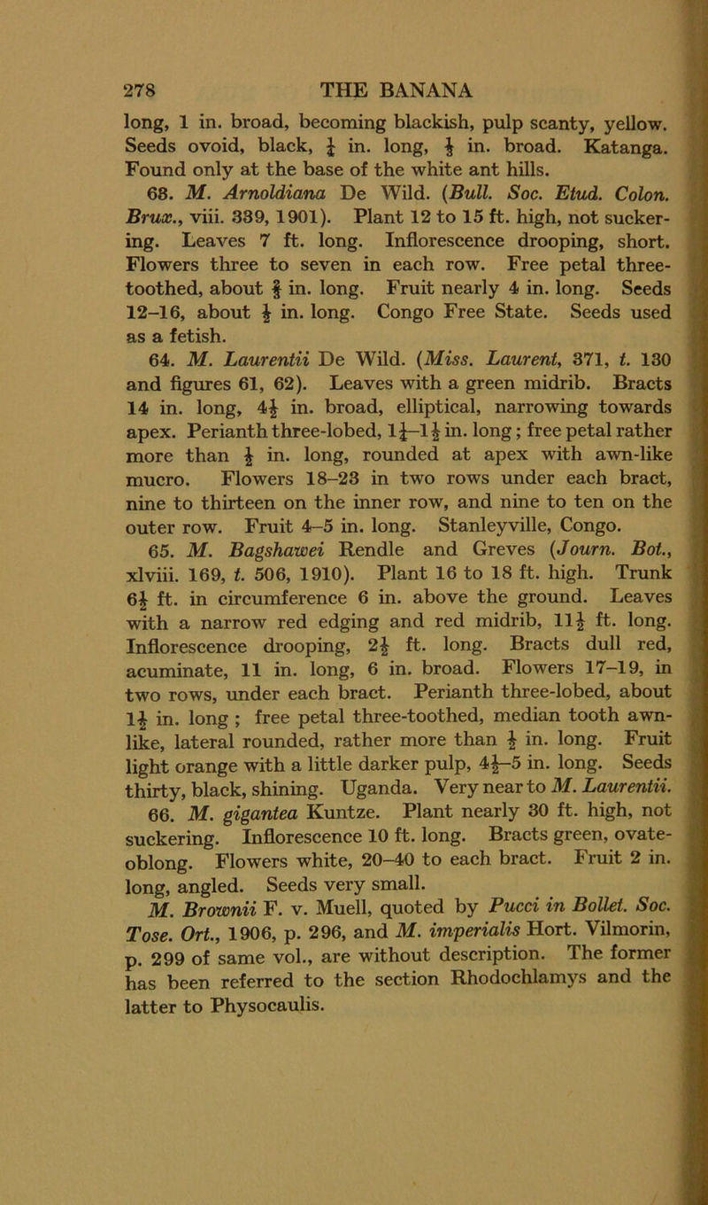 long, 1 in. broad, becoming blackish, pulp scanty, yellow. Seeds ovoid, black, J in. long, J in. broad. Katanga. Found only at the base of the white ant hills. 68. M. Arnoldiana De Wild. {Bull. Soc. Etud. Colon. Brux., viii. 339,1901). Plant 12 to 15 ft. high, not sucker- ing. Leaves 7 ft. long. Inflorescence drooping, short. Flowers three to seven in each row. Free petal three- toothed, about ^ in. long. Fruit nearly 4 in. long. Seeds 12-16, about ^ in. long. Congo Free State. Seeds used as a fetish. 64. M. Laurentii De Wild. {Miss. Laurent, 371, t. 130 and figures 61, 62). Leaves with a green midrib. Bracts 14 in. long, 4^ in. broad, elliptical, narrowing towards apex. Perianth three-lobed, 1J-1^ in. long; free petal rather more than \ in. long, rounded at apex with awn-like mucro. Flowers 18-23 in two rows under each bract, nine to thirteen on the inner row, and nine to ten on the outer row. Fruit 4-5 in. long. Stanleyville, Congo. 65. M. Bagshawei Rendle and Greves {Journ. Bot, xlviii. 169, t. 506, 1910). Plant 16 to 18 ft. high. Trunk 6^ ft. in circumference 6 in. above the ground. Leaves with a narrow red edging and red midrib, 11^ ft. long. Inflorescence drooping, 2| ft. long. Bracts dull red, acuminate, 11 in. long, 6 in. broad. Flowers 17-19, in two rows, under each bract. Perianth three-lobed, about 1^ in. long ; free petal three-toothed, median tooth awn- like, lateral rounded, rather more than | in. long. Fruit light orange with a little darker pulp, 4|-5 in. long. Seeds thirty, black, shining. Uganda. Very near to M. Laurentii. 66. M. gigantea Kuntze. Plant nearly 30 ft. high, not suckering. Inflorescence 10 ft. long. Bracts green, ovate- oblong. Flowers white, 20-40 to each bract. Fruit 2 in. long, angled. Seeds very small. M. Brownii F. v. Muell, quoted by Pucci in Bollet. Soc. Tose. Ort, 1906, p. 296, and M. imperialis Hort. Vilmorin, p. 299 of same vol., are without description. The former has been referred to the section Rhodochlamys and the latter to Physocaulis.