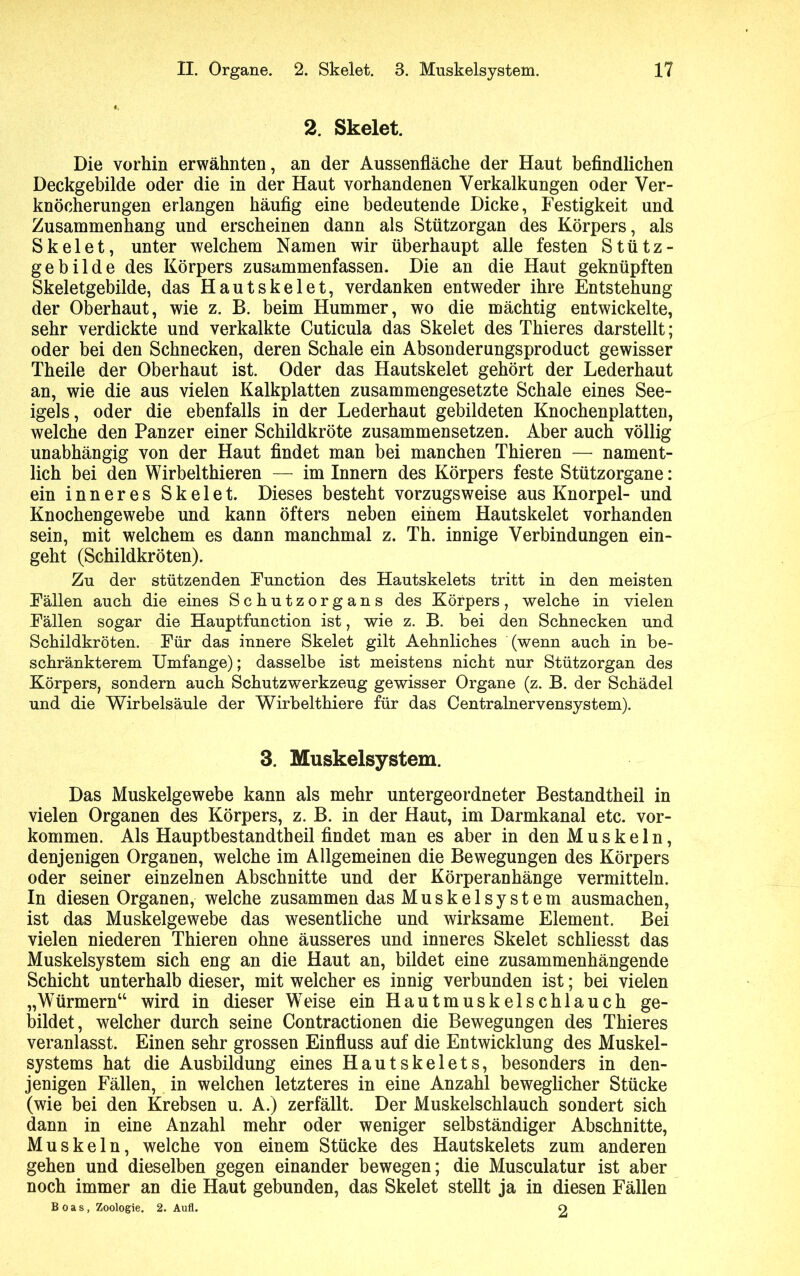 2. Skelet. Die vorhin erwähnten, an der Aussenfläche der Haut befindlichen Deckgebilde oder die in der Haut vorhandenen Verkalkungen oder Ver- knöcherungen erlangen häufig eine bedeutende Dicke, Festigkeit und Zusammenhang und erscheinen dann als Stützorgan des Körpers, als Skelet, unter welchem Namen wir überhaupt alle festen Stütz- ge bilde des Körpers zusammenfassen. Die an die Haut geknüpften Skeletgebilde, das Hautskelet, verdanken entweder ihre Entstehung der Oberhaut, wie z. B. beim Hummer, wo die mächtig entwickelte, sehr verdickte und verkalkte Cuticula das Skelet des Thieres darstellt; oder bei den Schnecken, deren Schale ein Absonderungsproduct gewisser Theile der Oberhaut ist. Oder das Hautskelet gehört der Lederhaut an, wie die aus vielen Kalkplatten zusammengesetzte Schale eines See- igels, oder die ebenfalls in der Lederhaut gebildeten Knochenplatten, welche den Panzer einer Schildkröte zusammensetzen. Aber auch völlig unabhängig von der Haut findet man bei manchen Thieren — nament- lich bei den Wirbelthieren — im Innern des Körpers feste Stützorgane: ein inneres Skelet. Dieses besteht vorzugsweise aus Knorpel- und Knochengewebe und kann öfters neben einem Hautskelet vorhanden sein, mit welchem es dann manchmal z. Th. innige Verbindungen ein- geht (Schildkröten). Zu der stützenden Function des Hautskelets tritt in den meisten Fällen auch die eines Schutzorgans des Körpers, welche in vielen Fällen sogar die Hauptfunction ist, wie z. B. bei den Schnecken und Schildkröten. Für das innere Skelet gilt Aehnliches (wenn auch in be- schränkterem Umfange); dasselbe ist meistens nicht nur Stützorgan des Körpers, sondern auch Schutzwerkzeug gewisser Organe (z. B. der Schädel und die Wirbelsäule der Wirbelthiere für das Oentralnervensystem). 3. Muskelsystem. Das Muskelgewebe kann als mehr untergeordneter Bestandtheil in vielen Organen des Körpers, z. B. in der Haut, im Darmkanal etc. Vor- kommen. Als Hauptbestandtheil findet man es aber in den Muskeln, denjenigen Organen, welche im Allgemeinen die Bewegungen des Körpers oder seiner einzelnen Abschnitte und der Körperanhänge vermitteln. In diesen Organen, welche zusammen das Muskelsystem ausmachen, ist das Muskelgewebe das wesentliche und wirksame Element. Bei vielen niederen Thieren ohne äusseres und inneres Skelet schliesst das Muskelsystem sich eng an die Haut an, bildet eine zusammenhängende Schicht unterhalb dieser, mit welcher es innig verbunden ist; bei vielen „Würmern“ wird in dieser Weise ein Hautmuskelschlauch ge- bildet, welcher durch seine Contractionen die Bewegungen des Thieres veranlasst. Einen sehr grossen Einfluss auf die Entwicklung des Muskel- systems hat die Ausbildung eines Hautskelets, besonders in den- jenigen Fällen, in welchen letzteres in eine Anzahl beweglicher Stücke (wie bei den Krebsen u. A.) zerfällt. Der Muskelschlauch sondert sich dann in eine Anzahl mehr oder weniger selbständiger Abschnitte, Muskeln, welche von einem Stücke des Hautskelets zum anderen gehen und dieselben gegen einander bewegen; die Musculatur ist aber noch immer an die Haut gebunden, das Skelet stellt ja in diesen Fällen Boas, Zoologie. 2. Aufl. o