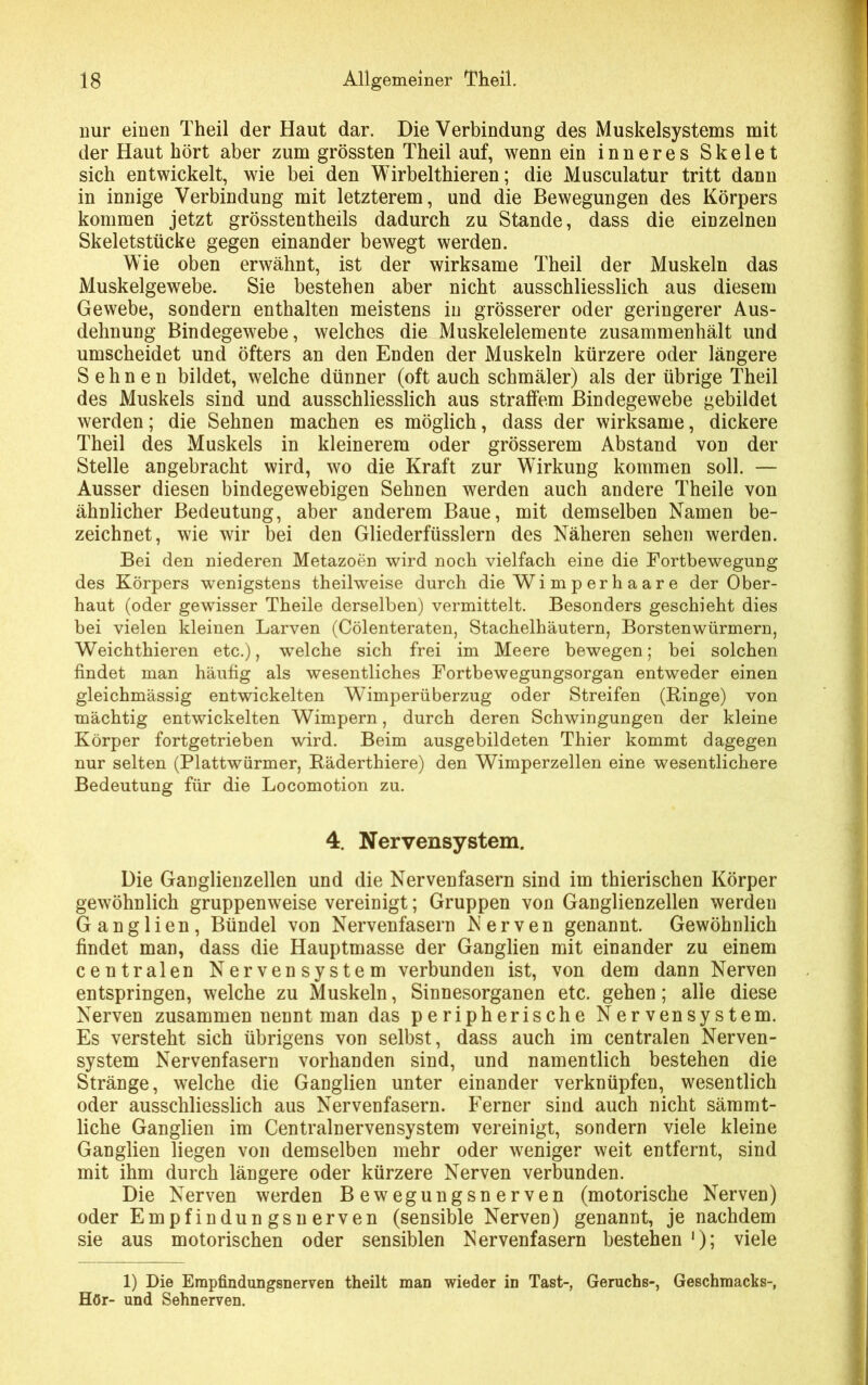 nur einen Theil der Haut dar. Die Verbindung des Muskelsystems mit der Haut hört aber zum grössten Theil auf, wenn ein inneres Skelet sich entwickelt, wie bei den Wirbelthieren; die Musculatur tritt dann in innige Verbindung mit letzterem, und die Bewegungen des Körpers kommen jetzt grösstentheils dadurch zu Stande, dass die einzelnen Skeletstücke gegen einander bewegt werden. Wie oben erwähnt, ist der wirksame Theil der Muskeln das Muskelgewebe. Sie bestehen aber nicht ausschliesslich aus diesem Gewebe, sondern enthalten meistens in grösserer oder geringerer Aus- dehnung Bindegewebe, welches die Muskelelemente zusammenhält und umscheidet und öfters an den Enden der Muskeln kürzere oder längere Sehnen bildet, welche dünner (oft auch schmäler) als der übrige Theil des Muskels sind und ausschliesslich aus straffem Bindegewebe gebildet werden; die Sehnen machen es möglich, dass der wirksame, dickere Theil des Muskels in kleinerem oder grösserem Abstand von der Stelle angebracht wird, wo die Kraft zur Wirkung kommen soll. — Ausser diesen bindegewebigen Sehnen werden auch andere Theile von ähnlicher Bedeutung, aber anderem Baue, mit demselben Namen be- zeichnet, wie wir bei den Gliederfüsslern des Näheren sehen werden. Bei den niederen Metazoen wird noch vielfach eine die Fortbewegung des Körpers wenigstens theilweise durch die Wimperhaare der Ober- haut (oder gewisser Theile derselben) vermittelt. Besonders geschieht dies bei vielen kleinen Larven (Cölenteraten, Stachelhäutern, Borstenwürmern, Weichthieren etc.), welche sich frei im Meere bewegen; bei solchen findet man häufig als wesentliches Fortbewegungsorgan entweder einen gleichmässig entwickelten Wimperüberzug oder Streifen (Ringe) von mächtig entwickelten Wimpern, durch deren Schwingungen der kleine Körper fortgetrieben wird. Beim ausgebildeten Thier kommt dagegen nur selten (Plattwärmer, Räderthiere) den Wimperzellen eine wesentlichere Bedeutung für die Locomotion zu. 4. Nervensystem. Die Ganglienzellen und die Nervenfasern sind im thierischen Körper gewöhnlich gruppenweise vereinigt; Gruppen von Ganglienzellen werdeu Ganglien, Bündel von Nervenfasern Nerven genannt. Gewöhnlich findet man, dass die Hauptmasse der Ganglien mit einander zu einem centralen Nervensystem verbunden ist, von dem dann Nerven entspringen, welche zu Muskeln, Sinnesorganen etc. gehen; alle diese Nerven zusammen nennt man das peripherische Nervensystem. Es versteht sich übrigens von selbst, dass auch im centralen Nerven- system Nervenfasern vorhanden sind, und namentlich bestehen die Stränge, welche die Ganglien unter einander verknüpfen, wesentlich oder ausschliesslich aus Nervenfasern. Ferner sind auch nicht särnrnt- liche Ganglien im Centralnervensystem vereinigt, sondern viele kleine Ganglien liegen von demselben mehr oder weniger weit entfernt, sind mit ihm durch längere oder kürzere Nerven verbunden. Die Nerven werden Bewegungsnerven (motorische Nerven) oder Empfindungsnerven (sensible Nerven) genannt, je nachdem sie aus motorischen oder sensiblen Nervenfasern bestehen *); viele 1) Die Erapfindungsnerven theilt man wieder in Tast-, Geruchs-, Geschmacks-, Hör- und Sehnerven.