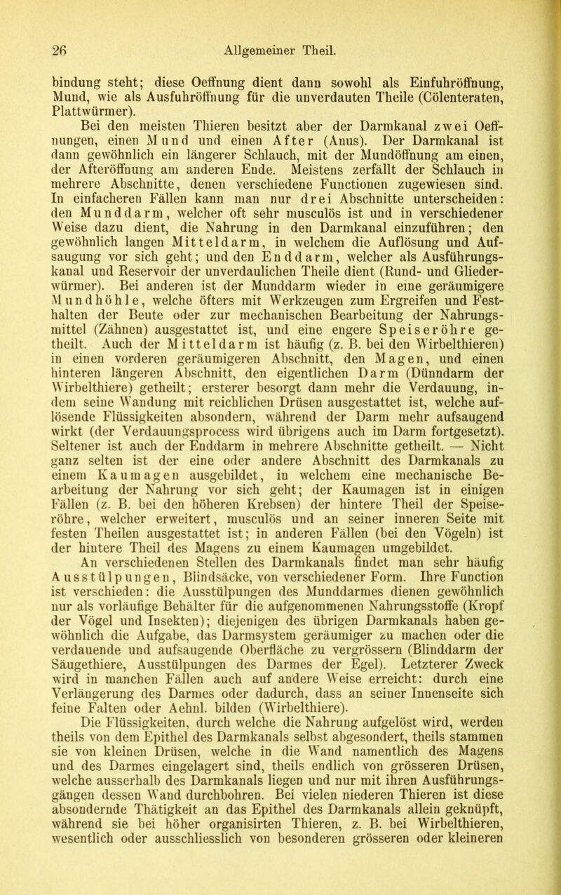 bindung steht; diese Oeffnung dient dann sowohl als Einfuhröffnung, Mund, wie als Ausfuhröffnung für die unverdauten Theile (Cölenteraten, Plattwürmer). Bei den meisten Thieren besitzt aber der Darmkanal zwei Oeff- nungen, einen Mund und einen After (Anus). Der Darmkanal ist dann gewöhnlich ein längerer Schlauch, mit der Mundöffnung am einen, der Afteröffnung am anderen Ende. Meistens zerfällt der Schlauch in mehrere Abschnitte, denen verschiedene Functionen zugewiesen sind. In einfacheren Fällen kann man nur drei Abschnitte unterscheiden: den Munddarm, welcher oft sehr musculös ist und in verschiedener Weise dazu dient, die Nahrung in den Darmkanal einzuführen; den gewöhnlich langen Mitteldarm, in welchem die Auflösung und Auf- saugung vor sich geht; und den Enddarm, welcher als Ausführungs- kanal und Reservoir der unverdaulichen Theile dient (Rund- und Glieder- würmer). Bei anderen ist der Munddarm wieder in eine geräumigere Mundhöhle, welche öfters mit Werkzeugen zum Ergreifen und Fest- halten der Beute oder zur mechanischen Bearbeitung der Nahrungs- mittel (Zähnen) ausgestattet ist, und eine engere Speiseröhre ge- theilt, Auch der Mitteldarm ist häufig (z. B. bei den Wirbel thieren) in einen vorderen geräumigeren Abschnitt, den Magen, und einen hinteren längeren Abschnitt, den eigentlichen Darm (Dünndarm der Wirbelthiere) getheilt; ersterer besorgt dann mehr die Verdauung, in- dem seine Wandung mit reichlichen Drüsen ausgestattet ist, welche auf- lösende Flüssigkeiten absondern, während der Darm mehr aufsaugend wirkt (der Verdauungsprocess wird übrigens auch im Darm fortgesetzt). Seltener ist auch der Enddarm in mehrere Abschnitte getheilt. — Nicht ganz selten ist der eine oder andere Abschnitt des Darmkanals zu einem Kaumagen ausgebildet, in welchem eine mechanische Be- arbeitung der Nahrung vor sich geht; der Kaumagen ist in einigen Fällen (z. B. bei den höheren Krebsen) der hintere Theil der Speise- röhre, welcher erweitert, musculös und an seiner inneren Seite mit festen Theilen ausgestattet ist; in anderen Fällen (bei den Vögeln) ist der hintere Theil des Magens zu einem Kaumagen umgebildet. An verschiedenen Stellen des Darmkanals findet man sehr häufig Ausstülpungen, Blindsäcke, von verschiedener Form. Ihre Function ist verschieden: die Ausstülpungen des Munddarmes dienen gewöhnlich nur als vorläufige Behälter für die aufgenommenen Nahrungsstoffe (Kropf der Vögel und Insekten); diejenigen des übrigen Darmkanals haben ge- wöhnlich die Aufgabe, das Darmsystem geräumiger zu machen oder die verdauende und aufsaugende Oberfläche zu vergrössern (Blinddarm der Säugethiere, Ausstülpungen des Darmes der Egel). Letzterer Zweck wird in manchen Fällen auch auf andere Weise erreicht: durch eine Verlängerung des Darmes oder dadurch, dass an seiner Innenseite sich feine Falten oder Aehnl. bilden (Wirbelthiere). Die Flüssigkeiten, durch welche die Nahrung aufgelöst wird, werden theils von dem Epithel des Darmkanals selbst abgesondert, theils stammen sie von kleinen Drüsen, welche in die Wand namentlich des Magens und des Darmes eingelagert sind, theils endlich von grösseren Drüsen, welche ausserhalb des Darmkanals liegen und nur mit ihren Ausführungs- gängen dessen Wand durchbohren. Bei vielen niederen Thieren ist diese absondernde Thätigkeit an das Epithel des Darmkanals allein geknüpft, während sie bei höher organisirten Thieren, z. B. bei Wirbelthieren, wesentlich oder ausschliesslich von besonderen grösseren oder kleineren