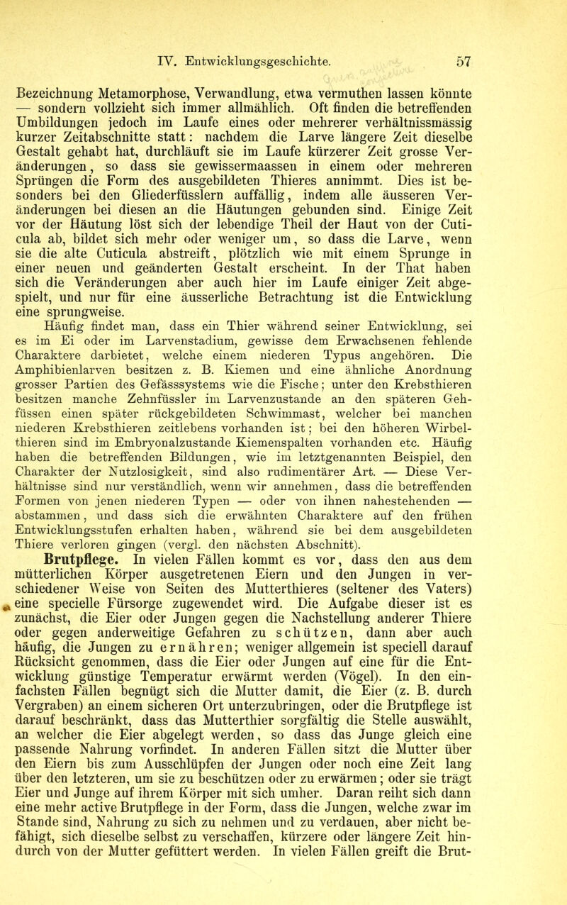 Bezeichnung Metamorphose, Verwandlung, etwa vermuthen lassen könnte — sondern vollzieht sich immer allmählich. Oft finden die betreffenden Umbildungen jedoch im Laufe eines oder mehrerer verhältnissmässig kurzer Zeitabschnitte statt: nachdem die Larve längere Zeit dieselbe Gestalt gehabt hat, durchläuft sie im Laufe kürzerer Zeit grosse Ver- änderungen , so dass sie gewissermaassen in einem oder mehreren Sprüngen die Form des ausgebildeten Thieres annimmt. Dies ist be- sonders bei den Gliederfüsslern auffällig, indem alle äusseren Ver- änderungen bei diesen an die Häutungen gebunden sind. Einige Zeit vor der Häutung löst sich der lebendige Theil der Haut von der Cuti- cula ab, bildet sich mehr oder weniger um, so dass die Larve, wenn sie die alte Cuticula abstreift, plötzlich wie mit einem Sprunge in einer neuen und geänderten Gestalt erscheint. In der That haben sich die Veränderungen aber auch hier im Laufe einiger Zeit abge- spielt, und nur für eine äusserliche Betrachtung ist die Entwicklung eine sprungweise. Häufig findet man, dass ein Thier während seiner Entwicklung, sei es im Ei oder im Larvenstadium, gewisse dem Erwachsenen fehlende Charaktere darbietet, welche einem niederen Typus angehören. Die Amphibienlarven besitzen z. B. Kiemen und eine ähnliche Anordnung grosser Partien des Gefässsystems wie die Fische; unter den Krebsthieren besitzen manche Zehnfüssler im Larvenzustande an den späteren Geh- füssen einen später rückgebildeten Schwimmast, welcher bei manchen niederen Krebsthieren zeitlebens vorhanden ist; bei den höheren Wirbel- thieren sind im Embryonalzustande Kiemenspalten vorhanden etc. Häufig haben die betreffenden Bildungen, wie im letztgenannten Beispiel, den Charakter der Nutzlosigkeit, sind also rudimentärer Art. — Diese Ver- hältnisse sind nur verständlich, wenn wir annehmen, dass die betreffenden Formen von jenen niederen Typen — oder von ihnen nahestehenden — abstammen, und dass sich die erwähnten Charaktere auf den frühen Entwicklungsstufen erhalten haben, während sie bei dem ausgebildeten Thiere verloren gingen (vergl. den nächsten Abschnitt). Brutpflege. In vielen Fällen kommt es vor, dass den aus dem mütterlichen Körper ausgetretenen Eiern und den Jungen in ver- schiedener Weise von Seiten des Mutterthieres (seltener des Vaters) * eine specielle Fürsorge zugewendet wird. Die Aufgabe dieser ist es zunächst, die Eier oder Jungen gegen die Nachstellung anderer Thiere oder gegen anderweitige Gefahren zu schützen, dann aber auch häufig, die Jungen zu ernähren; weniger allgemein ist speciell darauf Rücksicht genommen, dass die Eier oder Jungen auf eine für die Ent- wicklung günstige Temperatur erwärmt werden (Vögel). In den ein- fachsten Fällen begnügt sich die Mutter damit, die Eier (z. B. durch Vergraben) an einem sicheren Ort unterzubringen, oder die Brutpflege ist darauf beschränkt, dass das Mutterthier sorgfältig die Stelle auswählt, an welcher die Eier abgelegt werden, so dass das Junge gleich eine passende Nahrung vorfindet. In anderen Fällen sitzt die Mutter über den Eiern bis zum Ausschlüpfen der Jungen oder noch eine Zeit lang über den letzteren, um sie zu beschützen oder zu erwärmen; oder sie trägt Eier und Junge auf ihrem Körper mit sich umher. Daran reiht sich dann eine mehr active Brutpflege in der Form, dass die Jungen, welche zwar im Stande sind, Nahrung zu sich zu nehmen und zu verdauen, aber nicht be- fähigt, sich dieselbe selbst zu verschaffen, kürzere oder längere Zeit hin- durch von der Mutter gefüttert werden. In vielen Fällen greift die Brut-