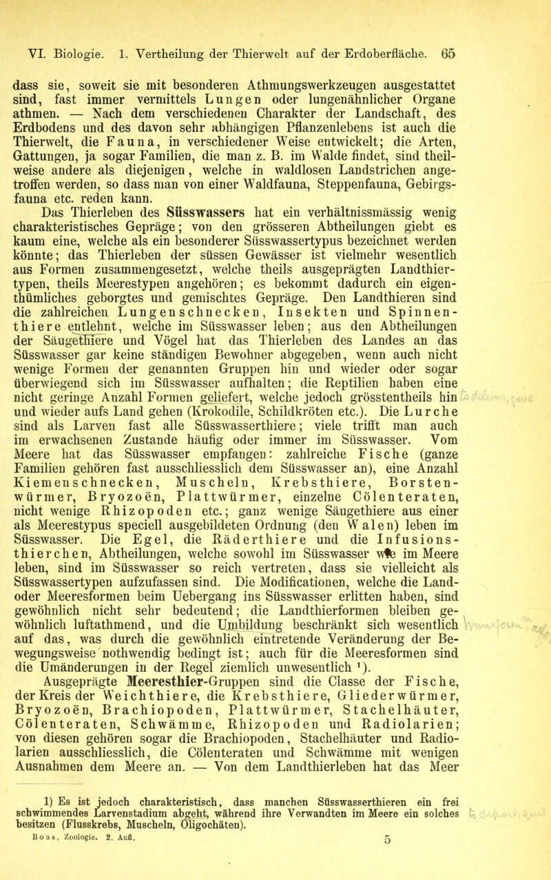 dass sie, soweit sie mit besonderen Athmungswerkzeugen ausgestattet sind, fast immer vermittels Lungen oder lungenähnlicher Organe athmen. — Nach dem verschiedenen Charakter der Landschaft, des Erdbodens und des davon sehr abhängigen Pflanzenlebens ist auch die Thierwelt, die Fauna, in verschiedener Weise entwickelt; die Arten, Gattungen, ja sogar Familien, die man z. B. im Walde findet, sind theil- weise andere als diejenigen, welche in waldlosen Landstrichen ange- troffen werden, so dass man von einer Waldfauna, Steppenfauna, Gebirgs- fauna etc. reden kann. Das Thierleben des Süsswassers hat ein verhältnissmässig wenig charakteristisches Gepräge; von den grösseren Abtheilungen giebt es kaum eine, welche als ein besonderer Süsswassertypus bezeichnet werden könnte; das Thierleben der süssen Gewässer ist vielmehr wesentlich aus Formen zusammengesetzt, welche theils ausgeprägten Landthier- typen, theils Meerestypen angehören; es bekommt dadurch ein eigen- tümliches geborgtes und gemischtes Gepräge. Den Landtieren sind die zahlreichen Lungenschnecken, Insekten und Spinnen- thiere entlehnt, welche im Süsswasser leben; aus den Abteilungen der SäugefETere und Vögel hat das Thierleben des Landes an das Süsswasser gar keine ständigen Bewohner abgegeben, wenn auch nicht wenige Formen der genannten Gruppen hin und wieder oder sogar überwiegend sich im Süsswasser aufhalten; die Reptilien haben eine nicht geringe Anzahl Formen geliefert, welche jedoch grösstenteils hin und wieder aufs Land gehen (Krokodile, Schildkröten etc.). Die Lurche sind als Larven fast alle Süsswasserthiere; viele trifft man auch im erwachsenen Zustande häufig oder immer im Süsswasser. Vom Meere hat das Süsswasser empfangen: zahlreiche Fische (ganze Familien gehören fast ausschliesslich dem Süsswasser an), eine Anzahl Kiemenschnecken, Muscheln, Krebsthiere, Borsten- würmer, Bryozoen, Plattwürmer, einzelne Cölenteraten, nicht wenige Rhizopoden etc.; ganz wenige Säugetiere aus einer als Meerestypus speciell ausgebildeten Ordnung (den Walen) leben im Süsswasser. Die Egel, die Räderthiere und die Infusions- thierchen, Abteilungen, welche sowohl im Süsswasser wfe im Meere leben, sind im Süsswasser so reich vertreten, dass sie vielleicht als Süsswassertypen aufzufassen sind. Die Modificationen, welche die Land- oder Meeresformen beim Uebergang ins Süsswasser erlitten haben, sind gewöhnlich nicht sehr bedeutend; die Landthierformen bleiben ge- wöhnlich luftathmend, und die Umbildung beschränkt sich wesentlich auf das, was durch die gewöhnlich eintretende Veränderung der Be- wegungsweise notwendig bedingt ist; auch für die Meeresformen sind die Umänderungen in der Regel ziemlich unwesentlich 1). Ausgeprägte Meeresthier-Gruppen sind die Classe der Fische, der Kreis der Weicht hier e, die Krebsthiere, Glieder würmer, Bryozoen, Brachiopoden, Plattwürmer, Stachelhäuter, Cölenteraten, Schwämme, Rhizopoden und Radiolarien; von diesen gehören sogar die Brachiopoden, Stachelhäuter und Radio- larien ausschliesslich, die Cölenteraten und Schwämme mit wenigen Ausnahmen dem Meere an. — Von dem Landthierleben hat das Meer 1) Es ist jedoch charakteristisch, dass manchen Süsswasserthieren ein frei schwimmendes Larvenstadium abgeht, während ihre Verwandten im Meere ein solches fc, besitzen (Flusskrebs, Muscheln, Oligochäten). Boas, Zoologie. 2. Aufl. 5