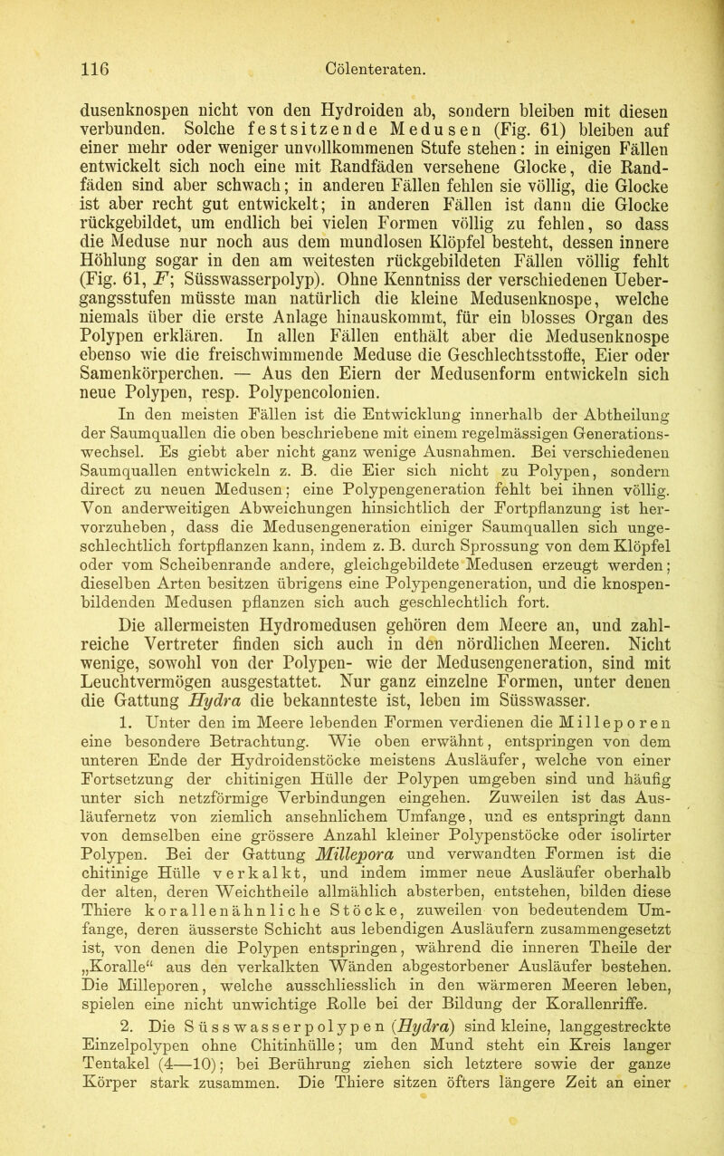 dusenknospen nicht von den Hydroiden ab, sondern bleiben mit diesen verbunden. Solche festsitzende Medusen (Fig. 61) bleiben auf einer mehr oder weniger unvollkommenen Stufe stehen: in einigen Fällen entwickelt sich noch eine mit Randfäden versehene Glocke, die Rand- fäden sind aber schwach; in anderen Fällen fehlen sie völlig, die Glocke ist aber recht gut entwickelt; in anderen Fällen ist dann die Glocke rückgebildet, um endlich bei vielen Formen völlig zu fehlen, so dass die Meduse nur noch aus dem mundlosen Klöpfel besteht, dessen innere Höhlung sogar in den am weitesten rückgebildeten Fällen völlig fehlt (Fig. 61, jP; Süsswasserpolyp). Ohne Kenntniss der verschiedenen Ueber- gangsstufen müsste man natürlich die kleine Medusenknospe, welche niemals über die erste Anlage hinauskommt, für ein blosses Organ des Polypen erklären. In allen Fällen enthält aber die Medusen knospe ebenso wie die freischwimmende Meduse die Geschlechtsstoffe, Eier oder Samenkörperchen. — Aus den Eiern der Medusenform entwickeln sich neue Polypen, resp. Polypencolonien. In den meisten Fällen ist die Entwicklung innerhalb der Abtheilung der Saumquallen die oben beschriebene mit einem regelmässigen Generations- wechsel. Es giebt aber nicht ganz wenige Ausnahmen. Bei verschiedenen Saumquallen entwickeln z. B. die Eier sich nicht zu Polypen, sondern direct zu neuen Medusen; eine Polypengeneration fehlt bei ihnen völlig. Von anderweitigen Abweichungen hinsichtlich der Fortpflanzung ist her- vorzuheben, dass die Medusengeneration einiger Saumquallen sich unge- schlechtlich fortpflanzen kann, indem z. B. durch Sprossung von dem Klöpfel oder vom Scheibenrande andere, gleichgebildete Medusen erzeugt werden; dieselben Arten besitzen übrigens eine Polypengeneration, und die knospen- bildenden Medusen pflanzen sich auch geschlechtlich fort. Die allermeisten Hydromedusen gehören dem Meere an, und zahl- reiche Vertreter finden sich auch in den nördlichen Meeren. Nicht wenige, sowohl von der Polypen- wie der Medusengeneration, sind mit Leuchtvermögen ausgestattet. Nur ganz einzelne Formen, unter denen die Gattung Hydra die bekannteste ist, leben im Süsswasser. 1. Unter den im Meere lebenden Formen verdienen die Milleporen eine besondere Betrachtung. Wie oben erwähnt, entspringen von dem unteren Ende der Hydroidenstöcke meistens Ausläufer, welche von einer Fortsetzung der chitinigen Hülle der Polypen umgeben sind und häufig unter sich netzförmige Verbindungen eingehen. Zuweilen ist das Aus- läufernetz von ziemlich ansehnlichem Umfange, und es entspringt dann von demselben eine grössere Anzahl kleiner Polypenstöcke oder isolirter Polypen. Bei der Gattung Millepora und verwandten Formen ist die chitinige Hülle verkalkt, und indem immer neue Ausläufer oberhalb der alten, deren Weichtheile allmählich absterben, entstehen, bilden diese Thiere korallenähnliche Stöcke, zuweilen von bedeutendem Um- fange, deren äusserste Schicht aus lebendigen Ausläufern zusammengesetzt ist, von denen die Polypen entspringen, während die inneren Theile der „Koralle“ aus den verkalkten Wänden abgestorbener Ausläufer bestehen. Die Milleporen, welche ausschliesslich in den wärmeren Meeren leben, spielen eine nicht unwichtige Rolle bei der Bildung der Korallenriffe. 2. Die Süsswasserpolypen {Hydra) sind kleine, langgestreckte Einzelpolypen ohne Chitinhülle; um den Mund steht ein Kreis langer Tentakel (4—10); bei Berührung ziehen sich letztere sowie der ganze Körper stark zusammen. Die Thiere sitzen öfters längere Zeit an einer