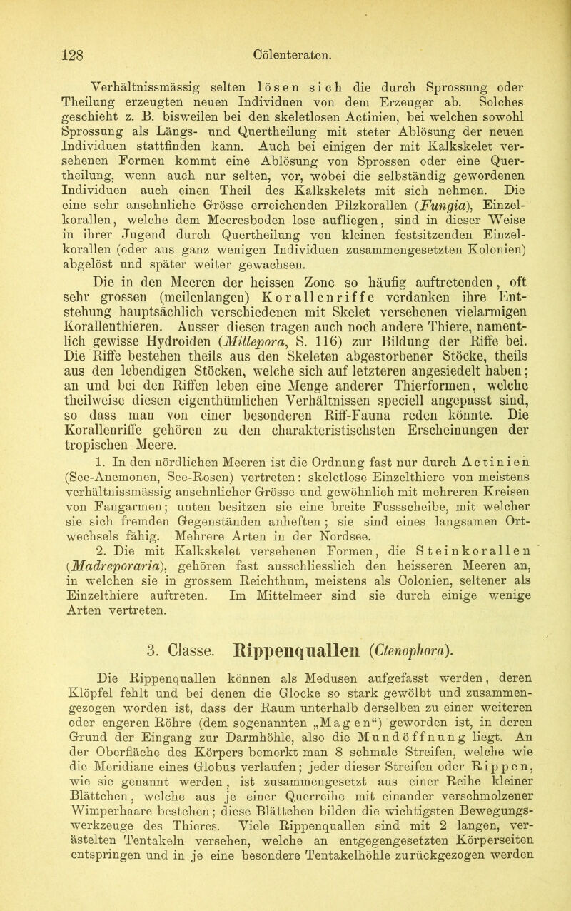 Verhältnissmässig selten lösen sich die durch Sprossung oder Theilung erzeugten neuen Individuen von dem Erzeuger ab. Solches geschieht z. B. bisweilen hei den skeletlosen Actinien, bei welchen sowohl Sprossung als Längs- und Quertheilung mit steter Ablösung der neuen Individuen stattfinden kann. Auch bei einigen der mit Kalkskelet ver- sehenen Formen kommt eine Ablösung von Sprossen oder eine Quer- theilung, wenn auch nur selten, vor, wobei die selbständig gewordenen Individuen auch einen Theil des Kalkskelets mit sich nehmen. Die eine sehr ansehnliche Grösse erreichenden Pilzkorallen (Fungia), Einzel- korallen, welche dem Meeresboden lose aufliegen, sind in dieser Weise in ihrer Jugend durch Quertheilung von kleinen festsitzenden Einzel- korallen (oder aus ganz wenigen Individuen zusammengesetzten Kolonien) abgelöst und später weiter gewachsen. Die in den Meeren der heissen Zone so häufig auftretenden, oft sehr grossen (meilenlangen) Korallenriffe verdanken ihre Ent- stehung hauptsächlich verschiedenen mit Skelet versehenen vielarmigen Korallenthieren. Ausser diesen tragen auch noch andere Thiere, nament- lich gewisse Hydroiden (Mülepora, S. 116) zur Bildung der Riffe bei. Die Riffe bestehen theils aus den Skeleten abgestorbener Stöcke, theils aus den lebendigen Stöcken, welche sich auf letzteren angesiedelt haben; an und bei den Riffen leben eine Menge anderer Thierformen, welche theilweise diesen eigenthümlichen Verhältnissen speciell angepasst sind, so dass man von einer besonderen Riff-Fauna reden könnte. Die Korallenriffe gehören zu den charakteristischsten Erscheinungen der tropischen Meere. 1. In den nördlichen Meeren ist die Ordnung fast nur durch Actinien (See-Anemonen, See-Rosen) vertreten: skeletlose Einzelthiere von meistens verhältnissmässig ansehnlicher Grösse und gewöhnlich mit mehreren Kreisen von Eangarmen; unten besitzen sie eine breite Eussscheibe, mit welcher sie sich fremden Gegenständen anheften ; sie sind eines langsamen Ort- wechsels fähig. Mehrere Arten in der Nordsee. 2. Die mit Kalkskelet versehenen Formen, die Steinkorallen (.Madreporaria), gehören fast ausschliesslich den heisseren Meeren an, in welchen sie in grossem Reichthum, meistens als Colonien, seltener als Einzelthiere auftreten. Im Mittelmeer sind sie durch einige wenige Arten vertreten. 3. Classe. Rippenquallen (Ctemphom). Die Rippenquallen können als Medusen aufgefasst werden, deren Klöpfel fehlt und bei denen die Glocke so stark gewölbt und zusammen- gezogen worden ist, dass der Raum unterhalb derselben zu einer weiteren oder engeren Röhre (dem sogenannten „Mag en“) geworden ist, in deren Grund der Eingang zur Darmhöhle, also die Mundöffnung liegt. An der Oberfläche des Körpers bemerkt man 8 schmale Streifen, welche wie die Meridiane eines Globus verlaufen; jeder dieser Streifen oder Rippen, wie sie genannt werden, ist zusammengesetzt aus einer Reihe kleiner Blättchen, welche aus je einer Querreihe mit einander verschmolzener Wimperhaare bestehen; diese Blättchen bilden die wichtigsten Bewegungs- werkzeuge des Thieres. Viele Rippenquallen sind mit 2 langen, ver- ästelten Tentakeln versehen, welche an entgegengesetzten Körperseiten entspringen und in je eine besondere Tentakelhöhle zurückgezogen werden