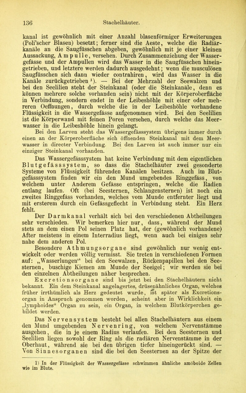 kanal ist gewöhnlich mit einer Anzahl blasenförmiger Erweiterungen (Poli’scher Blasen) besetzt; ferner sind die Aeste, welche die Radiär- kanäle an die Saugfüsschen abgeben, gewöhnlich mit je einer kleinen Aussackung, Ampulle, versehen. Durch Zusammenziehung der Wasser- gefässe und der Ampullen wird das Wasser in die Saugfüsschen hinein- getrieben, und letztere werden dadurch ausgedehnt; wenn die musculösen Saugfüsschen sich dann wieder contrahiren, wird das Wasser in die Kanäle zurückgetrieben3). — Bei der Mehrzahl der Seewalzen und bei den Seelilien steht der Steinkanal (oder die Steinkanäle, denn es können mehrere solche vorhanden sein) nicht mit der Körperoberfläche in Verbindung, sondern endet in der Leibeshöhle mit einer oder meh- reren Oeffnungen, durch welche die in der Leibeshöhle vorhandene Flüssigkeit in die Wassergefässe aufgenommen wird. Bei den Seelilien ist die Körperwand mit feinen Poren versehen, durch welche das Meer- wasser in die Leibeshöhle hinein gelangt Bei den Larven steht das Wassergefässsystem übrigens immer durch einen an der Körperoberfläche sich öffnenden Steinkanal mit dem Meer- wasser in directer Verbindung. Bei den Larven ist auch immer nur ein einziger Steinkanal vorhanden. Das Wassergefässsystem hat keine Verbindung mit dem eigentlichen Blutgefässsystem, so dass die Stachelhäuter zwei gesonderte Systeme von Flüssigkeit führenden Kanälen besitzen. Auch im Blut- gefässsystem finden wir ein den Mund umgebendes Ringgefäss, von welchem unter Anderem Gefässe entspringen, welche die Radien entlang laufen. Oft (bei Seesternen, Schlangensternen) ist noch ein zweites Ringgefäss vorhanden, welches vom Munde entfernter liegt und mit ersterem durch ein Gefässgeflecht in Verbindung steht. Ein Herz fehlt. Der Darmkanal verhält sich bei den verschiedenen Abtheilungen sehr verschieden. Wir bemerken hier nur, dass, während der Mund stets an dem einen Pol seinen Platz hat, der (gewöhnlich vorhandene) After meistens in einem Interradius liegt, wenn auch bei einigen sehr nahe dem anderen Pol. Besondere Athmungsorgane sind gewöhnlich nur wenig ent- wickelt oder werden völlig vermisst. Sie treten in verschiedenen Formen auf: „Wasserlungen“ bei den Seewalzen, Rückenpapillen bei den See- sternen, buschige Kiemen am Munde der Seeigel; wir werden sie bei den einzelnen Abtheilungen näher besprechen. Excretionsorgane sind bis jetzt bei den Stachelhäutern nicht bekannt. Ein dem Steinkanal angelagertes, drüsenähnliches Organ, welches früher irrthümlich als Herz gedeutet wurde, ist später als Excretions- organ in Anspruch genommen worden, scheint aber in Wirklichkeit ein „lymphoides“ Organ zu sein, ein Organ, in welchem Blutkörperchen ge- bildet werden. Das Nervensystem besteht bei allen Stachelhäutern aus einem den Mund umgebenden Nervenring, von welchem Nervenstämme ausgehen, die in je einem Radius verlaufen. Bei den Seesternen und Seelilien liegen sowohl der Ring als die radiären Nervenstämme in der Oberhaut, während sie bei den übrigen tiefer hineingerückt sind. — Von Sinnesorganen sind die bei den Seesternen an der Spitze der 1) In der Flüssigkeit der Wassergefässe schwimmen ähnliche amöboide Zellen wie im Blute.