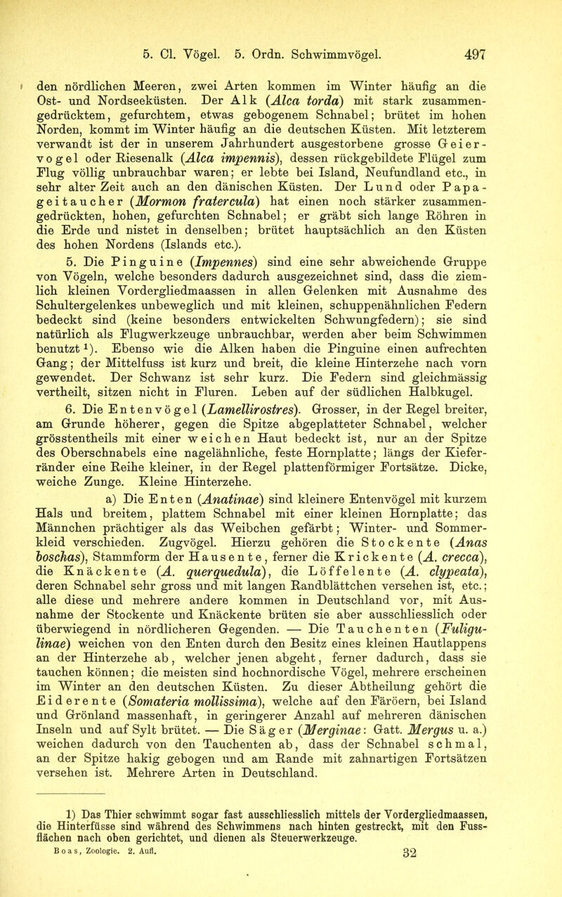 den nördlichen Meeren, zwei Arten kommen im Winter häufig an die Ost- und Nordseeküsten. Der Alk (.Alca torda) mit stark zusammen- gedrücktem, gefurchtem, etwas gebogenem Schnabel; brütet im hohen Norden, kommt im Winter häufig an die deutschen Küsten. Mit letzterem verwandt ist der in unserem Jahrhundert ausgestorbene grosse Geier- v o g e 1 oder Riesenalk (Alca impennis), dessen rückgebildete Flügel zum Flug völlig unbrauchbar waren; er lebte bei Island, Neufundland etc., in sehr alter Zeit auch an den dänischen Küsten. Der Lund oder Papa- geitaucher (Mormon fratercula) hat einen noch stärker zusammen- gedrückten, hohen, gefurchten Schnabel; er gräbt sich lange Röhren in die Erde und nistet in denselben; brütet hauptsächlich an den Küsten des hohen Nordens (Islands etc.). 5. Die Pinguine (Impennes) sind eine sehr abweichende Gruppe von Vögeln, welche besonders dadurch ausgezeichnet sind, dass die ziem- lich kleinen Vordergliedmaassen in allen Gelenken mit Ausnahme des Schultergelenkes unbeweglich und mit kleinen, schuppenähnlichen Federn bedeckt sind (keine besonders entwickelten Schwungfedern); sie sind natürlich als Flugwerkzeuge unbrauchbar, werden aber beim Schwimmen benutzt A). Ebenso wie die Alken haben die Pinguine einen aufrechten Gang; der Mittelfuss ist kurz und breit, die kleine Hinterzehe nach vorn gewendet. Der Schwanz ist sehr kurz. Die Federn sind gleichmässig vertheilt, sitzen nicht in Fluren. Leben auf der südlichen Halbkugel. 6. Die Entenvögel (Lamellirostres). Grosser, in der Regel breiter, am Grunde höherer, gegen die Spitze abgeplatteter Schnabel, welcher grösstentheils mit einer weichen Haut bedeckt ist, nur an der Spitze des Oberschnabels eine nagelähnliche, feste Hornplatte; längs der Kiefer- ränder eine Reihe kleiner, in der Regel platten förmiger Fortsätze. Dicke, weiche Zunge. Kleine Hinterzehe. a) Die Enten (.Anatinae) sind kleinere Entenvögel mit kurzem Hals und breitem, plattem Schnabel mit einer kleinen Hornplatte; das Männchen prächtiger als das Weibchen gefärbt; Winter- und Sommer- kleid verschieden. Zugvögel. Hierzu gehören die Stockente (Anas boschas), Stammform der Hausente, ferner die Krickente (H. crecca), die Knäckente (A. querquedula), die Löffelente (A. clypeata), deren Schnabel sehr gross und mit langen Randblättchen versehen ist, etc.; alle diese und mehrere andere kommen in Deutschland vor, mit Aus- nahme der Stockente und Knäckente brüten sie aber ausschliesslich oder überwiegend in nördlicheren Gegenden. — Die Tauchenten (Fuligu- linae) weichen von den Enten durch den Besitz eines kleinen Hautlappens an der Hinterzehe ab, welcher jenen abgeht, ferner dadurch, dass sie tauchen können; die meisten sind hochnordische Vögel, mehrere erscheinen im Winter an den deutschen Küsten. Zu dieser Abtheilung gehört die Eiderente (Somateria mollissima), welche auf den Färöern, beilsland und Grönland massenhaft, in geringerer Anzahl auf mehreren dänischen Inseln und auf Sylt brütet. — Die Säger (Merginae: Gatt. Mergus u. a.) weichen dadurch von den Tauchenten ab, dass der Schnabel schmal, an der Spitze hakig gebogen und am Rande mit zahnartigen Fortsätzen versehen ist. Mehrere Arten in Deutschland. 1) Das Thier schwimmt sogar fast ausschliesslich mittels der Vordergliedmaassen, die Hinterfüsse sind während des Schwimmens nach hinten gestreckt, mit den Fuss- flächen nach oben gerichtet, und dienen als Steuerwerkzeuge. Boas, Zoologie. 2. Aufl. 32
