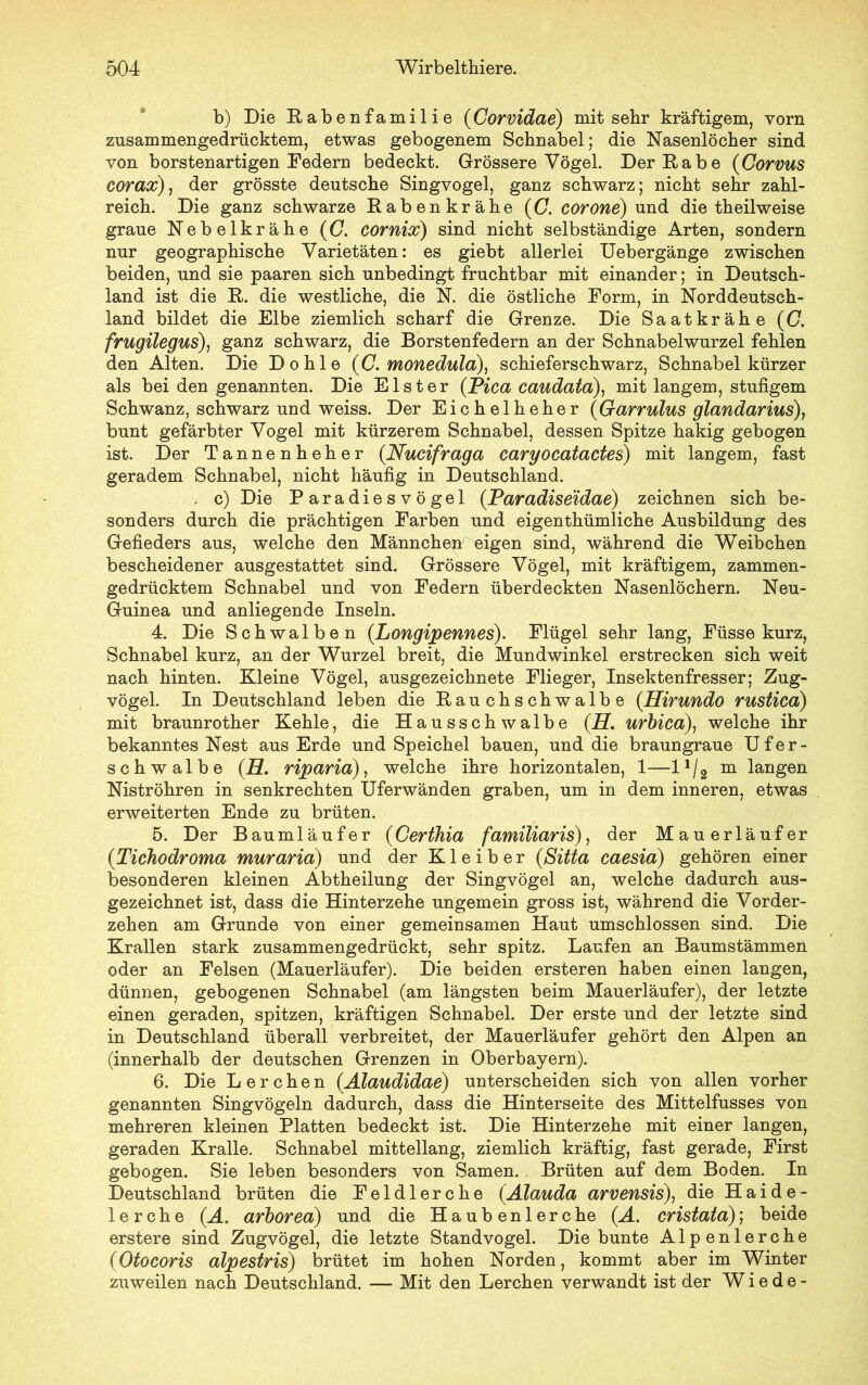 b) Die Rabenfamilie (Corvidae) mit sehr kräftigem, vorn zusammengedrücktem, etwas gebogenem Schnabel; die Nasenlöcher sind von borstenartigen Federn bedeckt. Grössere Vögel. Der Rabe (Corvus corax), der grösste deutsche Singvogel, ganz schwarz; nicht sehr zahl- reich. Die ganz schwarze Rabenkrähe (C. corone) und die theilweise graue Nebelkrähe ((7. cornix) sind nicht selbständige Arten, sondern nur geographische Varietäten: es giebt allerlei Uebergänge zwischen beiden, und sie paaren sich unbedingt fruchtbar mit einander; in Deutsch- land ist die R. die westliche, die N. die östliche Form, in Norddeutsch- land bildet die Elbe ziemlich scharf die Grenze. Die Saatkrähe ((7. frugilegus), ganz schwarz, die Borstenfedern an der Schnabelwurzel fehlen den Alten. Die Dohle ((7. monedula), schieferschwarz, Schnabel kürzer als bei den genannten. Die Elster (Pica caudata), mit langem, stufigem Schwanz, schwarz und weiss. Der Eichelheher (Garrulus glandarius), bunt gefärbter Vogel mit kürzerem Schnabel, dessen Spitze hakig gebogen ist. Der Tannenheher (Nucifraga caryocatactes) mit langem, fast geradem Schnabel, nicht häufig in Deutschland. . c) Die Paradiesvögel (Paradiseidae) zeichnen sich be- sonders durch die prächtigen Farben und eigentümliche Ausbildung des Gefieders aus, welche den Männchep' eigen sind, während die Weibchen bescheidener ausgestattet sind. Grössere Vögel, mit kräftigem, zammen- gedrücktem Schnabel und von Federn überdeckten Nasenlöchern. Neu- Guinea und anliegende Inseln. 4. Die Schwalben (Longipennes). Flügel sehr lang, Füsse kurz, Schnabel kurz, an der Wurzel breit, die Mundwinkel erstrecken sich weit nach hinten. Kleine Vögel, ausgezeichnete Flieger, Insektenfresser; Zug- vögel. In Deutschland leben die Rauchschwalbe (Hirundo rustica) mit braunroter Kehle, die Hausschwalbe (H. urbica), welche ihr bekanntes Nest aus Erde und Speichel bauen, und die braungraue Ufer- schwalbe (H. riparia), welche ihre horizontalen, 1—11/2 m langen Niströhren in senkrechten Uferwänden graben, um in dem inneren, etwas erweiterten Ende zu brüten. 5. Der Baumläufer (Gerthia familiaris), der Mauerläufer (.Tichodroma muraria) und der Kleiber (Sitta caesia) gehören einer besonderen kleinen Abteilung der Singvögel an, welche dadurch aus- gezeichnet ist, dass die Hinterzehe ungemein gross ist, während die Vorder- zehen am Grunde von einer gemeinsamen Haut umschlossen sind. Die Krallen stark zusammengedrückt, sehr spitz. Laufen an Baumstämmen oder an Felsen (Mauerläufer). Die beiden ersteren haben einen langen, dünnen, gebogenen Schnabel (am längsten beim Mauerläufer), der letzte einen geraden, spitzen, kräftigen Schnabel. Der erste und der letzte sind in Deutschland überall verbreitet, der Mauerläufer gehört den Alpen an (innerhalb der deutschen Grenzen in Oberbayern). 6. Die Lerchen (Älaudidae) unterscheiden sich von allen vorher genannten Singvögeln dadurch, dass die Hinterseite des Mittelfusses von mehreren kleinen Platten bedeckt ist. Die Hinterzehe mit einer langen, geraden Kralle. Schnabel mittellang, ziemlich kräftig, fast gerade, First gebogen. Sie leben besonders von Samen. Brüten auf dem Boden. In Deutschland brüten die Feldlerche (Älauda arvensis), die Haide- 1 e r c h e (A. arborea) und die Haubenlerche (A. cristata); beide erstere sind Zugvögel, die letzte Standvogel. Die bunte Alpenlerche (Otocoris alpestris) brütet im hohen Norden, kommt aber im Winter zuweilen nach Deutschland. — Mit den Lerchen verwandt ist der Wiede-