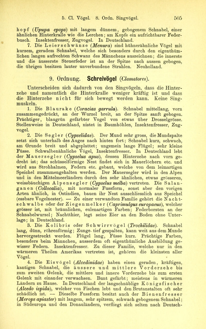 hopf (TJpupa epops) mit langem dünnem, gebogenem Schnabel, einer ähnlichen Hinterkralle wie die Lerchen; am Kopfe ein aufrichtbarer Feder- busch. Insektenfresser, Zugvogel. In Deutschland. 7. Die Leier schwänze (Menura) sind hühnerähnliche Vögel mit kurzem, geradem Schnabel, welche sich besonders durch den eigenthüm- lichen langen aufrechten Schwanz des Männchens auszeichnen; die innerste und die äusserste Steuerfeder ist an der Spitze nach aussen gebogen, die übrigen besitzen lauter unverbundene Strahlen. Neuholland. 9* Ordnung’. Schreivögel (Clamatores). Unterscheiden sich dadurch von den Singvögeln, dass die Hinter- zehe und namentlich die Hinterkralle weniger kräftig ist und dass die Hinterzehe nicht für sich bewegt werden kann. Keine Sing- muskeln. 1. Die Blaurake (Coracias garrula). Schnabel mittellang, vorn zusammengedrückt, an der Wurzel breit, an der Spitze sanft gebogen. Prächtiger, blaugrün gefärbter Vogel von etwas über Drosselgrösse. Stellenweise in Deutschland, nistet in Baumhöhlen, Insektenfresser, Zug- vogel. 2. Die Segler (Cypselidae). Der Mund sehr gross, die Mundspalte setzt sich unterhalb des Auges nach hinten fort; Schnabel kurz, schwach, am Grunde breit und abgeplattet; ungemein lange Flügel; sehr kleine Füsse. Schwalbenähnliche Vögel, Insektenfresser. In Deutschland lebt der Mauersegler (Cypselus apus), dessen Hinterzehe nach vorn ge- dreht ist; das schüsselförmige Nest findet sich in Mauerlöchern etc. und wird aus Strohhalmen, Federn etc. gebaut, welche von dem leimartigen Speichel zusammengehalten werden. Der Mauersegler wird in den Alpen und in den Mittelmeerländern durch den sehr ähnlichen, etwas grösseren, weissbäuchigen Alpensegler (Cypselus melba) vertreten. Die Salan- ganen (Collocalia), mit normaler Fussform, sonst aber den vorigen Arten ähnlich, in Ostindien, bauen ihr Nest ausschliesslich aus Speichel (essbare Vogelnester). — Zu einer verwandten Familie gehört die Nacht- schwalbe oder der Ziegenmelker (Caprimulgus europaeus), welcher grösser ist, mit bräunlichen, eulenartigen Farben; Federborsten an der Schnabelwurzel; Nachtthier, legt seine Eier an den Boden ohne Unter- lage; in Deutschland. 8. Die Kolibris oder Schwirrvögel (TrocJiilidae). Schnabel lang, dünn, röhrenförmig; Zunge, tief gespalten, kann weit aus dem Munde hervorgestreckt werden. Flügel lang, Füsse kurz. Prächtige Farben, besonders beim Männchen, ausserdem oft eigenthümliche Ausbildung ge- wisser Federn. Insektenfresser. Zu dieser Familie, welche nur in den wärmeren Theilen Amerikas, vertreten ist, gehören die kleinsten aller Vögel. 4. Die Eisvögel (.Alcedinidae) haben einen geraden, kräftigen, kantigen Schnabel, die äussere und mittlere Vorderzehe bis zum zweiten Gelenk, die mittlere und innere Vorderzehe bis zum ersten Gelenk mit einander verwachsen. Bunt gefärbt; meistens in wärmeren Ländern zu Hause. In Deutschland der langschnäblige Königsfischer (Älcedo ispida), welcher von Fischen lebt und den Brutanstalten oft sehr schädlich ist. — Dieselbe Fussform besitzt auch der Bienenfresser (Merops apiaster) mit langem, sehr spitzem, schwach gebogenem Schnabel; in Südeuropa und den Donauländern, verfliegt sich selten nach Deutsch-