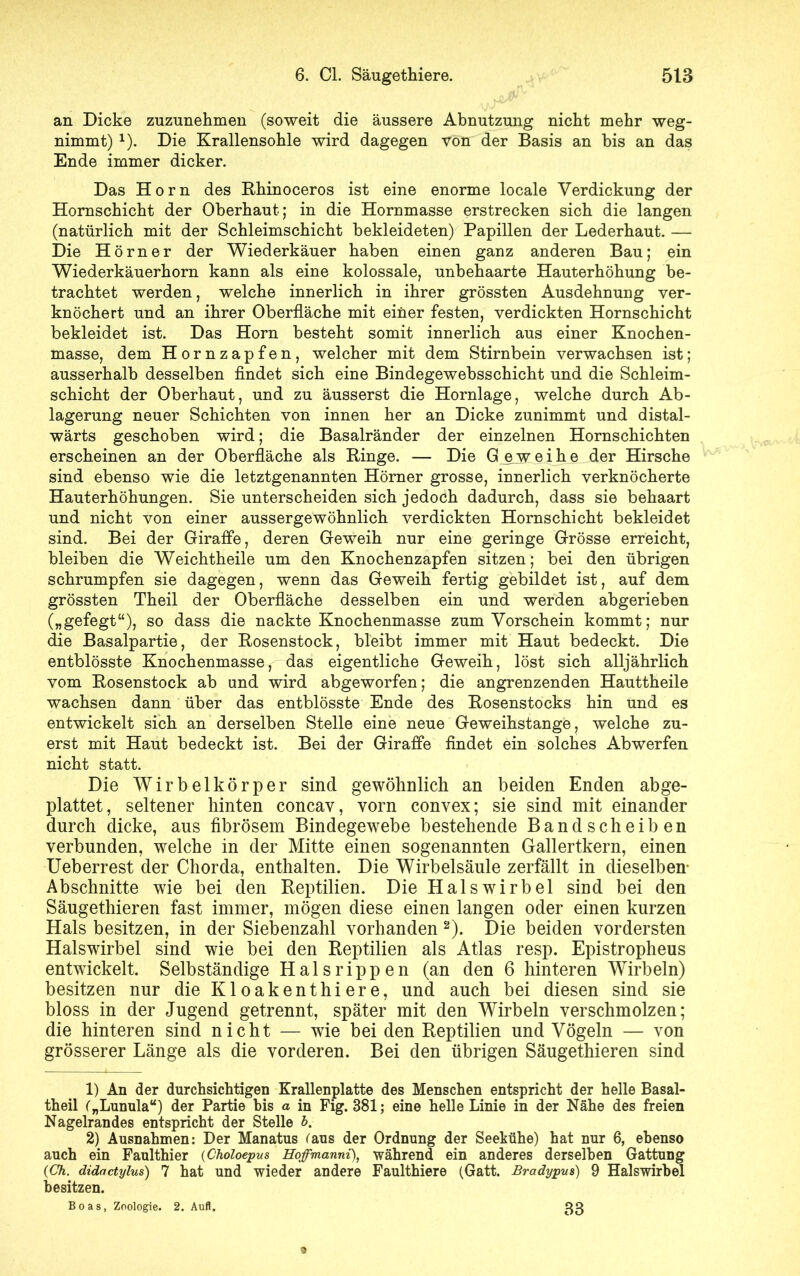 an Dicke zuzunehmen (soweit die äussere Abnutzung nicht mehr weg- nimmt) 1). Die Krallensohle wird dagegen von der Basis an bis an das Ende immer dicker. Das Horn des Rhinoceros ist eine enorme locale Verdickung der Hornschicht der Oberhaut; in die Hornmasse erstrecken sich die langen (natürlich mit der Schleimschicht bekleideten) Papillen der Lederhaut. — Die Hörner der Wiederkäuer haben einen ganz anderen Bau; ein Wiederkäuerhorn kann als eine kolossale, unbehaarte Hauterhöhung be- trachtet werden, welche innerlich in ihrer grössten Ausdehnung ver- knöchert und an ihrer Oberfläche mit einer festen, verdickten Hornschicht bekleidet ist. Das Horn besteht somit innerlich aus einer Knochen- masse, dem Hornzapfen, welcher mit dem Stirnbein verwachsen ist; ausserhalb desselben findet sich eine Bindegewebsschicht und die Schleim- schicht der Oberhaut, und zu äusserst die Hornlage, welche durch Ab- lagerung neuer Schichten von innen her an Dicke zunimmt und distal- wärts geschoben wird; die Basalränder der einzelnen Hornschichten erscheinen an der Oberfläche als Ringe. — Die Geweihe der Hirsche sind ebenso wie die letztgenannten Hörner grosse, innerlich verknöcherte Hauterhöhungen. Sie unterscheiden sich jedoch dadurch, dass sie behaart und nicht von einer aussergewohnlich verdickten Hornschicht bekleidet sind. Bei der Giraffe, deren Geweih nur eine geringe Grösse erreicht, bleiben die Weichtheile um den Knochenzapfen sitzen; bei den übrigen schrumpfen sie dagegen, wenn das Geweih fertig gebildet ist, auf dem grössten Theil der Oberfläche desselben ein und werden abgerieben („gefegt“), so dass die nackte Knochenmasse zum Vorschein kommt; nur die Basalpartie, der Rosenstock, bleibt immer mit Haut bedeckt. Die entblösste Knochenmasse, das eigentliche Geweih, löst sich alljährlich vom Rosenstock ab und wird abgeworfen; die angrenzenden Hauttheile wachsen dann über das entblösste Ende des Rosenstocks hin und es entwickelt sich an derselben Stelle eine neue Geweihstange, welche zu- erst mit Haut bedeckt ist. Bei der Giraffe findet ein solches Abwerfen nicht statt. Die Wirbelkörper sind gewöhnlich an beiden Enden abge- plattet, seltener hinten concav, vorn convex; sie sind mit einander durch dicke, aus fibrösem Bindegewebe bestehende Bandscheiben verbunden, welche in der Mitte einen sogenannten Gallertkern, einen Ueberrest der Chorda, enthalten. Die Wirbelsäule zerfällt in dieselben- Abschnitte wie bei den Reptilien. Die Halswirbel sind bei den Säugethieren fast immer, mögen diese einen langen oder einen kurzen Hals besitzen, in der Siebenzahl vorhanden 2). Die beiden vordersten Halswirbel sind wie bei den Reptilien als Atlas resp. Epistropheus entwickelt. Selbständige Hals rippen (an den 6 hinteren Wirbeln) besitzen nur die Kloakenthiere, und auch bei diesen sind sie bloss in der Jugend getrennt, später mit den Wirbeln verschmolzen; die hinteren sind nicht — wie bei den Reptilien und Vögeln — von grösserer Länge als die vorderen. Bei den übrigen Säugethieren sind 1) An der durchsichtigen Krallenplatte des Menschen entspricht der helle Basal- theil („Lunula“) der Partie bis a in Fig. 381; eine helle Linie in der Nähe des freien Nagelrandes entspricht der Stelle b. 2) Ausnahmen: Der Manatus raus der Ordnung der Seekühe) hat nur 6, ebenso auch ein Faulthier (Gholoepus Eoffmanni), während ein anderes derselben Gattung (Ch. didactylus) 7 hat und wieder andere Faulthiere (Gatt. Bradypus) 9 Halswirbel besitzen. Boas, Zoologie. 2. Aufl. 33