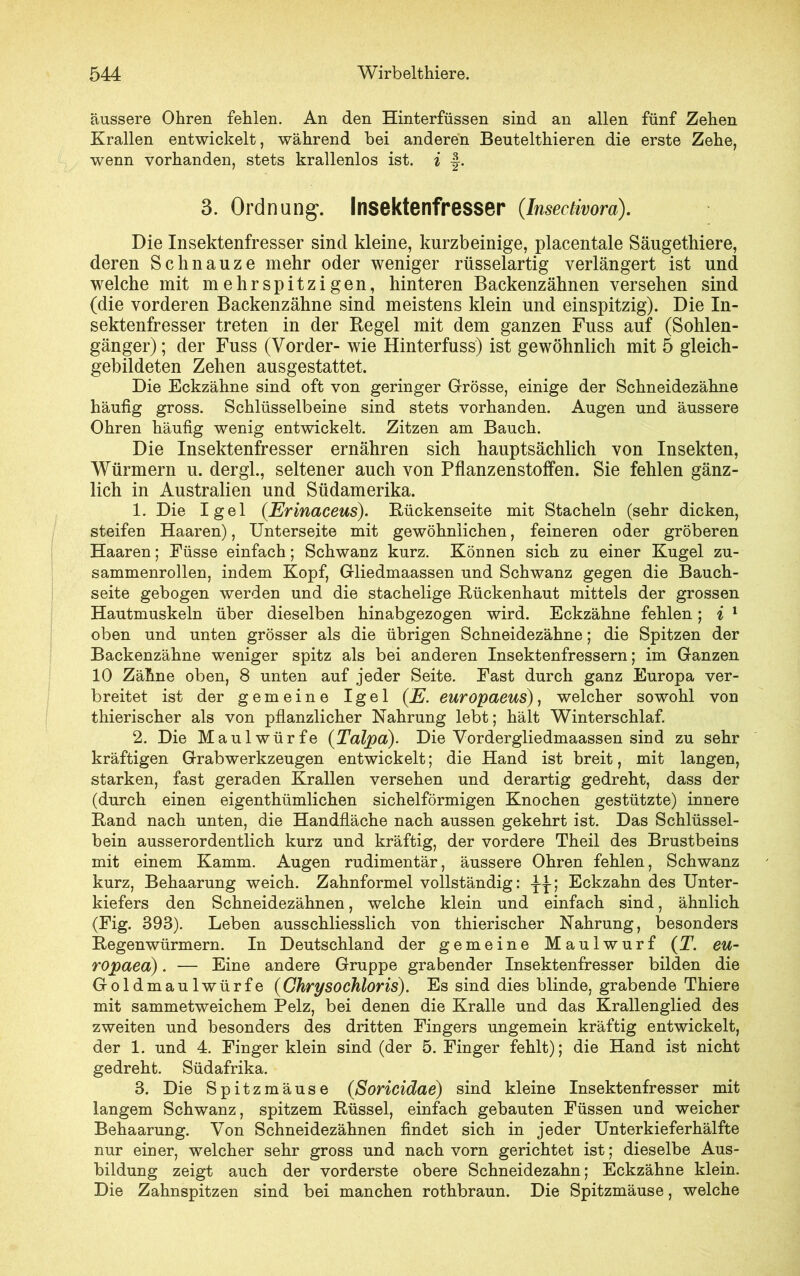 äussere Ohren fehlen. An den Hinterfüssen sind an allen fünf Zehen Krallen entwickelt, während hei anderen Beutelthieren die erste Zehe, wenn vorhanden, stets krallenlos ist. i f. 3. Ordnung. Insektenfresser (.Insectivora). Die Insektenfresser sind kleine, kurzbeinige, placentale Säugethiere, deren Schnauze mehr oder weniger rüsselartig verlängert ist und welche mit mehrspitzigen, hinteren Backenzähnen versehen sind (die vorderen Backenzähne sind meistens klein und einspitzig). Die In- sektenfresser treten in der Regel mit dem ganzen Fuss auf (Sohlen- gänger) ; der Fuss (Vorder- wie Hinterfuss) ist gewöhnlich mit 5 gleich- gebildeten Zehen ausgestattet. Die Eckzähne sind oft von geringer Grösse, einige der Schneidezähne häufig gross. Schlüsselbeine sind stets vorhanden. Augen und äussere Ohren häufig wenig entwickelt. Zitzen am Bauch. Die Insektenfresser ernähren sich hauptsächlich von Insekten, Würmern u. dergl., seltener auch von Pflanzenstoffen. Sie fehlen gänz- lich in Australien und Südamerika. 1. Die Igel (.Erinaceus). Rückenseite mit Stacheln (sehr dicken, steifen Haaren), Unterseite mit gewöhnlichen, feineren oder gröberen Haaren; Füsse einfach; Schwanz kurz. Können sich zu einer Kugel zu- sammenrollen, indem Kopf, Gliedmaassen und Schwanz gegen die Bauch- seite gebogen werden und die stachelige Rückenhaut mittels der grossen Hautmuskeln über dieselben hinabgezogen wird. Eckzähne fehlen; i 1 oben und unten grösser als die übrigen Schneidezähne; die Spitzen der Backenzähne weniger spitz als bei anderen Insektenfressern; im Ganzen 10 Zähne oben, 8 unten auf jeder Seite. Fast durch ganz Europa ver- breitet ist der gemeine Igel (E. europaeus), welcher sowohl von thierischer als von pflanzlicher Nahrung lebt; hält Winterschlaf. 2. Die Maulwürfe (Talpa). Die Vordergliedmaassen sind zu sehr kräftigen Grabwerkzeugen entwickelt; die Hand ist breit, mit langen, starken, fast geraden Krallen versehen und derartig gedreht, dass der (durch einen eigenthümlichen sichelförmigen Knochen gestützte) innere Rand nach unten, die Handfläche nach aussen gekehrt ist. Das Schlüssel- bein ausserordentlich kurz und kräftig, der vordere Theil des Brustbeins mit einem Kamm. Augen rudimentär, äussere Ohren fehlen, Schwanz kurz, Behaarung weich. Zahnformel vollständig: Eckzahn des Unter- kiefers den Schneidezähnen, welche klein und einfach sind, ähnlich (Fig. 393). Leben ausschliesslich von thierischer Nahrung, besonders Regenwürmern. In Deutschland der gemeine Maulwurf (T. eu- ropaea). — Eine andere Gruppe grabender Insektenfresser bilden die Goldmaulwürfe (Chry so chlor is). Es sind dies blinde, grabende Thiere mit sammetweichem Pelz, bei denen die Kralle und das Krallenglied des zweiten und besonders des dritten Fingers ungemein kräftig entwickelt, der 1. und 4. Finger klein sind (der 5. Finger fehlt); die Hand ist nicht gedreht. Südafrika. 3. Die Spitzmäuse (Soricidae) sind kleine Insektenfresser mit langem Schwanz, spitzem Rüssel, einfach gebauten Füssen und weicher Behaarung. Von Schneidezähnen findet sich in jeder Unterkieferhälfte nur einer, welcher sehr gross und nach vorn gerichtet ist; dieselbe Aus- bildung zeigt auch der vorderste obere Schneidezahn; Eckzähne klein. Die Zahnspitzen sind bei manchen rothbraun. Die Spitzmäuse, welche