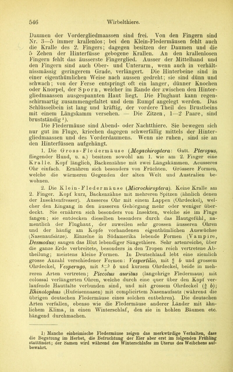 Daumen der Vordergliedmaassen sind frei. Von den Fingern sind Nr. 3—5 immer krallenlos; bei den Klein-Fledermäusen fehlt auch die Kralle des 2. Fingers; dagegen besitzen der Daumen und die 5 Zehen der Hinterfüsse gebogene Krallen. An den krallenlosen Fingern fehlt das äusserste Fingerglied. Ausser der Mittelhand und den Fingern sind auch Ober- und Unterarm, wenn auch in verhält- nissmässig geringerem Grade, verlängert. Die Hinterbeine sind in einer eigentümlichen Weise nach aussen gedreht; sie sind dünn und schwach; von der Ferse entspringt oft ein langer, dünner Knochen oder Knorpel, der Sporn, welcher im Rande der zwischen den Hinter- gliedmaassen ausgespannten Haut liegt. Die Flughaut kann regen- schirmartig zusammengefaltet und dem Rumpf angelegt werden. Das Schlüsselbein ist lang und kräftig, der vordere Theil des Brustbeins mit einem Längskamm versehen. — Die Zitzen, 1—2 Paare, sind brustständigJ). Die Fledermäuse sind Abend- oder Nachtthiere. Sie bewegen sich nur gut im Fluge, kriechen dagegen schwerfällig mittels der Hinter- gliedmaassen und des Vorderdaumens. Wenn sie ruhen, sind sie an den Hinterfüssen aufgehängt. 1. Die Gross-Fle dermäuse (Megachiroptera: Gatt. Pteropus, fliegender Hund, u. a.) besitzen sowohl am 1. wie am 2. Finger eine Kralle. Kopf länglich, Backenzähne mit zwei Längskämmen. Aeusseres Ohr einfach. Ernähren sich besonders von Früchten. Grössere Formen, welche die wärmeren Gegenden der alten Welt und Australien be- wohnen. 2. Die Klein-Fledermäuse [Microchiroptera). Keine Kralle am 2. Finger. Kopf kurz, Backenzähne mit mehreren Spitzen (ähnlich denen der Insektenfresser). Äusseres Ohr mit einem Lappen (Ohrdeckel), wel- cher den Eingang in den äusseren Gehörgang mehr oder weniger über- deckt. Sie ernähren sich besonders von Insekten, welche sie im Fluge fangen; sie entdecken dieselben besonders durch das Hautgefühl, na- mentlich der Flughaut, der zuweilen sehr grossen äusseren Ohren und der häufig am Kopfe vorhandenen eigenthümlichen Auswüchse (Nasenaufsätze). Einzelne in Südamerika lebende Formen (Vampire, Desmodus) saugen das Blut lebendiger Säugethiere. Sehr artenreiche, über die ganze Erde verbreitete, besonders in den Tropen reich vertretene Ab- theilung; meistens kleine Formen. In Deutschland lebt eine ziemlich grosse Anzahl verschiedener Formen: Vespertilio, mit | b und grossem Ohrdeckel, Vesperugo, mit 1 * * 4 7^ b und kurzem Ohrdeckel, beide in meh- reren Arten vertreten; Ptecotus auritus (langohrige Fledermaus) mit colossal verlängerten Ohren, welche durch eine quer über den Kopf ver- laufende Hautfalte verbunden sind, und mit grossem Ohrdeckel (| b); jRhinotophus (Hufeisennasen) mit complicirtem Nasenaufsatz (während, die übrigen deutschen Fledermäuse eines solchen entbehren). Die deutschen Arten verfallen, ebenso wie die Fledermäuse anderer Länder mit ähn- lichem Klima, in einen Winterschlaf, den sie in hohlen Bäumen etc. hängend durchmachen. 1) Manche einheimische Fledermäuse zeigen das merkwürdige Verhalten, dass die Begattung im Herbst, die Befruchtung der Eier aber erst im folgenden Frühling stattfindet; der Samen wird während des Winterschlafes im Uterus des Weibchens auf- bewahrt.