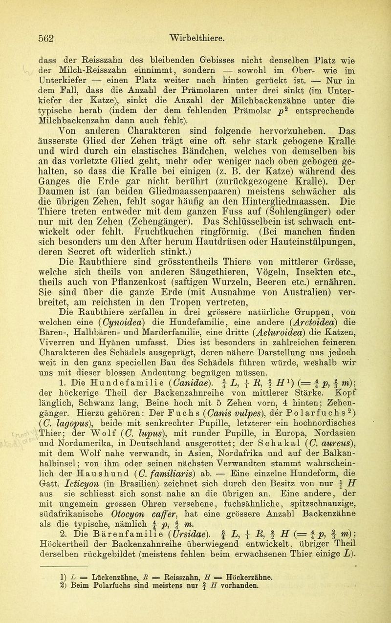 dass der Reisszahn des bleibenden Gebisses nicht denselben Platz wie der Milch-Reisszahn einnimmt, sondern — sowohl im Ober- wie im Unterkiefer — einen Platz weiter nach hinten gerückt ist. — Nur in dem Pall, dass die Anzahl der Prämolaren unter drei sinkt (im Unter- kiefer der Katze), sinkt die Anzahl der Milchbackenzähne unter die typische herab (indem der dem fehlenden Prämolar p2 entsprechende Milchbackenzahn dann auch fehlt). Von anderen Charakteren sind folgende hervorzuheben. Das ausserste Glied der Zehen trägt eine oft sehr stark gebogene Kralle und wird durch ein elastisches Bändchen, welches von demselben bis an das vorletzte Glied geht, mehr oder weniger nach oben gebogen ge- halten, so dass die Kralle bei einigen (z. B. der Katze) während des Ganges die Erde gar nicht berührt (zurückgezogene Kralle). Der Daumen ist (an beiden Gliedmaassenpaaren) meistens schwächer als die übrigen Zehen, fehlt sogar häufig an den Hintergliedmaassen. Die Thiere treten entweder mit dem ganzen Fuss auf (Sohlengänger) oder nur mit den Zehen (Zehengänger). Das Schlüsselbein ist schwach ent- wickelt oder fehlt. Fruchtkuchen ringförmig. (Bei manchen finden sich besonders um den After herum Hautdrüsen oder Hauteinstülpungen, deren Secret oft widerlich stinkt.) Die Raubthiere sind grösstentheils Thiere von mittlerer Grösse, welche sich theils von anderen Säugethieren, Vögeln, Insekten etc.,, theils auch von Pflanzenkost (saftigen Wurzeln, Beeren etc.) ernähren. Sie sind über die ganze Erde (mit Ausnahme von Australien) ver- breitet, am reichsten in den Tropen vertreten, Die Raubthiere zerfallen in drei grössere natürliche Gruppen, von welchen eine (Cynoidea) die Hundefamilie, eine andere (.Arctoidea) die Bären-, Halbbären- und Marderfamilie, eine dritte (Aeluroidea) die Katzen, Viverren und Hyänen umfasst. Dies ist besonders in zahlreichen feineren Charakteren des Schädels ausgeprägt, deren nähere Darstellung uns jedoch weit in den ganz speciellen Bau des Schädels führen würde, weshalb wir uns mit dieser blossen Andeutung begnügen müssen. 1. Die Hundefamilie (Canidae). f L, jU, f H1) (= £ p, f m); der höckerige Theil der Backenzahnreihe von mittlerer Stärke. Kopf länglich, Schwanz lang, Beine hoch mit 5 Zehen vorn, 4 hinten; Zehen- gänger. Hierzu gehören: Der Fuchs (Canis vulpes), der Polarfuchs2) (C. lagopus), beide mit senkrechter Pupille, letzterer ein hochnordisches Thier; der Wolf (C. lupus), mit runder Pupille, in Europa, Nordasien und Nordamerika, in Deutschland ausgerottet; der Schakal (C. aureus), mit dem Wolf nahe verwandt, in Asien, Nordafrika und auf der Balkan- halbinsel; von ihm oder seinen nächsten Verwandten stammt wahrschein- lich der Haushund (C. familiaris) ab. — Eine einzelne Hundeform, die Gatt. Icticyon (in Brasilien) zeichnet sich durch den Besitz von nur j- IT aus sie schliesst sich sonst nahe an die übrigen an. Eine andere, der mit ungemein grossen Ohren versehene, fuchsähnliche, spitzschnauzige, südafrikanische Otocyon Gaffer, hat eine grössere Anzahl Backenzähne als die typische, nämlich \ p, f )W. 2. Die Bärenfamilie (Ursidae). f L, R, f H (—i p, f m) 1 Höckertheil der Backenzahnreihe überwiegend entwickelt, übriger Theil derselben rückgebildet (meistens fehlen beim erwachsenen Thier einige L). 1) L = Lückenzähne, B — Beisszahn, H = Höckerzähne. 2) Beim Polarfuchs sind meistens nur f H vorhanden.