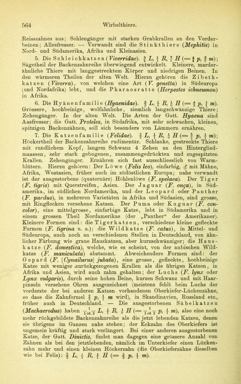 Reisszahnes aus; Sohlengänger mit starken Grabkrallen an den Vorder- beinen; Allesfresser. — Verwandt sind die Stinkthiere (Mephitis) in Nord- und Südamerika, Afrika und Kleinasien. 5. Die Schleichkatzen( Viverridae). f L, J R, \ H (— £ p, f m); Sägetheil der Backenzahnreihe überwiegend entwickelt. Kleinere, marder- ähnliche Thiere mit langgestrecktem Körper und niedrigen Beinen. In den wärmeren Theilen der alten Welt. Hierzu gehören die Zibeth- k a t z e n ( Viverra), von welchen eine Art ( V. genetta) in Südeuropa (und Nordafrika) lebt, und die Pharaosratte (Herpestes Ichneumon) in Afrika. 6. Die Hyänenfamilie (Hyaenidae). f L, { R, i H (= % p, \ m)- Grössere, hochbeinige, wolfähnliche, ziemlich langschwänzige Thiere; Zehengänger. In der alten Welt. Die Arten der Gatt. Hyaena sind Aasfresser; die Gatt. Proteles, in Südafrika, mit sehr schwachen, kleinen, spitzigen Backenzähnen, soll sich besonders von Lämmern ernähren. 7. Die Katzenfamilie (Felidae). f L, { R, } R (= f p, f m); Höckertheil der Backenzahnreihe rudimentär. Schlanke, gestreckte Thiere mit rundlichem Kopf, langem Schwanz 4 Zehen an den Hinterglied- maassen, sehr stark gebogenen, zusammengedrückten und zugespitzten Krallen. Zehengänger. Ernähren sich fast ausschliesslich von Warm- blütern. Hierzu gehören: Der Löwe (Felis leo), einfarbig, d mit Mähne, Afrika, Westasien, früher auch im südöstlichen Europa; nahe verwandt ist der ausgestorbene (quaternäre) Höhlenlöwe (F. spelaea). Der Tiger (F. tigris) mit Querstreifen, Asien. Der Jaguar (F. onga), in Süd- amerika, im südlichen Nordamerika, und der Leopard oder Panther (F. pardus), in mehreren Varietäten in Afrika und Südasien, sind grosse, mit Bingflecken versehene Katzen. Der Puma oder Kuguar (F'. con- color), eine mittelgrosse, einfarbige Katze, lebt in Südamerika und in einem grossen Theil Nordamerikas (der „Panther“ der Amerikaner). Kleinere Formen sind: die Tigerkatzen, verschiedene kleine gefleckte Formen (F. tigrina u. a.); die Wildkatze (F’. catus), in Mittel- und Südeuropa, auch noch an verschiedenen Stellen in Deutschland, von ähn- licher Färbung wie graue Hauskatzen, aber kurzschwänziger; die Haus- katze (Fdomestica), welche, wie es scheint, von der nubischen Wild- katze (F. maniculata) abstammt. Abweichendere Formen sind: der Gepard (F. [ Cynailurus] jubata), eine grosse, gefleckte, hochbeinige Katze mit weniger .zurückgezogenen Krallen als die übrigen Katzen, in Afrika und Asien, wird auch zahm gehalten; der Luchs (F. lynx oder Lynx vulgaris), durch seine hohen Beine, kurzen Schwanz und mit Haar- pinseln versehene Ohren ausgezeichnet (meistens fehlt beim Luchs der vorderste der bei anderen Katzen vorhandenen Oberkiefer-Lückenzähne, so dass die Zahnformel f p, \ m wird), in Skandinavien, Russland etc., früher auch in Deutschland. — Die ausgestorbenen Säbelkatzeu (Machaerodus) haben yodY L, \ R, JK (= y0Jy p, x a^so e^ne noc^ mehr rückgebildete Backenzahnreihe als die jetzt lebenden Katzen, denen sie übrigens im Ganzen nahe stehen; der Eckzahn des Oberkiefers ist ungemein kräftig und stark verlängert. Bei einer anderen ausgestorbenen Katze, der Gatt. Dinictis, findet man dagegen eine grössere Anzahl von Zähnen als bei den jetztlebenden, nämlich im Unterkiefer einen Lücken- zahn mehr und einen kleinen Höckerzahn (die Oberkieferzähne dieselben wie bei Felis): | L, | R, ^ H (= f p, % m).