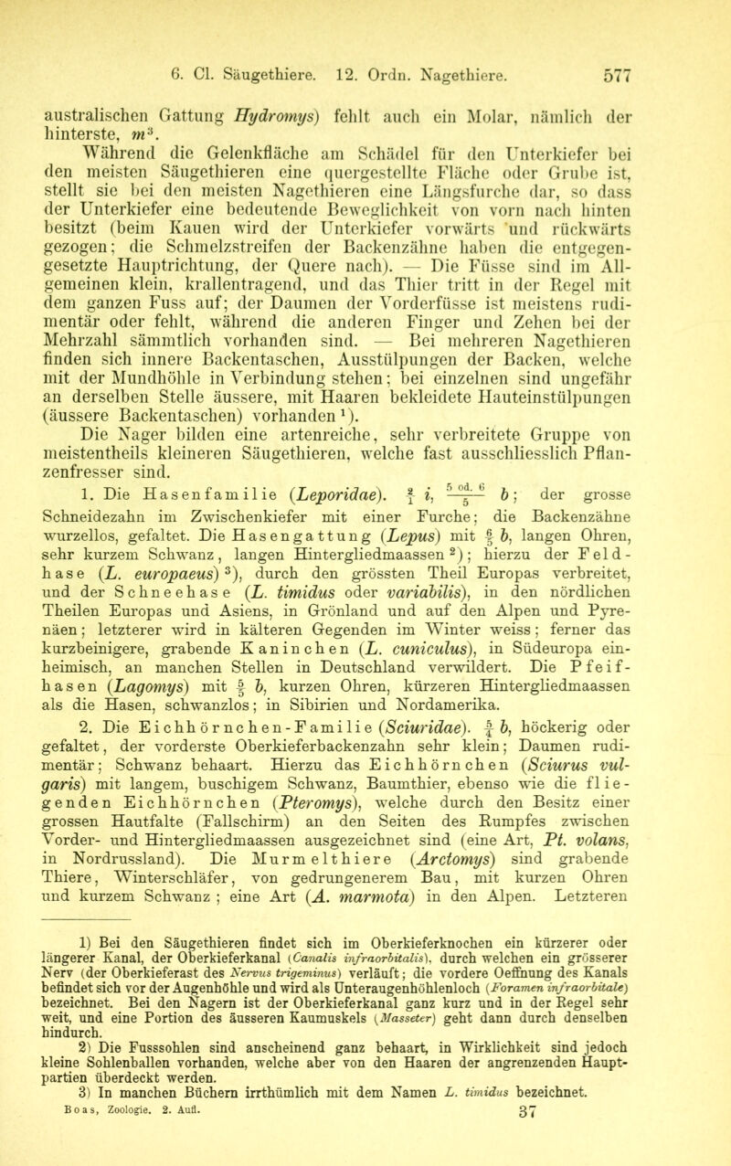 australischen Gattung Hydromys) fehlt auch ein Molar, nämlich der hinterste, w3 *. Während die Gelenkfläche am Schädel für den Unterkiefer bei den meisten Säugethieren eine quergestellte Fläche oder Grube ist, stellt sie bei den meisten Nagethieren eine Längsfurche dar, so dass der Unterkiefer eine bedeutende Beweglichkeit von vorn nach hinten besitzt (beim Kauen wird der Unterkiefer vorwärts und rückwärts gezogen: die Schmelzstreifen der Backenzähne haben die entgegen- gesetzte Hauptrichtung, der Quere nach). — Die Füsse sind im All- gemeinen klein, krallentragend, und das Thier tritt in der Regel mit dem ganzen Fuss auf; der Daumen der Vorderfüsse ist meistens rudi- mentär oder fehlt, während die anderen Finger und Zehen bei der Mehrzahl sämmtlich vorhanden sind. — Bei mehreren Nagethieren finden sich innere Backentaschen, Ausstülpungen der Backen, welche mit der Mundhöhle in Verbindung stehen; bei einzelnen sind ungefähr an derselben Stelle äussere, mit Haaren bekleidete Hauteinstülpungen (äussere Backentaschen) vorhanden1). Die Nager bilden eine artenreiche, sehr verbreitete Gruppe von meistentheils kleineren Säugethieren, welche fast ausschliesslich Pflan- zenfresser sind. 1. Die Hasenfamilie (Leporidae). y i, 5-°^'-ü b] der grosse Schneidezahn im Zwischenkiefer mit einer Furche; die Backenzähne wurzellos, gefaltet. Die Hasenga ttung (Lepus) mit -| &, langen Ohren, sehr kurzem Schwanz, langen Hintergliedmaassen 2) ; hierzu der Feld- hase (L. europaeus) 3), durch den grössten Theil Europas verbreitet, und der Schneehase (L. timidus oder variabilis), in den nördlichen Theilen Europas und Asiens, in Grönland und auf den Alpen und Pyre- näen ; letzterer wird in kälteren Gegenden im Winter weiss; ferner das kurzbeinigere, grabende Kaninchen (X. cuniculus), in Südeuropa ein- heimisch, an manchen Stellen in Deutschland verwildert. Die Pfeif- hasen (Lagomys) mit b, kurzen Ohren, kürzeren Hintergliedmaassen als die Hasen, schwanzlos; in Sibirien und Nordamerika. 2. Die Eichh örnchen-Familie (Sciuridae). | b, höckerig oder gefaltet, der vorderste Oberkieferbackenzahn sehr klein; Daumen rudi- mentär; Schwanz behaart. Hierzu das Eichhörnchen (Sciurus vul- garis) mit langem, buschigem Schwanz, Baumthier, ebenso wie die f lie- genden Eichhörnchen (Pteromys), welche durch den Besitz einer grossen Hautfalte (Fallschirm) an den Seiten des Rumpfes zwischen Vorder- und Hintergliedmaassen ausgezeichnet sind (eine Art, Pt. volans, in Nordrussland). Die Murmelthiere (Arctomys) sind grabende Thiere, Winterschläfer, von gedrungenerem Bau, mit kurzen Ohren und kurzem Schwanz ; eine Art (A. marmota) in den Alpen. Letzteren 1) Bei den Säugethieren findet sich im Oberkieferknochen ein kürzerer oder längerer Kanal, der Oberkieferkanal (Canalis infraorbitalis), durch welchen ein grösserer Nerv (der Oberkieferast des Nervus trigeminus) verläuft; die vordere Oeflnung des Kanals befindet sich vor der Augenhöhle und wird als Unteraugenhöhlenloch (Foramen infraorbitale) bezeichnet. Bei den Nagern ist der Oberkieferkanal ganz kurz und in der Regel sehr weit, und eine Portion des äusseren Kaumuskels (Masseter) geht dann durch denselben hindurch. 2) Die Fusssohlen sind anscheinend ganz behaart, in Wirklichkeit sind jedoch kleine Sohlenballen vorhanden, welche aber von den Haaren der angrenzenden Haupt- partien überdeckt werden. 3) In manchen Büchern irrthümlich mit dem Namen L. timidus bezeichnet. Boas, Zoologie. 2. Aufl. 3J