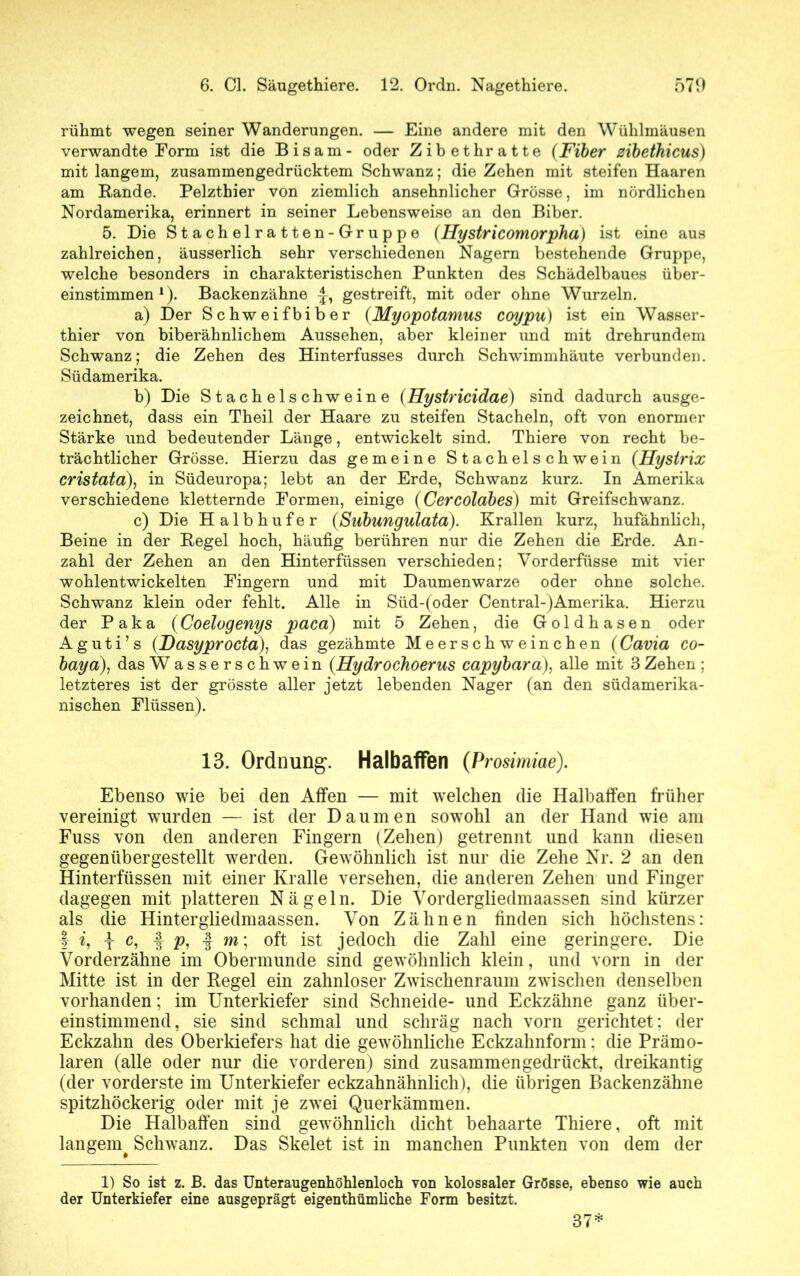rühmt wegen seiner Wanderungen. — Eine andere mit den W’ühlmäusen verwandte Form ist die Bisam- oder Zibethratte (Fiber zibethicus) mit langem, zusammengedrücktem Schwanz; die Zehen mit steifen Haaren am Rande. Pelzthier von ziemlich ansehnlicher Grösse, im nördlichen Nordamerika, erinnert in seiner Lebensweise an den Biber. 5. Die Stachelratten-Gruppe (Hystricomorpha) ist eine aus zahlreichen, äusserlich sehr verschiedenen Nagern bestehende Gruppe, welche besonders in charakteristischen Punkten des Schädelbaues über- einstimmenA). Backenzähne £, gestreift, mit oder ohne Wurzeln. a) Der Schweifbiber (Myopotamus coypu) ist ein Wasser- thier von biberähnlichem Aussehen, aber kleiner und mit drehrundem Schwanz; die Zehen des Hinterfusses durch Schwimmhäute verbunden. Südamerika. b) Die Stachelschweine (Hystricidae) sind dadurch ausge- zeichnet, dass ein Theil der Haare zu steifen Stacheln, oft von enormer Stärke und bedeutender Länge, entwickelt sind. Thiere von recht be- trächtlicher Grösse. Hierzu das gemeine Stachelschwein (Hystrix cristata), in Südeuropa; lebt an der Erde, Schwanz kurz. In Amerika verschiedene kletternde Formen, einige (Cercolabes) mit Greifschwanz. c) Die Halbhufer (Subungulata). Krallen kurz, hufähnlich, Beine in der Regel hoch, häufig berühren nur die Zehen die Erde. An- zahl der Zehen an den Hinterfüssen verschieden; Vorderfüsse mit vier wohlentwickelten Fingern und mit Daumenwarze oder ohne solche. Schwanz klein oder fehlt. Alle in Süd-(oder Central-)Amerika. Hierzu der Paka (Coelogenys paca) mit 5 Zehen, die Goldhasen oder A g u t i ’ s (Dasyprocta), das gezähmte Meerschweinchen ( Cavia co- baya), das Wasserschwein (.Hydrochoerus capybara), alle mit 3 Zehen ; letzteres ist der grösste aller jetzt lebenden Nager (an den südamerika- nischen Flüssen). 13. Ordnung*. Halbaffen (Prosimiae). Ebenso wie bei den Affen — mit welchen die Halbaffen früher vereinigt wurden — ist der Daumen sowohl an der Hand wie am Fuss von den anderen Fingern (Zehen) getrennt und kann diesen gegenübergestellt werden. Gewöhnlich ist nur die Zehe Nr. 2 an den Hinterfüssen mit einer Kralle versehen, die anderen Zehen und Finger dagegen mit platteren Nägeln. Die Vordergliedmaassen sind kürzer als die Hintergliedmaassen. Von Zähnen finden sich höchstens: I % t t p, 1 m; oft ist jedoch die Zahl eine geringere. Die Vorderzähne im Obermunde sind gewöhnlich klein, und vorn in der Mitte ist in der Regel ein zahnloser Zwischenraum zwischen denselben vorhanden; im Unterkiefer sind Schneide- und Eckzähne ganz über- einstimmend, sie sind schmal und schräg nach vorn gerichtet; der Eckzahn des Oberkiefers hat die gewöhnliche Eckzahnform: die Prämo- laren (alle oder nur die vorderen) sind zusammen gedrückt, dreikantig (der vorderste im Unterkiefer eckzahnähnlich), die übrigen Backenzähne spitzhöckerig oder mit je zwei Querkämmen. Die Halbaffen sind gewöhnlich dicht behaarte Thiere, oft mit langem Schwanz. Das Skelet ist in manchen Punkten von dem der 1) So ist z. JB. das Unteraugenhöhlenloch von kolossaler Grösse, ebenso wie auch der Unterkiefer eine ausgeprägt eigentümliche Form besitzt. 37*